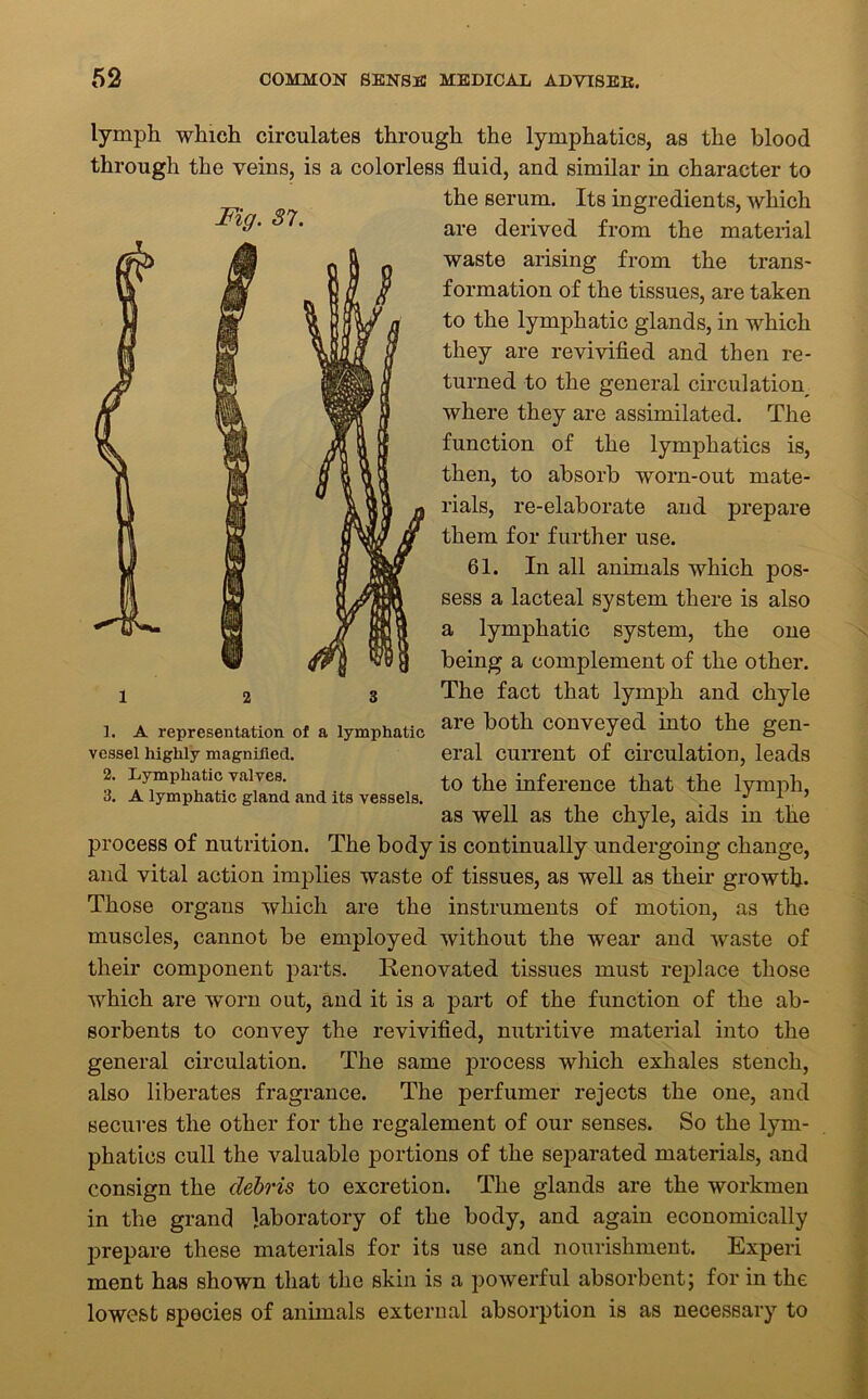 lymph which circulates through the lymphatics, as the blood through the veins, is a colorless fluid, and similar in character to the serum. Its ingredients, which are derived from the material waste arising from the trans- formation of the tissues, are taken to the lymphatic glands, in which they are revivified and then re- turned to the general circulation^ where they are assimilated. The function of the lymphatics is, then, to absorb worn-out mate- rials, re-elaborate and prepare them for further use. 61. In all animals which pos- sess a lacteal system there is also a lymphatic system, the one being a complement of the other. The fact that lymph and chyle are both conveyed into the gen- eral current of circulation, leads to the inference that the lymph, as well as the chyle, aids in the process of nutrition. The body is continually undergoing change, and vital action implies waste of tissues, as well as their growth. Those organs which are the instruments of motion, as the muscles, cannot be employed without the wear and waste of their component parts. Renovated tissues must replace those which are worn out, and it is a part of the function of the ab- sorbents to convey the revivified, nutritive material into the general circulation. The same process which exhales stench, also liberates fragrance. The perfumer rejects the one, and secures the other for the regalement of our senses. So the lym- phatics cull the valuable portions of the separated materials, and consign the debris to excretion. The glands are the workmen in the grand laboratory of the body, and again economically prepare these materials for its use and nourishment. Experi ment has shown that the skin is a powerful absorbent; for in the lowest species of animals external absorption is as necessary to Fig. 87. 12 3 1. A representation of a lymphatic vessel highly magnified. 2. Lymphatic valves. 3. A lymphatic gland and its vessels.