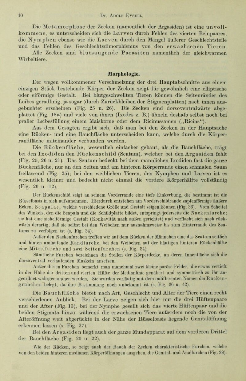 Die Metamorphose der Zecken (namentlich der Argasiden) ist eine unvoll- kommene, es unterscheiden sich die Larven durch Fehlen des vierten Beinpaares, die Nymphen ebenso wie die Larven durch den Mangel äußerer Geschlechtsteile und das Fehlen des Geschlechtsdimorphismus von den erwachsenen Tieren. Alle Zecken sind blutsaugende Parasiten namentlich der gleichwarmen Wirbeltiere. Morphologie. Der wegen vollkommener Verschmelzung der drei Hauptabschnitte aus einem einzigen Stück bestehende Körper der Zecken zeigt für gewöhnlich eine elliptische oder eiförmige Gestalt. Bei blutgeschwellten Tieren können die Seitenränder des Leibes geradlinig, ja sogar (durch Zurückbleiben der Stigmenplatten) nach innen aus- gebuchtet erscheinen (Fig. 25 u. 26). Die Zecken sind dorsoventralwärts abge- plattet (Fig. 18a) und viele von ihnen (Ixodes z. B.) ähneln deshalb selbst noch bei praller Leibesfüllung einem Maiskorne oder dem Ricinussamen (,,Ricins“). Aus dem Gesagten ergibt sich, daß man bei den Zecken in der Hauptsache eine Rücken- und eine Bauchfläche unterscheiden kann, welche durch die Körper- randfläche miteinander verbunden werden. Die Rückenfläche, wesentlich einfacher gebaut, als die Bauchfläche, trägt bei den Ixodiden den Rückenschild (Scutum), welcher bei den Argasiden fehlt (Fig. 25, 26 u. 21). Das Scutum bedeckt bei dem männlichen Ixodiden fast die ganze Rückenfläche, nur an den Seiten und am hinteren Körperrande einen schmalen Saum freilassend (Fig. 25); bei den weiblichen Tieren, den Nymphen und Larven ist es wesentlich kleiner und bedeckt nicht einmal die vordere Körperhälfte vollständig (Fig. 26 u. 12). Der Rückenschild zeigt an seinem Vorderrande eine tiefe Einkerbung, die bestimmt ist die Rügselbasis in sich aufzunehmen. Hierdurch entstehen am Vorderschildrande zapfenförmige äußere Ecken, Scapulae, welche verschiedene Größe und Gestalt zeigen können (Fig. 36). Vom Scheitel des Winkels, den die Scapula und die Schildplatte bildet, entspringt jederseits die Nackenfurche; sie hat eine sichelförmige Gestalt (Konkavität nach außen gerichtet) und verflacht sich nach rück- wärts derartig, daß sie selbst bei den Weibchen nur ausnahmsweise bis zum Hinterrande des Scu- tums zu verfolgen ist (s. Fig. 34). Außer den Nackenfurchen treffen wir auf dem Rücken der Männchen eine das Scutum seitlich und hinten umlaufende Randfurche, bei den Weibchen auf der häutigen hinteren Rückenhälfte eine Mittelfurche und zwei Seitenfurchen (s. Fig. 34). Sämtliche Furchen bezeichnen die Stellen der Körperdecke, an deren Innenfläche sich die dorsoventral verlaufenden Muskeln ansetzen. Außer diesen Furchen bemerkt man manchmal zwei kleine poröse Felder, die etwas vertieft in der Höhe der dritten und vierten Hüfte der Medianlinie genähert und symmetrisch zu ihr an- geordnet wahrgenommen werden. Sie wurden vorläufig mit dem indifferenten Namen der Rücken - grübchen''belegt, da ihre Bestimmung noch unbekannt ist (s. Fig. 36 u. 42). Die Bauchfläche bietet nach Art, Geschlecht und Alter der Tiere einen recht verschiedenen Anblick. Bei der Larve zeigen sich hier nur die drei Hüftenpaare und der After (Fig. 13), bei der Nymphe gesellt sich das vierte Hüftenpaar und die beiden Stigmata hinzu, während die erwachsenen Tiere außerdem noch die von der Afteröffnung weit abgerückte in der Nähe der Rüsselbasis liegende Genitalöffnung erkennen lassen (s. Fig. 27). Bei den Argasiden liegt auch der ganze Mundapparat auf dem vorderen Drittel der Bauchfläche (Fig. 20 u. 22). Wie der Rücken, so zeigt auch der Bauch der Zecken charakteristische Furchen, welche von den beiden hinteren medianen Körperöffnungen ausgehen, die Genital- und Analfurchen (Fig. 28).