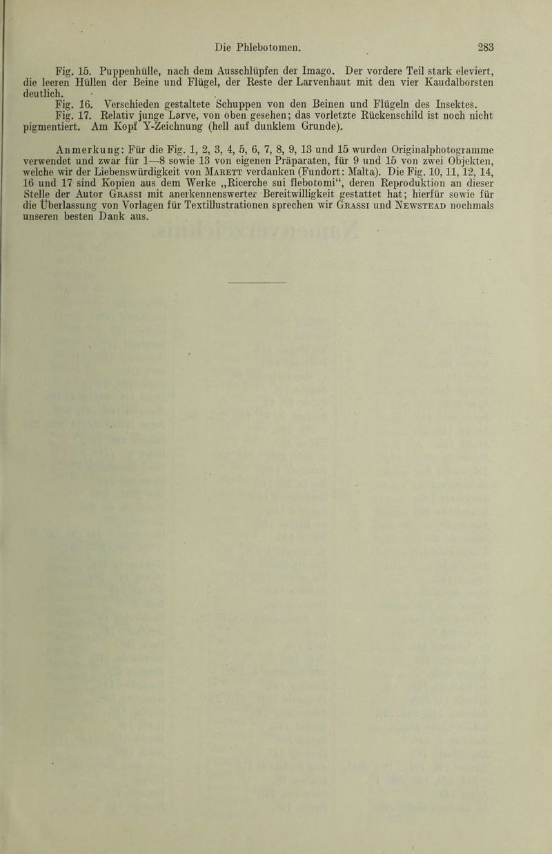 Fig. 15. Puppenhülle, nach dem Ausschlüpfen der Imago. Der vordere Teil stark eleviert, die leeren Hüllen der Beine und Flügel, der Reste der Larvenhaut mit den vier Kaudalborsten deutlich. Fig. 16. Verschieden gestaltete Schuppen von den Beinen und Flügeln des Insektes. Fig. 17. Relativ junge Larve, von oben gesehen; das vorletzte Rückenschild ist noch nicht pigmentiert. Am Kopf Y-Zeichnung (hell auf dunklem Grunde). Anmerkung: Für die Fig. 1, 2, 3, 4, 5, 6, 7, 8, 9, 13 und 15 wurden Originalphotogramme verwendet und zwar für 1—8 sowie 13 von eigenen Präparaten, für 9 und 15 von zwei Objekten, welche wir der Liebenswürdigkeit von Marett verdanken (Fundort: Malta). Die Fig. 10,11,12, 14, 16 und 17 sind Kopien aus dem Werke „Ricerche sui flebotomi“, deren Reproduktion an dieser Stelle der Autor Grassi mit anerkennenswerter Bereitwilligkeit gestattet hat; hierfür sowie für die Überlassung von Vorlagen für Textillustrationen sprechen wir Grassi und Newstead nochmals unseren besten Dank aus.