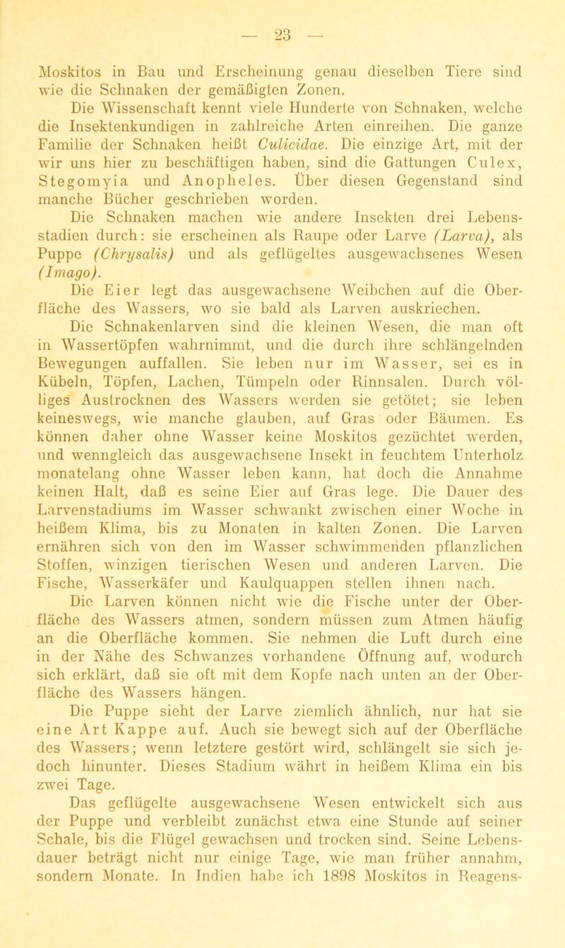 ^Moskitos in Ban und Erscheinung genau dieselben Tiere sind wie die Sclinaken der gemiiBigten Zonen. Die Wissenschaft kennt viele Hunderte von Schnaken, welche die Insektenkundigen in zahlreiche Arten einreilien. Die ganze Familie der Schnaken heiBt Culicidae. Die einzige Art, mit der wir uns hier zu beschaftigen haben, sind die Gattungen Cnlex, Stegomyia und Anopheles. Uber diesen Gegenstand sind mancbe Bucher geschrieben worden. Die Schnaken machen wie andere Insekten drei Lebens- stadien durch: sie erscheinen als Raupe oder Larve (Larva), als Puppc (Chrysalis) und als gefliigeltes ausgewachsenes Wesen (Imago). Die Eier legt das ausgewachsene Weibchen auf die Ober- flache des Wassers, wo sie bald als Larven auskriechen. Die Schnakenlarven sind die kleinen Wesen, die man oft in Wassertopfen wahrnimmt, und die durch ihre schlangelnden Bewegungen auffallen. Sie leben nur im Wasser, sei es in Kubeln, Tbpfen, Lachen, Tiimpeln oder Rinnsalen. Durch vol- liges Austrocknen des Wassers werden sie getbtet; sie leben keineswegs, wie manche glauben, auf Gras oder Baumen. Es kdnnen daher ohne Wasser keine Moskitos geziichtet werden, und wenngleich das ausgewachsene Insekt in feuchtem Unterholz. monatelang ohne Wasser leben kann, hat doch die Annahme keinen Halt, daB es seine Eier auf Gras lege. Die Dauer des Larvenstadiums im Wasser schwankt zwischen einer Woche in heiBem Klima, his zu Mona ten in kalten Zonen. Die Larven ernahren sich von den im Wasser schwimmenden pflanzlichen Stoffen, winzigen tierischen Wesen und anderen Larven. Die Fische, Wasserkafer und Kaulquappen stellen ihnen nach. Die Larven konnen nicht wie die Fische unter der Ober- flache des Wassers atmen, sondern mussen zum Atmen haufig an die Oberflache kommen. Sie nehmen die Luft durch eine in der Nahe des Schwanzes vorhandene Offnung auf, wodurch sich erklart, daB sie oft mit dem Kopfe nach unten an der Ober- flache des Wassers hangen. Die Puppe sieht der Larve ziemlich ahnlich, nur bat sie eine Art Kappe auf. Auch sie bewegt sich auf der Oberflache des Wassers; wenn letztere gestdrt wird, schlangelt sie sich je- doch hinunter. Dieses Stadium wahrt in heiBem Klima ein bis zwei Tage. Das gefliigelte ausgewachsene Wesen entwickelt sich aus der Puppe und verbleibt zunachst etvva eine Stunde auf seiner Schale, bis die Fliigel gewachsen und trocken sind. Seine Lebens- dauer betragt nicht nur einige Tage, wie man friiher annahm, sondern Monate. In Indien habe ich 1898 Moskitos in Reagens-