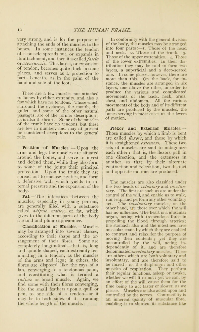 very strong, and is for the purpose of attaching the ends of the muscles to the bones. In some instances the tendon of a muscle spreads out, or expands in its attachment, and then it is called fascia or aponeurosis. This fascia, or expansion of tendon, becomes quite thick in some places, and serves as a protection to parts beneath, as in the palm of the hand and sole of the foot. There are a few muscles not attached to bones by either extremity, and also a few which have no tendons. Those which surround the eyebrows, the mouth, the gullet, and some of the other natural I passages, are of the former description ; as is also the heart. Some of the muscles of the trunk have no tendons, but these are few in number, and may at present be considered exceptions to the general rule. Position of Muscles. — Upon the arms and legs the muscles are situated around the bones, and serve to invest and defend them, while they also form to some of the joints their principal protection. Upon the trunk they are spread out to enclose cavities, and form a defensive wall which yields to in- ternal pressure and the expansion of the body. Fat.—The interstices between the muscles, especially in young persons, are generally filled with a substance called adipose matter, or fat, which gives to the different parts of the body a round and plump appearance. Classification of Muscles.—Muscles may be arranged into several classes, according to their shape and the ar- rangement of their fibres. Some are completely longitudinal—that is, long and spindle-shaped, each extremity ter- minating in a tendon, as the muscles of the arms and legs; in others, the fibres are disposed like the rays of a fan, converging to a tendonous point, and constituting what is termed a radiate or broad muscle. Again, we find some with their fibres converging, like the small feathers upon a quill or pen, to one side of a tendon—or it may be to both sides of it — running the whole length of the muscle. ij In conformity with the general division of the body, the muscles may be arranged into four parts :—i. Those of the head and neck. 2. Those of the trunk. 3. Those of the upper extremities. 4. Those of the lower extremities. In their dis- tribution they may be said to form two layers, a superficial and a deep-seated one. In some places, however, there are more than this. On the back, for in- stance, the muscles are arranged in six layers, one above the other, in order to produce the various and complicated movements of the back, neck, arms, chest, and abdomen. All the various movements of the body and of its different parts are produced by the muscles, the bones serving in most cases as the levers of motion. Flexor and Extensor Muscles.— Those muscles by which a limb is bent are called flexors, and those by which it is straightened extensors. These two sets of muscles are said to antagonize each other : that is, the flexors pull in one direction, and the extensors in another, so that, by their alternate contraction and relaxation, two distinct and opposite motions are produced. The muscles are also classified under the two heads of voluntary and involun- tary. The first are such as are under the control of the will, and enable us to walk, run, leap, and perform any other voluntary act. The involuntary muscles, on the other hand, a?e those over which the will has no influence. The heart is a muscular organ, acting with tremendous force in propelling the blood through arteries ; the stomach also and the intestines have muscular coats by which they are enabled to contract and relax for the purpose of moving their contents ; yet they are uncontrolled by the will, acting in- dependently of it, and are therefore denominated involuntary muscles. There are others which are both voluntary and involuntary, and are therefore said to be mixed ; as the diaphragm and other muscles of respiration. They perform their regular functions, asleep or awake, whether we will it or not: yet we can, by an effort of the will, cause them for the time being to act faster or slower, as we please. Muscles are also acted upon and controlled by the nerves. Contractility is an inherent quality of muscular fibre, enabling it to shorten its substance like