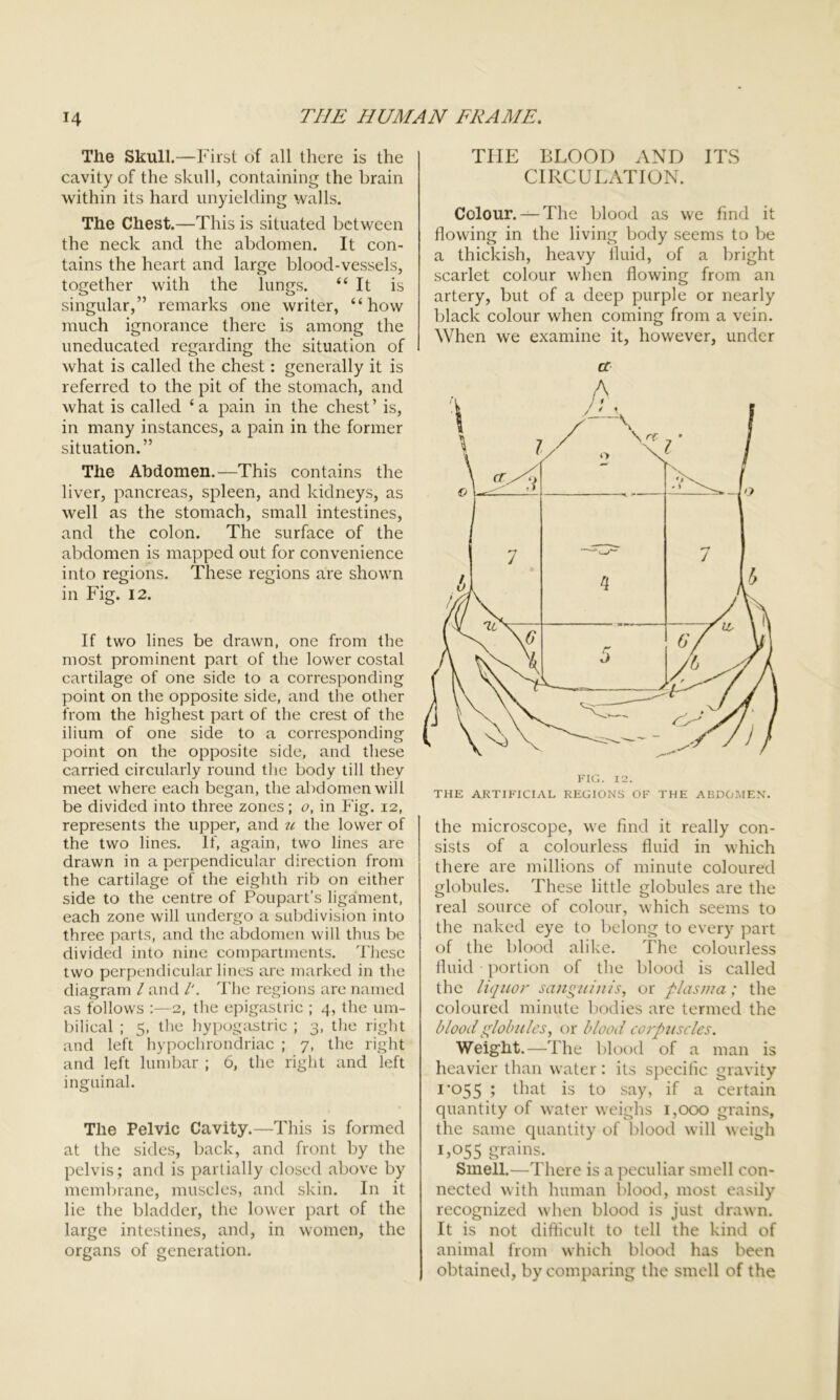 The Skull.—First of all there is the cavity of the skull, containing the brain within its hard unyielding walls. The Chest.—This is situated between the neck and the abdomen. It con- tains the heart and large blood-vessels, together with the lungs. “It is singular,” remarks one writer, “ how much ignorance there is among the uneducated regarding the situation of what is called the chest: generally it is referred to the pit of the stomach, and what is called ‘a pain in the chest’ is, in many instances, a pain in the former situation.” The Abdomen.—This contains the liver, pancreas, spleen, and kidneys, as well as the stomach, small intestines, and the colon. The surface of the abdomen is mapped out for convenience into regions. These regions are shown in Fig. 12. If two lines be drawn, one from the most prominent part of the lower costal cartilage of one side to a corresponding point on the opposite side, and the other from the highest part of the crest of the ilium of one side to a corresponding point on the opposite side, and these carried circularly round the body till they meet where each began, the abdomen will be divided into three zones; o, in Fig. 12, represents the upper, and the lower of the two lines. If, again, two lines are drawn in a perpendicular direction from the cartilage of the eighth rib on either side to the centre of Poupart’s ligament, each zone will undergo a subdivision into three parts, and the abdomen will thus be divided into nine compartments. These two perpendicular lines are marked in the diagram / and l. The regions are named as follows :—2, the epigastric ; 4, the um- bilical ; 5, the hypogastric ; 3, the right and left hypochrondriac ; 7, the right and left lumbar ; 6, the right and left inguinal. The Pelvic Cavity.—This is formed at the sides, back, and front by the pelvis; and is partially closed above by membrane, muscles, and skin. In it lie the bladder, the lower part of the large intestines, and, in women, the organs of generation. THE BLOOD AND ITS CIRCULATION. Colour.— The blood as we find it flowing in the living body seems to be a thickish, heavy fluid, of a bright scarlet colour when flowing from an artery, but of a deep purple or nearly black colour when coming from a vein. When we examine it, however, under cc THE ARTIFICIAL REGIONS OF THE ABDOMEN. the microscope, we find it really con- sists of a colourless fluid in which there are millions of minute coloured globules. These little globules are the real source of colour, which seems to the naked eye to belong to every part of the blood alike. The colourless fluid • portion of the blood is called the liquor sanguinis, or plasma; the coloured minute bodies are termed the blood globules, or blood corpuscles. Weight.—The blood of a man is heavier than water : its specific gravity 1 ’055 ; that is to say, if a certain quantity of water weighs 1,000 grains, the same quantity of blood will weigh U055 grains. Smell.—There is a peculiar smell con- nected with human blood, most ea siiy recognized when blood is just drawn. It is not difficult to tell the kind of animal from which blood has been obtained, by comparing the smell of the