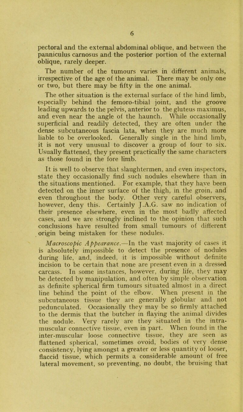 pectoral and the external abdominal oblique, and between the panniculus carnosus and the posterior portion of the external oblique, rarely deeper. The number of the tumours varies in different animals, irrespective of the age of the animal. There may be only one or two, but there may be fifty in the one animal. The other situation is the external surface of the hind limb, especially behind the femoro-tibial joint, and the groove leading upwards to the pelvis, anterior to the gluteus maximus, and even near the angle of the haunch. While occasionally superficial and readily detected, they are often under the dense subcutaneous fascia lata, when they are much more liable to be overlooked. Generally single in the hind limb, it is not very unusual to discover a group of four to six. Usually flattened, they present practically the same characters as those found in the fore limb. It is well to observe that slaughtermen, and even inspectors, state they occasionally find such nodules elsewhere than in the situations mentioned. For example, that they have been detected on the inner surface of the thigh, in the groin, and even throughout the body. Other very careful observers, however, deny this. Certainly J.A.G. saw no indication of their presence elsewhere, even in the most badly affected cases, and we are strongly inclined to the opinion that such conclusions have resulted from small tumours of different origin being mistaken for these nodules. Macroscopic Appearance.—In the vast majority of cases it is absolutely impossible to detect the presence of nodules during life, and, indeed, it is impossible without definite incision to be certain that none are present even in a dressed carcass. In some instances, however, during life, they may be detected by manipulation, and often by simple observation as definite spherical firm tumours situated almost in a direct line behind the point of the elbow. When present in the subcutaneous tissue they are generally globular and not pedunculated. Occasionally they may be so firmly attached to the dermis that the butcher in flaying the animal divides the nodule. Very rarely are they situated in the intra- muscular connective tissue, even in part. When found in the inter-muscular loose connective tissue, they are seen as flattened spherical, sometimes ovoid, bodies of very dense consistency, lying amongst a greater or less quantity of looser, flaccid tissue, which permits a considerable amount of free lateral movement, so preventing, no doubt, the bruising that