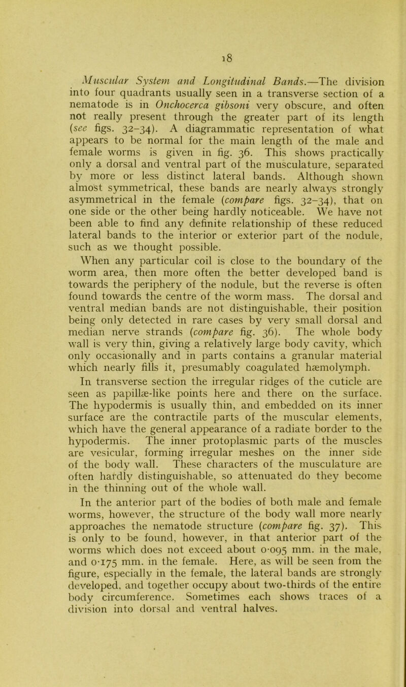 Muscular System and Longitudinal Bands.—The division into four quadrants usually seen in a transverse section of a nematode is in Onchocerca gibsoni very obscure, and often not really present through the greater part of its length (see figs. 32-34). A diagrammatic representation of what appears to be normal for the main length of the male and female worms is given in fig. 36. This shows practically only a dorsal and ventral part of the musculature, separated by more or less distinct lateral bands. Although shown almost symmetrical, these bands are nearly always strongly asymmetrical in the female (compare figs. 32-34), that on one side or the other being hardly noticeable. We have not been able to find any definite relationship of these reduced lateral bands to the interior or exterior part of the nodule, such as we thought possible. When any particular coil is close to the boundary of the worm area, then more often the better developed band is towards the periphery of the nodule, but the reverse is often found towards the centre of the worm mass. The dorsal and ventral median bands are not distinguishable, their position being only detected in rare cases by very small dorsal and median nerve strands (compare fig. 36). The whole body wall is very thin, giving a relatively large body cavity, which only occasionally and in parts contains a granular material which nearly fills it, presumably coagulated hsemolymph. In transverse section the irregular ridges of the cuticle are seen as papillae-like points here and there on the surface. The hypodermis is usually thin, and embedded on its inner surface are the contractile parts of the muscular elements, which have the general appearance of a radiate border to the hypodermis. The inner protoplasmic parts of the muscles are vesicular, forming irregular meshes on the inner side of the body wall. These characters of the musculature are often hardly distinguishable, so attenuated do they become in the thinning out of the whole wall. In the anterior part of the bodies of both male and female worms, however, the structure of the body wall more nearly approaches the nematode structure (compare fig. 37). This is only to be found, however, in that anterior part of the worms which does not exceed about 0-095 mm. in the male, and 0-175 mm. in the female. Here, as will be seen from the figure, especially in the female, the lateral bands are strongly developed, and together occupy about two-thirds of the entire body circumference. Sometimes each shows traces of a division into dorsal and ventral halves.