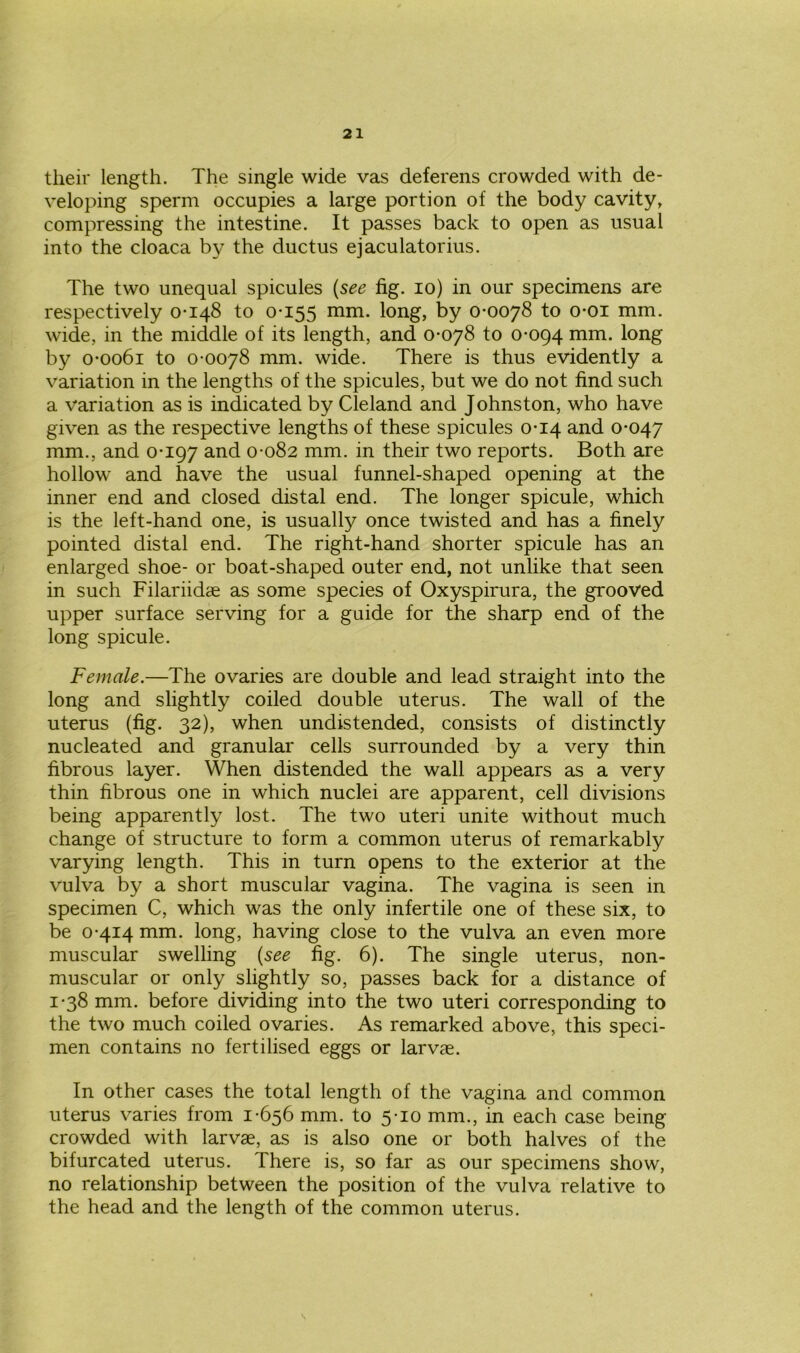 their length. The single wide vas deferens crowded with de- veloping sperm occupies a large portion of the body cavity, compressing the intestine. It passes back to open as usual into the cloaca by the ductus ejaculatorius. The two unequal spicules (see fig. io) in our specimens are respectively 0-148 to 0-155 mm. long, by 0-0078 to o-oi mm. wide, in the middle of its length, and 0-078 to 0-094 mm. long by 0-0061 to 0-0078 mm. wide. There is thus evidently a variation in the lengths of the spicules, but we do not find such a variation as is indicated by Cleland and Johnston, who have given as the respective lengths of these spicules 0-14 and 0-047 mm., and 0-197 and 0-082 mm. in their two reports. Both are hollow and have the usual funnel-shaped opening at the inner end and closed distal end. The longer spicule, which is the left-hand one, is usually once twisted and has a finely pointed distal end. The right-hand shorter spicule has an enlarged shoe- or boat-shaped outer end, not unlike that seen in such Filariidae as some species of Oxyspirura, the grooved upper surface serving for a guide for the sharp end of the long spicule. Female.—The ovaries are double and lead straight into the long and slightly coiled double uterus. The wall of the uterus (fig. 32), when undistended, consists of distinctly nucleated and granular cells surrounded by a very thin fibrous layer. When distended the wall appears as a very thin fibrous one in which nuclei are apparent, cell divisions being apparently lost. The two uteri unite without much change of structure to form a common uterus of remarkably varying length. This in turn opens to the exterior at the vulva by a short muscular vagina. The vagina is seen in specimen C, which was the only infertile one of these six, to be 0-414 mm. long, having close to the vulva an even more muscular swelling (see fig. 6). The single uterus, non- muscular or only slightly so, passes back for a distance of 1-38 mm. before dividing into the two uteri corresponding to the two much coiled ovaries. As remarked above, this speci- men contains no fertilised eggs or larvae. In other cases the total length of the vagina and common uterus varies from 1-656 mm. to 5-10 mm., in each case being crowded with larvae, as is also one or both halves of the bifurcated uterus. There is, so far as our specimens show, no relationship between the position of the vulva relative to the head and the length of the common uterus.