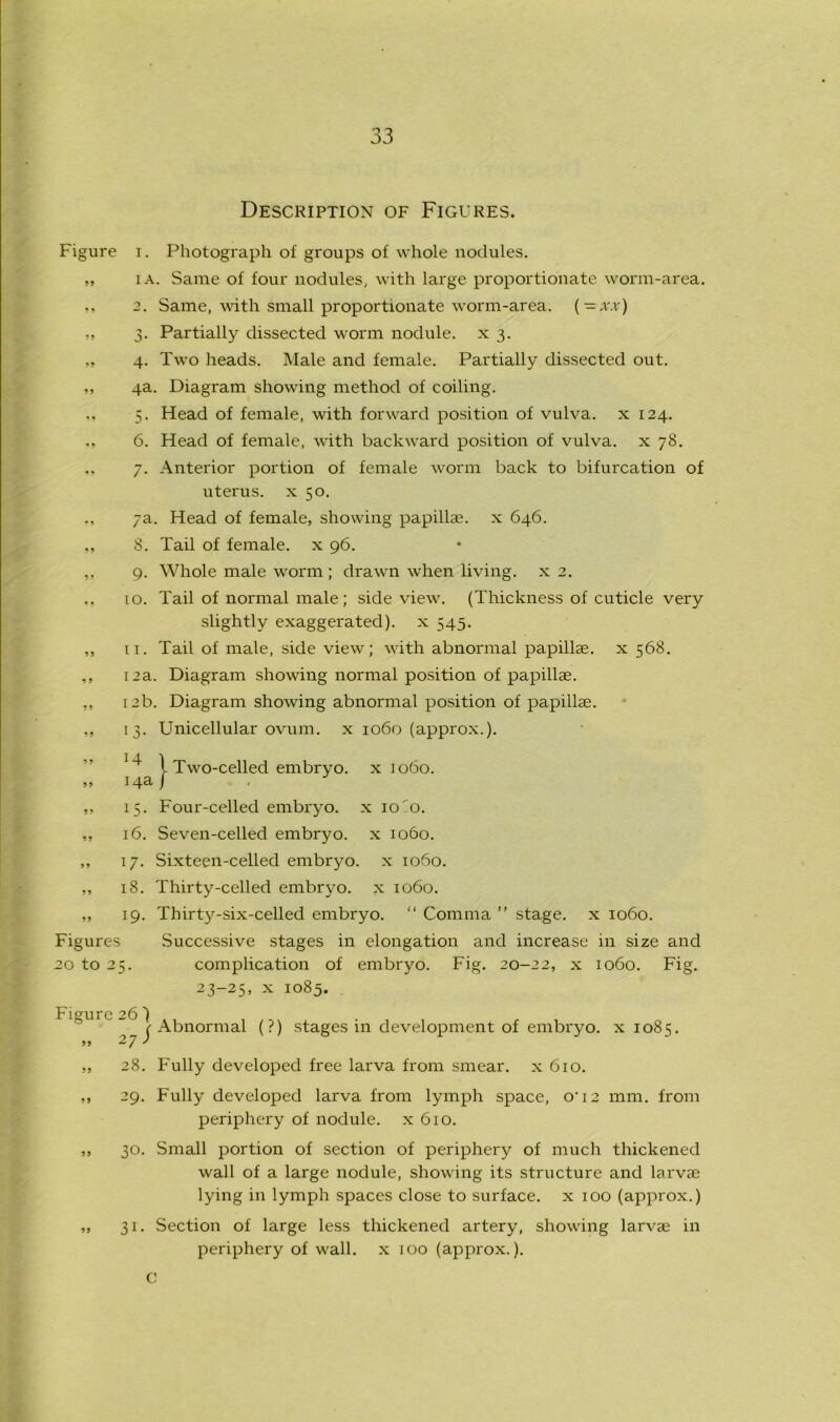 Description of Figures. Figure i. Photograph of groups of whole nodules. ,, i a. Same of four nodules, with large proportionate worm-area. 2. Same, with small proportionate worm-area. ( -xx) ,, 3. Partially dissected worm nodule, x 3. „ 4. Two heads. Male and female. Partially dissected out. ,, 4a. Diagram showing method of coiling. 5. Head of female, with forward position of vulva, x 124. 6. Head of female, with backward position of vulva, x 78. 7. Anterior portion of female worm back to bifurcation of uterus, x 50. ,, 7a. Head of female, showing papillae, x 646. ,, 8. Tail of female, x 96. ,, 9. Whole male worm ; drawn when living, x 2. 10. Tail of normal male; side view. (Thickness of cuticle very slightly exaggerated), x 545. ,, 11. Tail of male, side view; with abnormal papillae, x 568. ,, 12a. Diagram showing normal position of papillae. ,, 12b. Diagram showing abnormal position of papillae. „ 13. Unicellular ovum, x 1060 (approx.). H A l Two-celled embryo, x 1060. ,, I4a / ,, 15. Four-celled embryo, x io'o. ,, 16. Seven-celled embryo, x 1060. ,, 17. Sixteen-celled embryo, x 1060. „ 18. Thirty-celled embryo, x 1060. ,, 19. Thirty-six-celled embryo. “ Comma ” stage, x 1060. Figures Successive stages in elongation and increase in size and 20 to 25. complication of embryo. Fig. 20-22, x 1060. Fig. 23-25, x 1085. Figure 26 c Abnormal (?) stages in development of embryo, x 1085. > j 27 * „ 28. Fully developed free larva from smear, x 610. ,, 29. Fully developed larva from lymph space, o'12 mm. from periphery of nodule, x 610. ,, 30. Small portion of section of periphery of much thickened wall of a large nodule, showing its structure and larvae lying in lymph spaces close to surface, x 100 (approx.) ,, 31. Section of large less thickened artery, showing larvae in periphery of wall, x 100 (approx.). C