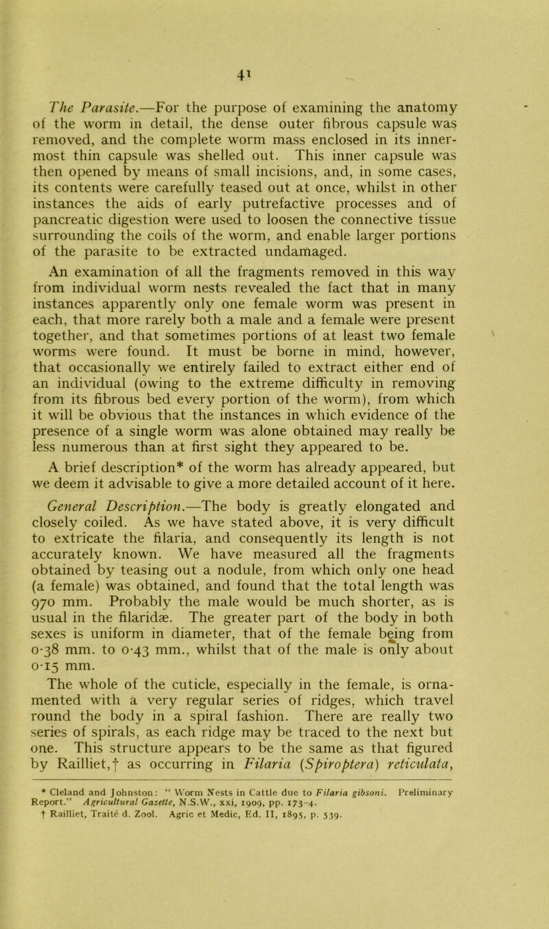 The Parasite.—For the purpose of examining the anatomy of the worm in detail, the dense outer fibrous capsule was removed, and the complete worm mass enclosed in its inner- most thin capsule was shelled out. This inner capsule was then opened by means of small incisions, and, in some cases, its contents were carefully teased out at once, whilst in other instances the aids of early putrefactive processes and of pancreatic digestion were used to loosen the connective tissue surrounding the coils of the worm, and enable larger portions of the parasite to be extracted undamaged. An examination of all the fragments removed in this way from individual worm nests revealed the fact that in many instances apparently only one female worm was present in each, that more rarely both a male and a female were present together, and that sometimes portions of at least two female worms were found. It must be borne in mind, however, that occasionally we entirely failed to extract either end of an individual (owing to the extreme difficulty in removing from its fibrous bed every portion of the worm), from which it will be obvious that the instances in which evidence of the presence of a single worm was alone obtained may really be less numerous than at first sight they appeared to be. A brief description* of the worm has already appeared, but we deem it advisable to give a more detailed account of it here. General Description.—The body is greatly elongated and closely coiled. As we have stated above, it is very difficult to extricate the filaria, and consequently its length is not accurately known. We have measured all the fragments obtained by teasing out a nodule, from which only one head (a female) was obtained, and found that the total length was 970 mm. Probably the male would be much shorter, as is usual in the filaridae. The greater part of the body in both sexes is uniform in diameter, that of the female being from 0-38 mm. to 0-43 mm., whilst that of the male is only about 0-15 mm. The whole of the cuticle, especially in the female, is orna- mented with a very regular series of ridges, which travel round the body in a spiral fashion. There are really two series of spirals, as each ridge may be traced to the next but one. This structure appears to be the same as that figured by Railliet,f as occurring in Filaria (Spiroptera) reticulata, * Cleland and Johnston: “ Worm Nests in Cattle due to Filaria gibsoni. Preliminary Report.” Agricultural Gazette, N.S.W., xxi, 1909, pp. 173-4. t Railliet, Traite d. Zool. Agric et Medic, Ed. II, 1895, p. 539.