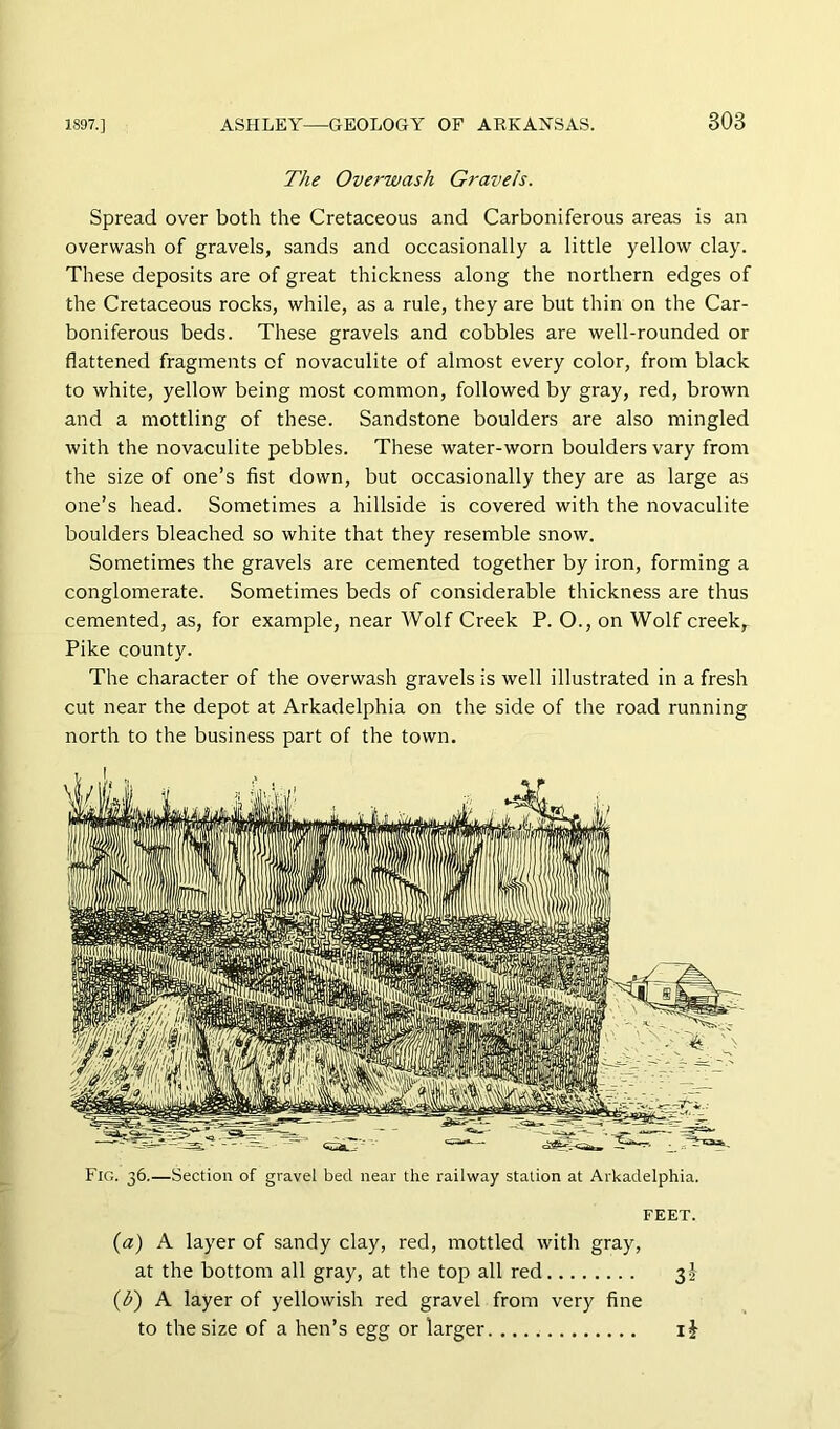 The Overwash Gravels. Spread over both the Cretaceous and Carboniferous areas is an overwash of gravels, sands and occasionally a little yellow clay. These deposits are of great thickness along the northern edges of the Cretaceous rocks, while, as a rule, they are but thin on the Car- boniferous beds. These gravels and cobbles are well-rounded or flattened fragments of novaculite of almost every color, from black to white, yellow being most common, followed by gray, red, brown and a mottling of these. Sandstone boulders are also mingled with the novaculite pebbles. These water-worn boulders vary from the size of one’s fist down, but occasionally they are as large as one’s head. Sometimes a hillside is covered with the novaculite boulders bleached so white that they resemble snow. Sometimes the gravels are cemented together by iron, forming a conglomerate. Sometimes beds of considerable thickness are thus cemented, as, for example, near AVolf Creek P. O., on Wolf creek. Pike county. The character of the overwash gravels is well illustrated in a fresh cut near the depot at Arkadelphia on the side of the road running north to the business part of the town. Fig. 36.—Section of gravel bed near the railway station at Arkadelphia. FEET. {a) A layer of sandy clay, red, mottled with gray, at the bottom all gray, at the top all red 32 {b) A layer of yellowish red gravel from very fine to the size of a hen’s egg or larger i J