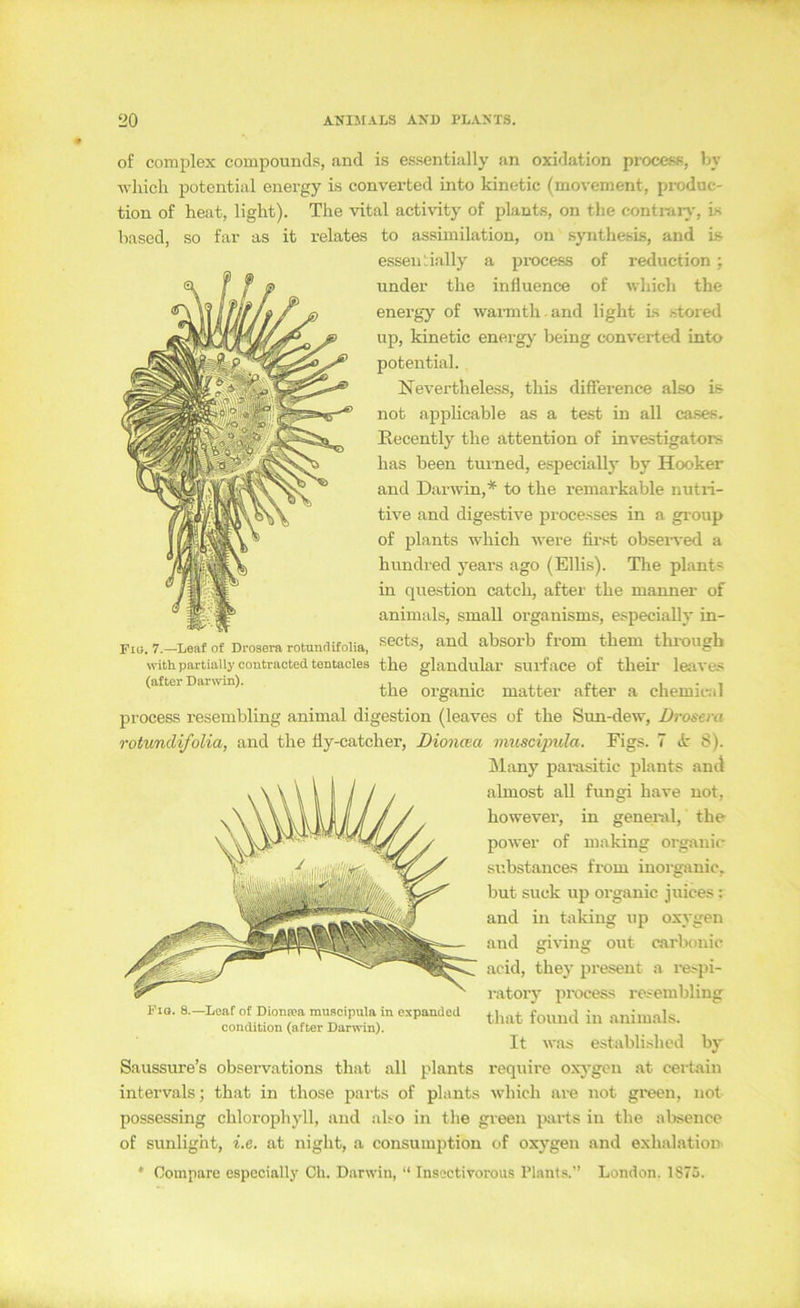 of complex compounds, and is es.sentially an Oxidation procesfi, by Avhicli potential energy is convei’ted into kinetic (movement, pi-oduc- tion of heat, light). The vital activity of pLant.s, on the conti-ar}', is based, so far as it relates to assimilation, on synthesis, and is essen ially a pi-ocess of reduction; under the influence of which the energy of warmth and light is stored up, kinetic energ}' being converted into potential. Nevertheiess, this difference also is not applicable as a test in all ca.ses. Recently the attention of investigators has beeil turned, especially by Hooker and Darwin,* to the remai’kable nutri- tive and digestive processes in a gioup of plants which were fii'st obseiwed a hundred years ago (Ellis). The plants in question catch, after the manner of animals, small organisms, especially in- Fi«.7.-Leafof Di-oserarotundifoiia. «ects, and absorb from them thiougb withpartiaiiy contractedtentacies the glandular surface of their leavtJS (after Darwia). organic matter after a Chemical pi'ocess resembling animal digestion (leaves of the Sun-dew, Drosera rotundifolia, and the lly-catcher, Dioncea muscijyida. Figs. 7 <Jr 8). jMany paiusitic plants and almost all fungi have not, however, in genenil, the power of making organic substances from inorganic, but suck up organic Juices: and in taking up oxygen and giving out carlxmic acid, they present a respi- ratory process resembling that fouud in animals. It w.as established bj* Saussure’s observations that all plants i'equire oxj'gen at certoin intervals; that in those parts of plants which are not green, not possessing Chlorophyll, and al.-o in the green parts in the absence of sunlight, i.e. at night, a consumption of oxygen and exhalatioii' Fio. 8.—Leaf of Dionsea muscipula in expanded condition (after Darwin). * Oompare especially Ch. Darwin, “ Insectivorous Planls.” London. 1S75.