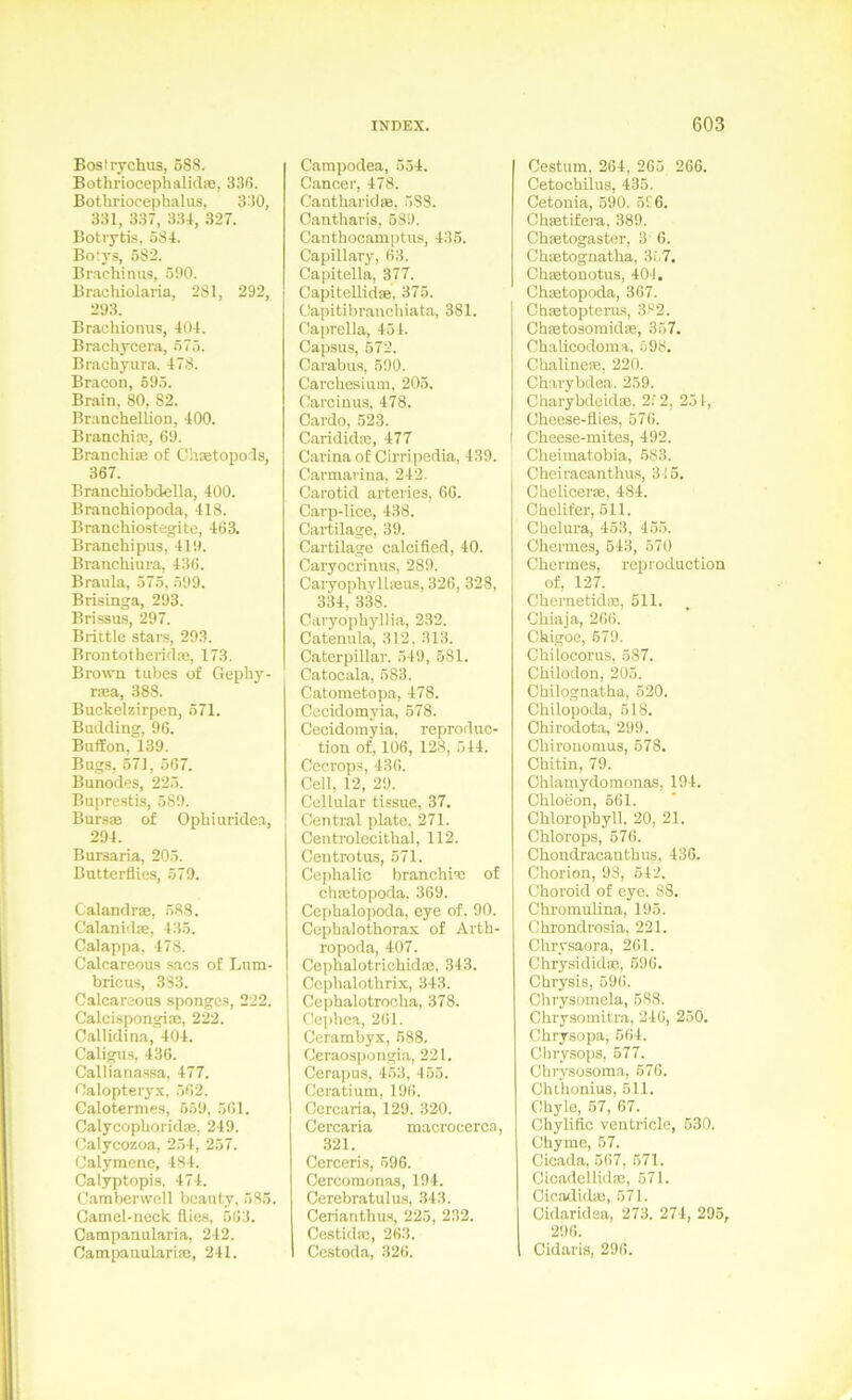 Bostrychus, 58S. Bothriocephaliclpe, 33ß. Bothriocephalus, 330, 331, 337, 334, 327. Botrytis, 584. Bo:ys, 582. Br.achinus, 500. Brachiolaria, 281, 292, 293. Brachionus, 404. Brachycera, 575. Brachyura. 478. Bracon, 595. Brain, 80, 82. Branchellion, 400. Branchia;, 69. Branchiae of Chaetopo'ls, 367. Brauchiobdella, 400. Branchiopocta, 418. Branchiostegite, 463. Branchipus, 419. Branchiura, 436. Braula, 575, 599. Brisinga, 293. Bri.ssus, 297. Brittle Stars, 293. Brontothericla;, 173. Browu tubes of Gepby- raea, 388. Buckelzirpcn, 571. Boilding, 96. Buflon, 139. Bugs, 571, 567. Bunofles, 225. Buprestis, 589. Bursas of Ophiurklea, 294. Bursaria, 205. Butterflies, 570. Calanrtrae, 588. Calanklae, 435. Calappa, 478. Calcareous sacs of Lum- bricus, 383. Calcareous .spongcs, 222. Calcispongias, 222. Callidina, 404. Cali^s, 436. Callianas.sa, 477. Calopteryx. 562. Caloterme.s, 559, 561. CalycopLoridae, 249. Calycozoa, 254, 257. Calymene, 484. Calyptopis. 474. Camberwell bcauty, 585. Camel-neck flies, 563. Campauularia, 242. Catnpanulariae, 241. Carapodea, 554. Cancer, 478. Canthariclaä, 588. Cantharis, 589. Canthocamptus, 435. Capillary, 63. Capitella, 377. Capitellidae, 375. Capitibranchiata, 381. Caprella, 454. Capsus, 572. Carabus, 590. Carchesiiim, 205. Carcinus, 478. Cardo, 523. Caridida;, 477 Carina of Cirripedia, 430. Carmarina. 242. Carotid arteriös, 66. Carp-lice, 438. Cartilage, 39. Cartilage calcified, 40. Caryocrinus, 289. CaryopbylliBUS, 326, 328, 334, 3.38. Caryophyllia, 232. Catenula, 312. 313. Caterpillar. 549, 681. Catocala, 683. Catometopa, 478. Cecidomyia, 578. Cecidomyia, reproduc- tion of, 106, 128, 514. Cecrops, 436. Cell, 12, 29. Cellular tissue, 37. Central plate, 271. Centrolccitbal, 112. Centrotus, 571. Cephalic branchisj of chmtopoda, 369. Cepbalopoda, eye of, 90. Cepbalothorax of Arth- ropoda, 407. Cephalotrichidae, 343. Ccpbalothrix, 343. Cepbalotroclia, 378. Cephca, 261. Cerambyx, 588. Cerao-spongia, 221. Cerapus, 453, 455. Ccratium, 196. Cercaria, 129. 320. Cercaria macrocerca, 321. Cerceris, 596. Cercomonas, 194. Cerebratulus, 343. Cerianthus, 225, 232. Cestidm, 263. Ccstoda, 326. Cestum. 264, 265 266. Cetocbilus, 435. Cetonia, 590. 5C6. Chsetifera, 389. Chmtogaster, 3 6. Chietognatha, 357. Clnetonotus, 401. Chtetopoda, 367. Chaetoptems, 382. Chaetosomidae, 357. Chalicodoma. 598. ChalineiB, 220. Charybdea. 259. CharybdeklEe. 212, 251, Cheese-flies, 576. Cheese-mites, 492. Cheimatobia, 583. Cheiracanthus, 315. Ohelicerse, 484. Chelifer, 511. Chelui’a, 453, 455. Chermes, 543, 570 Chermes, repioduction of, 127. Chernetidic, 511. Chiaja, 266. Ckigoe, 579. Chilocorus, 587. Chilodon, 205. Chilognatha, 520. Chilopoda, 518. Chirodota, 299. Cliirouomus, 678. Chitin, 79. Chlamydomonas, 194. Chloeon, 661. Chlorophyll. 20, 21. Chlorops, 676. Chondracanthus, 436. Chorion, 98, 542. Choroid of eye. 88. Clwomulina, 195. Chrondrosia, 221. Chrysaora, 261. Chrysididae, 696. Chrysis, 696. Chrysomela, 588. Chrysomitra, 246, 250. Chrysopa, 564. Chrysops, 577. Ohrysüsoma, 576. Chtlionius, 511. Chylc, 67, 67. Cliylific ventricle, 630. Chyme, 57. Cicada, 567, 571. Cicadellidae, 671. Cioadidm, 571. Cidaridsa, 273. 274, 295, 296. Cidaris, 296.