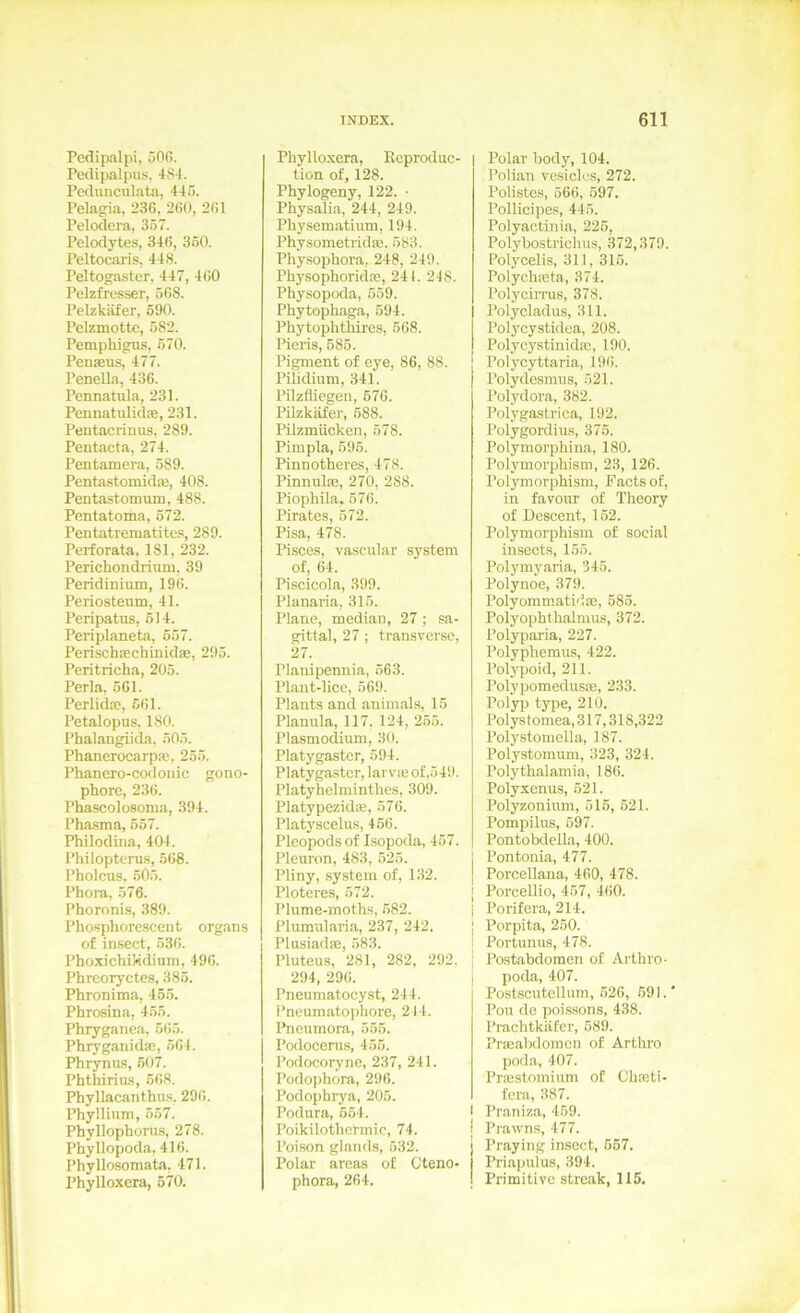 Pedipalpi, 50(i. Pedipalpus, 48-1. Peduncul.ata, 445. Pelagia, 236, 2(50, 2(51 Pelodera, 357. Pelodytes, 34(5, 360. Peltocaris, 448. Peltogaster, 447, 4(50 Pelzfresser, 5G8. Pelzkäfer, 690. Pelzmottc, 582. Pemphigus, 670. PeuEBus, 477. Penella, 436. Pcnnatula, 231. PeunatulidiE, 231. Pentacrinus, 289. Pentacta, 274. Pentamera, 589. Pentastomida}, 408. Pentastomum, 488. Pentatoma, 572. Pentatrematites, 289. Perforata. 181, 232. Perichondrium, 39 Peridinium, 196. Periostenm, 41. Peripatus, 514. Perl plane ta, 657. PerischEEchinidae, 295. Peritricha, 205. Perla. 561. Perlidsc, 561. Petalopus. 180. Phalangiida. 505. Phanerocarpa;, 255. Phancro-codoiiic gono- phore, 23(5. Phascolosoma, 394. Pha.sma, 657. Philodiiia, 404. Philopterus, 568. Pholcus, 605. Phora, 576. Phoronis, 389. Phosphorcscent Organs of insect, 53(5. PhoxichiWdium, 496. Phrcoryctes, 385. Phronima, 455. Phrosina, 455. Phryganea, 6(55. Phryganidse, 564. Phrynns, 607. Phthirius, 568. Phyllacanthus. 296. Phyllium, 557. Phyllophonis, 278. Phyllopoda, 416. Phyllosomata, 471. Phylloxera, 670. Phylloxera, Ecproduc- tion of, 128. Phylogeny, 122. • Physalia, 244, 249. Physematiiim, 194. Physometridaä. 583. Physophora, 248, 249. Physophoridre, 241. 248. Physopoda, 559. Phytophaga, 594. Phytophthires, 568. Pieris, 685. Pigment of eye, 86, 88. Pilidium, 341. Pilzfliegen, 676. Pilzkäfer, 688. Pilzmücken, 578. Pimpla, 595. Pinnotheres, 478. PinnulEe, 270, 288. Piophila, 576. Pirates, 572. Pisa, 478. Pisces, vascular System of, 64. Piscicola, 399. Planaria, 315. Plane, median, 27 ; sa- gittal, 27 ; transverse, 27. Planipennia, 563. Plant-lice, 569. Plants and animals, 15 Plamila, 117. 124, 2.55. Plasmodium, 30. Platygastcr, 694. Platygaster, larvie of,549. Platyhelminthes, 309. Platypezidie, 576. Platyscelus, 466. Pleopodsof Isopoda, 457. Pleuron, 483, 525. Pliny, System of, 132. Ploteres, 572. Plume-moths, 582. Plumulaiia, 237, 242. Plusiadm, 583. Pluteus, 281, 282, 292, 294, 296. Pneumatocyst, 244. I’neumatophore, 244. Pneumora, 555. Podocerus, 455. Podocoryne, 237, 241. Podojjhora, 296. Podophrya, 205. Podura, 564. Poikilothermie, 74. Poison glaiids, 532. Polar areas of Cteno- phora, 264. Polar body, 104. Polian vosiclos, 272. Polistes, 566, 697. Pollicipes, 445. Polyactinia, 226, Polybostrichus, 372,379. Polycelis, 311, 316. Polyehieta, 374. PolyciiTus, 378. Polycladus, 311. Polycystidca, 208. Polycystinidm, 190. Polycyttaria, 196. Polydesmus, 521. Polydora, 382. Polygastrica, 192. Polygordius, 375. Polymorphina, 180. Polymorphism, 23, 126. Polymorphism, Facts of, in favour of Theory of Descent, 162. Polymorphism of social insects, 155. Polymyaria, 345. Polynoe, 379. PolyommatidEe, 585. Polyophthalmus, 372. Polyparia, 227. Polyphemus, 422. Polypoid, 211. PolypomedusEB, 233. Polyp type, 210. Polystomea,317,318,322 Polystomella, 187. Polystomum, 323, 324. Polythalamia, 186. Polyxenus, 521. Polyzonium, 516, 621. Pompilus, 697. Pontobdella, 400. Pontonia, 477. I Porcellana, 460, 478. j Porcellio, 457, 460. i Porifera, 214. i Porpita, 250. j Portunus, 478. I Postabdomen of Arthro- I poda, 407. Postscuteilum, 626, 691. Pou de poissons, 438. Prachtkäfer, 589. PrEeabdomen of Arthro poda, 407. Priestomium of Chajti- fera, 387. I Praniza, 459. j Prawns, 477. Praying insect, 667. Priapulus, 394. Primitive streak, 115.