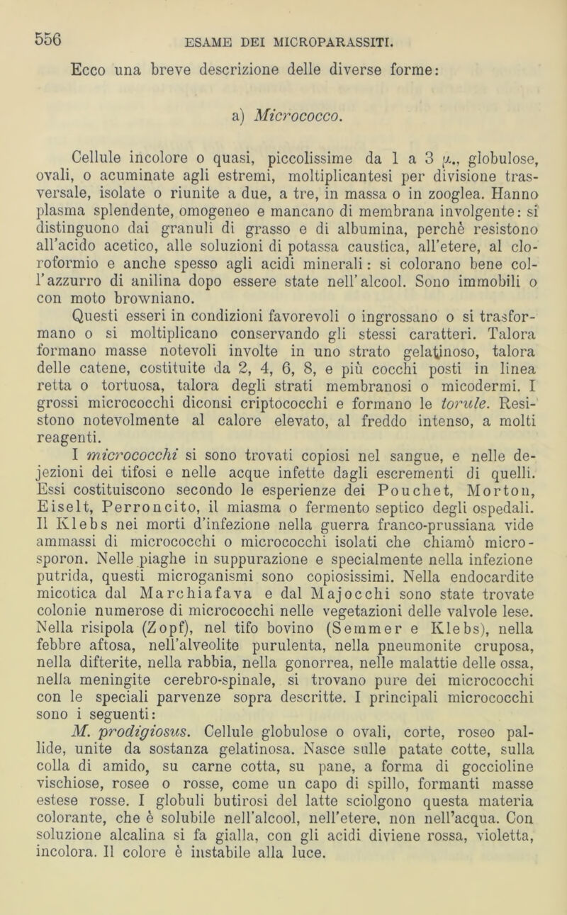 Ecco lina breve descrizione delle diverse forme: a) Micrococco. Cellule incolore o quasi, piccolissime da 1 a 3 globulose, ovali, o acuminate agli estremi, moltiplicantesi per divisione tras- versale, isolate o riunite a due, a tre, in massa o in zooglea. Hanno plasma splendente, omogeneo e mancano di membrana involgente: si distinguono dai granuli di grasso e di albumina, perchè resistono all’acido acetico, alle soluzioni di potassa caustica, all’etere, al clo- roformio e anche spesso agli acidi minerali : si colorano bene col- l’azzurro di anilina dopo essere state nell’alcool. Sono immobili o con moto browniano. Questi esseri in condizioni favorevoli o ingrossano o si trasfor- mano o si moltiplicano conservando gli stessi caratteri. Talora formano masse notevoli involte in uno strato gelatinoso, talora delle catene, costituite da 2, 4, 6, 8, e più cocchi posti in linea retta o tortuosa, talora degli strati membranosi o micodermi. I grossi micrococchi diconsi criptococchi e formano le torule. Resi- stono notevolmente al calore elevato, al freddo intenso, a molti reagenti. I micrococchi si sono trovati copiosi nel sangue, e nelle de- jezioni dei tifosi e nelle acque infette dagli escrementi di quelli. Essi costituiscono secondo le esperienze dei Pouchet, Mortoli, Eiselt, Perroncito, il miasma o fermento septico degli ospedali. Il Klebs nei morti d’infezione nella guerra franco-prussiana vide ammassi di micrococchi o micrococchi isolati che chiamò micro- sporon. Nelle piaghe in suppurazione e specialmente nella infezione putrida, questi microganismi sono copiosissimi. Nella endocardite micotica dal Marchiafava e dal Majocchi sono state trovate colonie numerose di micrococchi nelle vegetazioni delle valvole lese. Nella risipola (Zopf), nel tifo bovino (Semmer e Klebs), nella febbre aftosa, nell’alveolite purulenta, nella pneumonite cruposa, nella difterite, nella rabbia, nella gonorrea, nelle malattie delle ossa, nella meningite cerebro-spinale, si trovano pure dei micrococchi con le speciali parvenze sopra descritte. I principali micrococchi sono i seguenti: M. prodigiosus. Cellule globulose o ovali, corte, roseo pal- lide, unite da sostanza gelatinosa. Nasce sulle patate cotte, sulla colla di amido, su carne cotta, su pane, a forma di goccioline vischiose, rosee o rosse, come un capo di spillo, formanti masse estese rosse. I globuli butirosi del latte sciolgono questa materia colorante, che è solubile nell’alcool, nell’etere, non nell’acqua. Con soluzione alcalina si fa gialla, con gli acidi diviene rossa, violetta, incolora. Il colore è instabile alla luce.