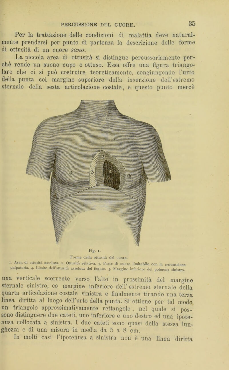 Per la trattazione delle condizioni di malattia deve natural- mente prendersi per punto di partenza la descrizione delle forme di ottusità di un cuore sano. La piccola area di ottusità si distingue percussoriamente per- chè rende un suono cupo o ottuso. Essa offre una figura triango- lare che ci si può costruire teoreticamente, congiungendo l’urto della punta col margine superiore della inserzione deU'estremo sternale della sesta articolazione costale, e questo punto mercè Fig. I. Forme della ottusità del cuore. I. Arca di ottusità assoluta. 2 Ottusità relativa. 3. Parte di cuore limitabile con la percussione palpatola. 4. Limite dell’ottusità assoluta del fegato. 3. Margine inferiore del polmone sinistro. una verticale scorrente verso l’alto in prossimità del margine sternale sinistro, co margine inferiore deU’estremo sternale della quarta articolazione costale sinistra e finalmente tirando una terza linea diritta al luogo dell’urto della punta. Si ottiene per tal modo un triangolo approssimativamente rettangolo, nel quale si pos- sono distinguere due cateti, uno inferiore e uno destro ed una ipote- nusa collocata a sinistra. I due cateti sono quasi della stessa lun- ghezza e di una misura in media da 5 a 8 cm. In molti casi l’ipotenusa a sinistra non è una linea diritta