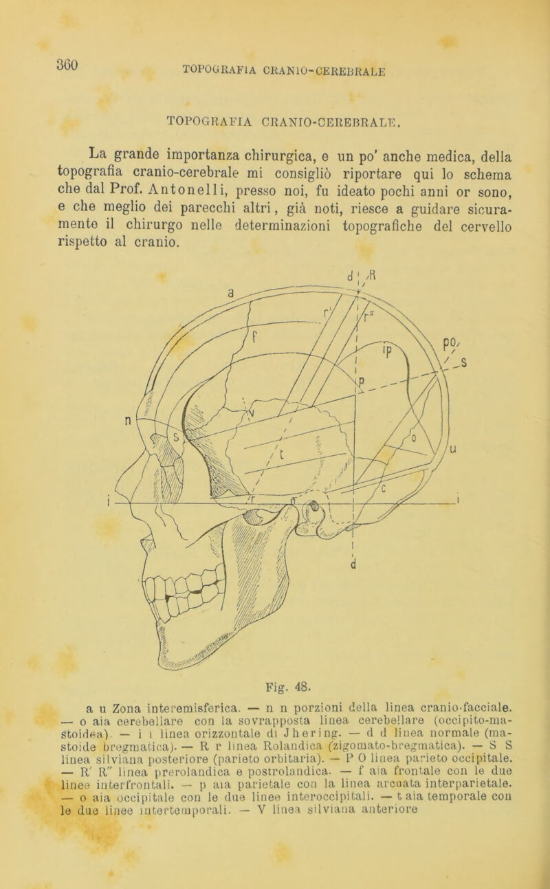 TOPOGRAFIA CRANIO-CEREBRALE. La grande importanza chirurgica, e un po’ anche medica, della topografia cranio-cerebrale mi consigliò riportare qui lo schema che dal Prof. Anto nel li, presso noi, fu ideato pochi anni or sono, e che meglio dei parecchi altri, già noti, riesce a guidare sicura- mente il chirurgo nelle determinazioni topografiche del cervello rispetto al cranio. Fig. 48. a u Zona interemisferica. — n n porzioni della linea cranio-facciale. — o aia cerebellare con la sovrapposta linea cerebellare (occipito-ma- stoidea) — i i linea orizzontale di Jhering. — d d linea normale (ma- stoide bregrnatioa). — R r linea Rolandica (zigomato-bregmatica). — SS linea silviana posteriore (parieto orbitaria). — PO linea parieto occipitale. — R' R linea prerolandica e postrolandica. — f aia frontale con le due linee interfrontali. — p aia parietale con la linea arcuata interparietale. — o aia occipitale con le due linee interoccipitali. —t aia temporale con le due iinee intertemporali. — V linea silviana anteriore