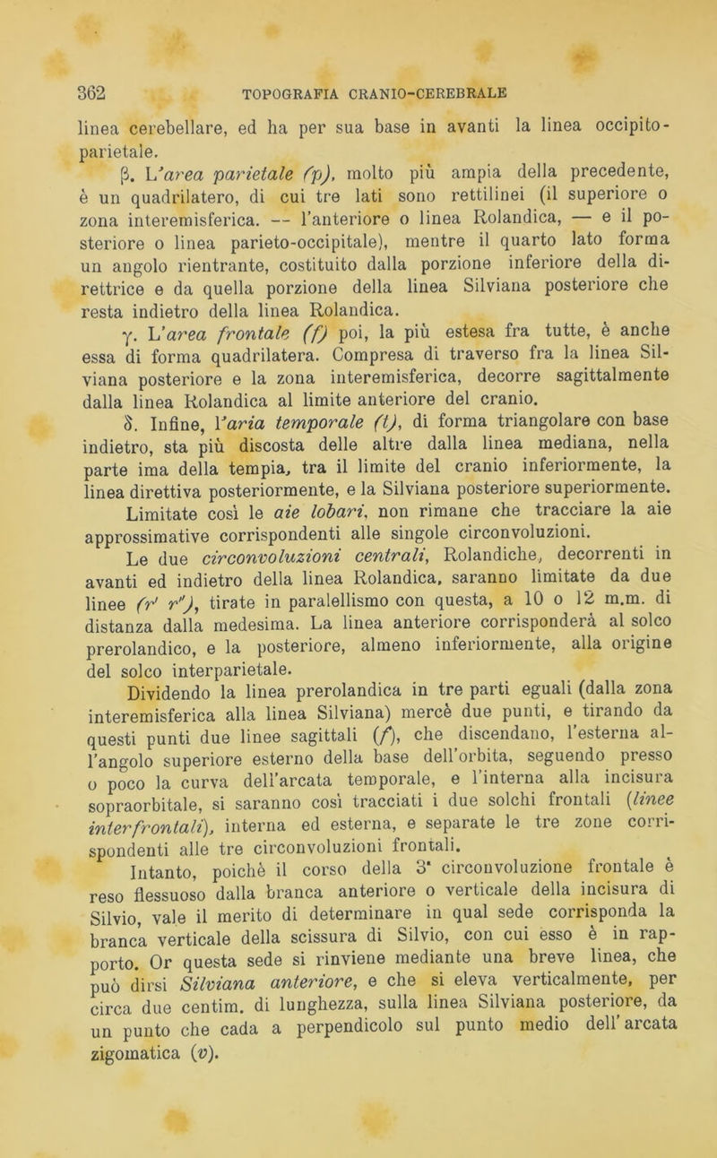 linea cerebellare, ed ha per sua base in avanti la linea occipito- parietale. (3. Warea parietale (p), molto più ampia della precedente, è un quadrilatero, di cui tre lati sono rettilinei (il superiore o zona interemisferica. — l’anteriore o linea Rolandica, — e il po- steriore o linea parieto-occipitale), mentre il quarto lato forma un angolo rientrante, costituito dalla porzione inferiore della di- rettrice e da quella porzione della linea Silviana posteriore che resta indietro della linea Rolandica. y. L'area frontale (f) poi, la più estesa fra tutte, e anche essa di forma quadrilatera. Compresa di traverso fra la linea Sil- viana posteriore e la zona interemisferica, decorre sagittalmente dalla linea Rolandica al limite anteriore del cranio. 5. Infine, Varia temporale (t), di forma triangolare con base indietro, sta più discosta delle altre dalla linea mediana, nella parte ima della tempia, tra il limite del cranio inferiormente, la linea direttiva posteriormente, e la Silviana posteriore superiormente. Limitate così le aie lobari, non rimane che tracciare la aie approssimative corrispondenti alle singole circonvoluzioni. Le due circonvoluzioni centrali, Rolandiche, decorrenti in avanti ed indietro della linea Rolandica, saranno limitate da due linee (r> r), tirate in paralellismo con questa, a 10 o 12 in.m. di distanza dalla medesima. La linea anteriore corrisponderà al solco prerolandico, e la posteriore, almeno inferiormente, alla origine del solco interparietale. Dividendo la linea prerolandica in tre parti eguali (dalla zona interemisferica alla linea Silviana) merce due punti, e tirando da questi punti due linee sagittali (/*), che discendano, 1 esterna al- l’angolo superiore esterno della base dell orbita, seguendo presso o poco la curva dell’arcata temporale, e l’interna alla incisura sopraorbitale, si saranno cosi tracciati i due solchi frontali {linee inter frontali), interna ed esterna, e separate le tre zone corri- spondenti alle tre circonvoluzioni frontali. Intanto, poiché il corso della 3* circonvoluzione frontale è reso flessuoso dalla branca anteriore o verticale della incisura di Silvio, vale il merito di determinare in qual sede corrisponda la branca verticale della scissura di Silvio, con cui esso e in rap- porto. Or questa sede si rinviene mediante una breve linea, che può dirsi Silviana anteriore, e che si eleva verticalmente, per circa due centim. di lunghezza, sulla linea Silviana posteriore, da un punto che cada a perpendicolo sul punto medio dell’arcata zigomatica (v).