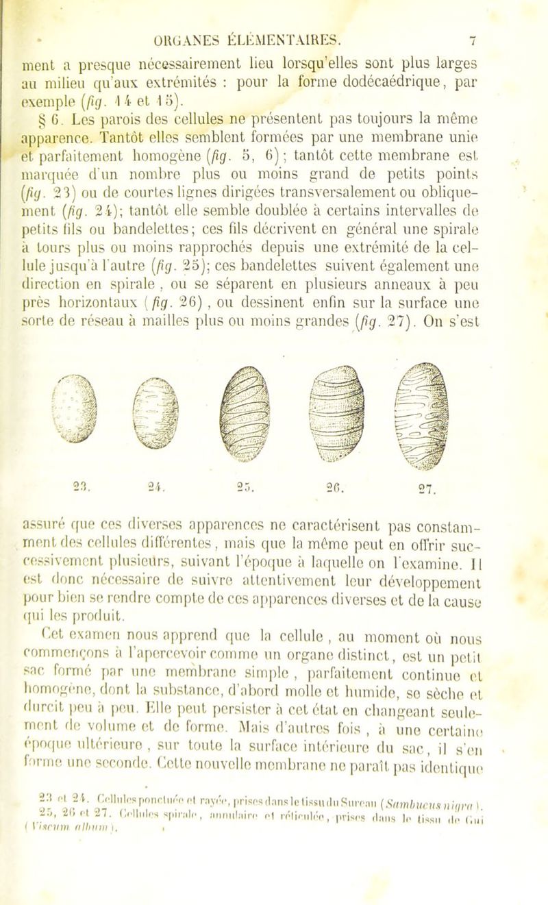 ment a presque nécessairement lieu lorsqu’elles sont plus larges au milieu qu’aux extrémités : pour la forme dodécaédrique, par exemple (fig. I 4 et 15). § 6 Les parois des cellules ne présentent pas toujours la même apparence. Tantôt elles semblent formées par une membrane unie et parfaitement homogène (fig. S, 6) ; tantôt cette membrane est marquée d'un nombre plus ou moins grand de petits points (fig. 23) ou de courtes lignes dirigées transversalement ou oblique- ment (fig. 24); tantôt elle semble doublée à certains intervalles de petits fils ou bandelettes ; ces fils décrivent en général une spirale à tours plus ou moins rapprochés depuis une extrémité de la cel- lule jusqu'à l'autre (fig. 25); ces bandelettes suivent également une direction en spirale , ou se séparent en plusieurs anneaux à peu près horizontaux (fig. 26) , ou dessinent enfin sur la surface une sorte de réseau à mailles plus ou moins grandes (fig. 27). On s’est assuré que ces diverses apparences ne caractérisent pas constam- ment des cellules différentes, mais que la môme peut en offrir suc- cessivement plusieurs, suivant l’époque à laquelle on l'examine. Il est donc nécessaire de suivre attentivement leur développement pour bien se rendre compte de ces apparences diverses et de la cause qui les produit. Cet examen nous apprend que la cellule , au moment où nous commençons à l’apercevoir comme un organe distinct, est un petit sac formé par une membrane simple , parfaitement continue et homogène, dont la substance, d’abord molle et humide, se sèche et durcit peu a peu. Elle peut persister à cet état en changeant seule- ment de volume et de forme. Mais d’autres fois , à une certaine époque ultérieure, sur toute la surface intérieure du sac, il s'en forme une seconde. Celte nouvelle membrane no paraît pas identique 27. ( l'urum nnnim i. ,