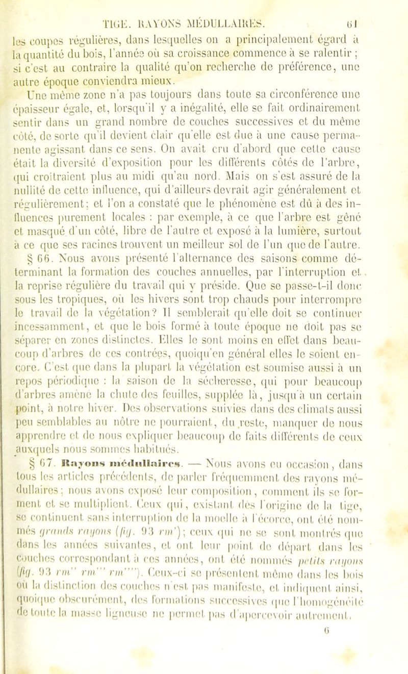 TIGE. HAYONS MÉDULLAIRES. (il les coupes régulières, dans lesquelles on a principalement égard à la quantité du bois, l’année où sa croissance commence à se ralentir ; si c’est au contraire la qualité qu’on recherche de préférence, une autre époque conviendra mieux. Une môme zone n'a pas toujours dans toute sa circonférence une épaisseur égale, et, lorsqu'il y a inégalité, elle se fait ordinairement sentir dans un grand nombre de couches successives et du même côté, de sorte qu’il devient clair qu’elle est due à une cause perma- nente agissant dans ce sens. On avait cru d'abord que cette cause était la diversité d’exposition pour les différents côtés de l’arbre, qui croîtraient plus au midi qu’au nord. Mais on s’est assuré de la nullité de cette influence, qui d’ailleurs devrait agir généralement et régulièrement; et l’on a constaté que le phénomène est dû à des in- fluences purement locales : par exemple, à ce que l’arbre est gêné et masqué d'un côté, libre de l’autre et exposé à la lumière, surtout à ce que ses racines trouvent un meilleur sol de l’un que de l’autre. § 66. Nous avons présenté l'alternance des saisons comme dé- terminant la formation des couches annuelles, par l’interruption et la reprise régulière du travail qui y préside. Que se passe-t-il donc sous les tropiques, où les hivers sont trop chauds pour interrompre le travail de la végétation? 11 semblerait qu’elle doit se continuer incessamment, et que le bois formé à toute époque ne doit pas se séparer en zones distinctes. Elles le sont moins en effet dans beau- coup d’arbres de ces contrées, quoiqu’on général elles le soient en- core. C’est ([ne dans la plupart la végétation est soumise aussi à un repos périodique : la saison de la sécheresse, (pii pour beaucoup d’arbres amené la chute dos feuilles, supplée là, jusqu'à un certain point, à notre hiver. Des observations suivies dans des climats aussi peu semblables au nôtre ne pourraient, du reste, manquer de nous apprendre et de nous expliquer beaucoup de faits différents de ceux auxquels nous sommes habitués. § 67. Rayons médullaires. — Nous avons eu occasion, dans tous les articles précédents, de parler fréquemment des rayons mé- dullaires; nous avons exposé leur composition, comment ils se for- ment et se multiplient. Ceux (pii, existant des l’origine de la tige, se continuent sans interruption de la moelle à l'écorce, ont été nom- més grands rayons ((iy. 93 m’); ceux qui ne se, sont montrés que dans les années suivantes, et ont lour point do départ dans les couches correspondant à ces années, ont été nommés pclils rayons (/h/. 93 nn rm'” rm””). Ceux-ci se présentent môme dans les bois oii la distinction des couches n est pas manifeste, et indiquent ainsi, quoique obscurément, des formations successives que l'bomogénéilé de toute la masse ligneuse ne permet pas d’apercevoir autrement, G