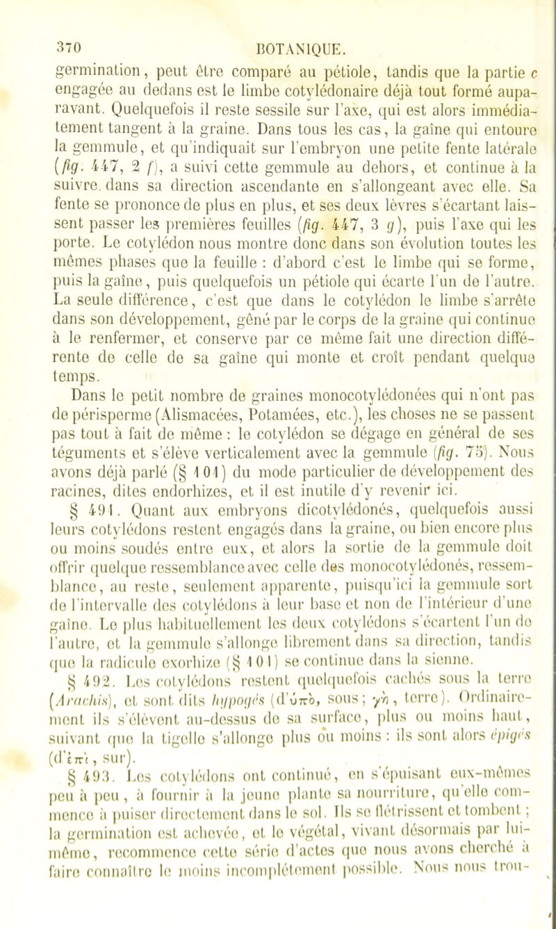 germination, peut être comparé au pétiole, tandis que la partie c engagée au dedans est le limbe cotvlédonaire déjà tout formé aupa- ravant. Quelquefois il reste sessile sur l’axe, qui est alors immédia- tement tangent à la graine. Dans tous les cas, la gaine qui entoure la gemmule, et qu'indiquait sur l’embryon une petite fente latérale (ftg. 447, 2 f), a suivi cette gemmule au dehors, et continue à la suivre dans sa direction ascendante en s’allongeant avec elle. Sa fente se prononce de plus en plus, et ses deux lèvres s’écartant lais- sent passer les premières feuilles (fig. 447, 3 g), puis l’axe qui les porte. Le cotylédon nous montre donc dans son évolution toutes les mêmes phases que la feuille : d’abord c’est le limbe qui se forme, puis la gaine, puis quelquefois un pétiole qui écarte l'un de l’autre. La seule différence, c’est que dans le cotylédon le limbe s’arrête dans son développement, gêné par le corps de la graine qui continue à le renfermer, et conserve par ce même fait une direction diffé- rente de celle de sa gaine qui monte et croît pendant quelque temps. Dans le petit nombre de graines monocotylédonées qui n’ont pas de périsperme (Alismacées, Potamées, etc.), les choses ne se passent pas tout à fait de même : le cotylédon se dégage en général de ses téguments et s’élève verticalement avec la gemmule (fig. 75). Nous avons déjà parlé (§ 1 01) du mode particulier de développement des racines, dites ondorliizes, et il est inutile d’y revenir ici. § 491. Quant aux embryons dicotylédonés, quelquefois aussi leurs cotylédons restent engagés dans la graine, ou bien encore plus ou moins soudés entre eux, et alors la sortie de la gemmule doit offrir quelque ressemblance avec celle des monocotylédonés, ressem- blance, au reste, seulement apparente, puisqu’ici la gemmule sort de I intervalle des cotylédons à leur base et non de 1 intérieur d’une gaine. Le plus habituellement les deux cotylédons s’écartent 1 un do l’autre, et la gemmule s’allonge librement dans sa direction, tandis que la radicule exorhizo (§ 101) se continue dans la sienne. § 492. Los cotylédons restent quelquefois cachés sous la terre (Arachis), et sont dits hgpogés (d urco, sous; yn , terre). Ordinaire- ment ils s'élèvent, au-dessus do sa surface, plus ou moins haut, suivant que la tigcllo s’allonge plus ou moins : ils sont alors epigrs (d in'i, sur). § 493. Los cotylédons ont continué, en s’épuisant eux-mêmes peu à peu , à fournir à la jeune plante sa nourriture, qu elle com- mence à puiser directement dans le sol. Ils se flétrissent et tombent ; la germination est achevée, et le végétal, vivant désormais par lui- même, recommence cette série d’actes que nous avons cherché a faire connaître le moins incomplètement possible. Nous nous trou- ^