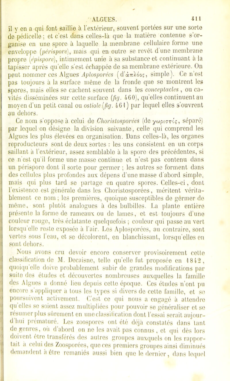 il v en a qui font saillie à l'extérieur, souvent portées sur une sorte de pédicelle ; et c’est dans celles-là que la matière contenue s’or- ganise en une spore à laquelle la membrane cellulaire forme une enveloppe (périspore), mais qui en outre se revêt d une membrane propre (épispore), intimement unie à sa substance et continuant à la tapisser après qu elle s'est échappée de sa membrane extérieure. On peut nommer ces Algues Aplosporées ( d'art),ôo;, simple). Ce n’est pas toujours à la surface même de la fronde que se montrent les spores, mais elles se cachent souvent dans les conceptacles , ou ca- vités disséminées sur cette surface (fig. 460), qu elles continuent au moyen d’un petit canal ou ostiole (fig. 401 ) par lequel elles s'ouvrent au dehors. Ce nom s'oppose à celui de Clioristosporèes (de yoipcjréç, séparé) par lequel on désigne la division suivante, celle qui comprend les Al gués les plus élevées en organisation. Dans celles-là, les organes reproducteurs sont de deux sortes : les uns consistent en un corps saillant à l’extérieur, assez semblable à la spore des précédentes, si ce n'est qu il forme une masse continue et n’est pas contenu dans un périspore dont il sorte pour germer ; les autres se forment dans des cellules plus profondes aux dépens d’une masse d'abord simple, mais qui plus tard se partage en quatre spores. Celles-ci, dont l'existence est générale dans les Choristosporées, méritent vérita- blement ce nom ; les premières, quoique susceptibles de gérmer de même, sont plutôt analogues à des bulbillos. La plante entière présente la forme de rameaux ou de lames, et est toujours d’uno couleur rouge, très éclatante quelquefois ; couleur qui passe au vert lorsqu’elle reste exposée à l’air. Les Aplosporées, au contraire, sont vertes sous l’eau, et se décolorent, on blanchissant, lorsqu’elles en sont dehors. Nous avons cru devoir encore conserver provisoirement cette classification de M. Decaisno, telle qu’elle fut proposée en 1842, quoiqu’elle doive probablement subir de grandes modifications par suite dos études et découvertes nombreuses auxquelles la famille des Algues a donné lieu depuis celte époque. Ces éludes n’ont pu encore s’appliquer à tous les types si divers de cetto famille, et se poursuivent activement. C’est ce qui nous a engagé à attendre qu elles se soient assez multipliées pour pouvoir se généraliser cl se résumer plus sûrement en une classification dont l’essai serait aujour- d'hui prématuré. Les zoospores ont été déjà constatés dans tant de genres, où d’abord on ne les avait pas connus , et qui dès lors (doivent être transférés des autres groupes auxquels on les rappor- tait. a celui des Zoosporéos, que ces premiers groupes ainsi diminués demandent à être remaniés aussi bien que le dernier, dans lequel