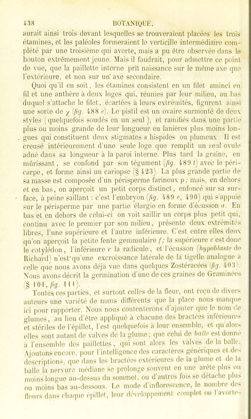 aurait ainsi trois devant lesquelles se trouveraient placées les trois étamines, et les paléoles formeraient le verticille intermédiaire com- plété par une troisième qui avorte, mais a pu être observée dans le bouton extrêmement jeune. Mais il faudrait, pour admettre ce point de vue, que la paillette interne prit naissance sur le môme axe que l’extérieure, et non sur un’ axe secondaire. Quoi qu'il en soit, les étamines consistent en un filet aminci en fil et une anthère à deux loges qui, réunies par leur milieu, au bas duquel s'attache le filet, écartées à leurs extrémités, figurent ainsi une sorte de y [fig. 488 e). Le pistil est un ovaire surmonté de deux styles (quelquefois soudés en un seul ), et ramifiés dans une partie plus ou moins grande de leur longueur en lanières plus moins lon- , gués qui constituent deux stigmates s hispides ou plumeux II est creusé intérieurement d’une seule loge que remplit un seul ovule adné dans sa longueur à la paroi interne. Plus tard la graine, en mûrissant, se confond par son tégument [fig. 489 t) avec le péri- carpe, et forme ainsi un cariopse (§ 423). La plus grande partie de sa masse est composée d’un périsperme farineux p ; mais, en dehors et en bas, on aperçoit un petit corps distinct, enfoncé sur sa sur- face, à peine saillant : c’est, l’embryon [fig. 489 e, 490) qui s’appuie sur le périsperme par une partie élargie en forme d'écusson a. En bas et en dehors de celui-ci on voit saillir un corps plus petit qui, continu avec le premier par son milieu, présente deux extrémités libres, l’une supérieure et l'autre inférieure. C est entre elles deux qu’on aperçoit la petite fente gemmulaire f; la supérieure c est donc le cotylédon, l’inférieure r la radicale, et l’écusson [hypoblnsle de Richard) n’est’qu'une excroissance latérale de la ligelle analogue à celle que nous avons déjà vue dans quelques Zostéracées (fig. 403). Nous avons décrit la germination d'une de ces graines de Graminées (§ 101, fig. 4M). Toutes ces parties, et surtout celles de la fleur, ont reçu do divers auteurs une variété de noms différents (pie la place nous manque ici pour rapporter. Nous nous contenterons cl ajouter que le nom de glumes, au lieu d’étre appliqué à chacune des bractées inférieures et stériles de l’épillet, l'est quelquefois à leur ensemble, et qualors elles sont autant de valves de la glume; que celui de balle est donne à l'ensemble des paillettes, qui sont alors les cubes de lu bulle. Ajoutons encore, pour l’intelligence des caractères génériques et des descriptions, que dans les bractées extérieures de la glume et de la balle la nervure médiane se prolonge souvent en une arête plus ou moins longue au-dessus du sommet, ou d'autres fois se détache plus nu moins bas au-dessous. Le mode d’inflorescence, le nombre des fleurs dans chaque épillet, leur développement complet ou I avorte-