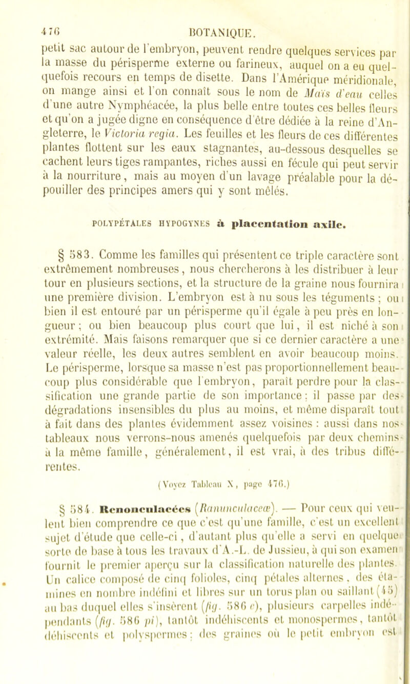 petit sac autour de l’embryon, peuvent rendre quelques services par la masse du périsperme externe ou farineux, auquel on a eu quel- quefois recours en temps de disette. Dans l’Amérique méridionale, on mange ainsi et l'on connaît sous le nom de Maïs d'eau celles d'une autre Nymphéacée, la plus belle entre toutes ces belles fleurs et qu’on a jugée digne en conséquence d’être dédiée à la reine d’An- gleterre, le Victoria regia. Les feuilles et les fleurs de ces différentes plantes flottent sur les eaux stagnantes, au-dessous desquelles se cachent leurs tiges rampantes, riches aussi en fécule qui peut servir à la nourriture, mais au moyen d'un lavage préalable pour la dé- pouiller des principes amers qui y sont mêlés. polypétales hvpogynes à placentation avilc. § 583. Comme les familles qui présentent ce triple caractère sont extrêmement nombreuses, nous chercherons à les distribuer à leur tour en plusieurs sections, et la structure de la graine nous fournira une première division. L’embryon est à nu sous les téguments ; ou bien il est entouré par un périsperme qu’il égale à peu près en lon- gueur ; ou bien beaucoup plus court que lui, il est niché à son i extrémité. Mais faisons remarquer que si ce dernier caractère a une valeur réelle, les deux autres semblent en avoir beaucoup moins. Le périsperme, lorsque sa masse n’est pas proportionnellement beau- coup plus considérable que 1 embryon, parait perdre pour la clas- sification une grande partie de son importance; il passe par des- dégradations insensibles du plus au moins, et môme disparaît tout à fait dans des plantes évidemment assez voisines : aussi dans nos tableaux nous verrons-nous amenés quelquefois par deux chemins à la môme famille, généralement, il est vrai, à des tribus diffé- rentes. ( Voyez Tableau X, page 47(1.) § 584 Rcnonculacccs (Ranunculacece). — Pour ceux qui veu- lent bien comprendre ce que c’est qu’une famille, c'est un excellent sujet d'étude que celle-ci, d’autant plus quelle a servi en quelque sorte de base à tous les travaux d'A.-L. de Jussieu, à qui son examen fournit le premier aperçu sur la classification naturelle des plantes. Un calice composé de cinq folioles, cinq pétales alternes, des éta- mines en nombre indéfini et libres sur un torusplan ou saillant (A3) au bas duquel elles s'insèrent (/ig. 586 c), plusieurs carpelles indé - pendants [fig. 586 pi), tantôt indéhiscents et monospermes, tantôt déhiscents et polvspermes ; des graines où le petit embryon est