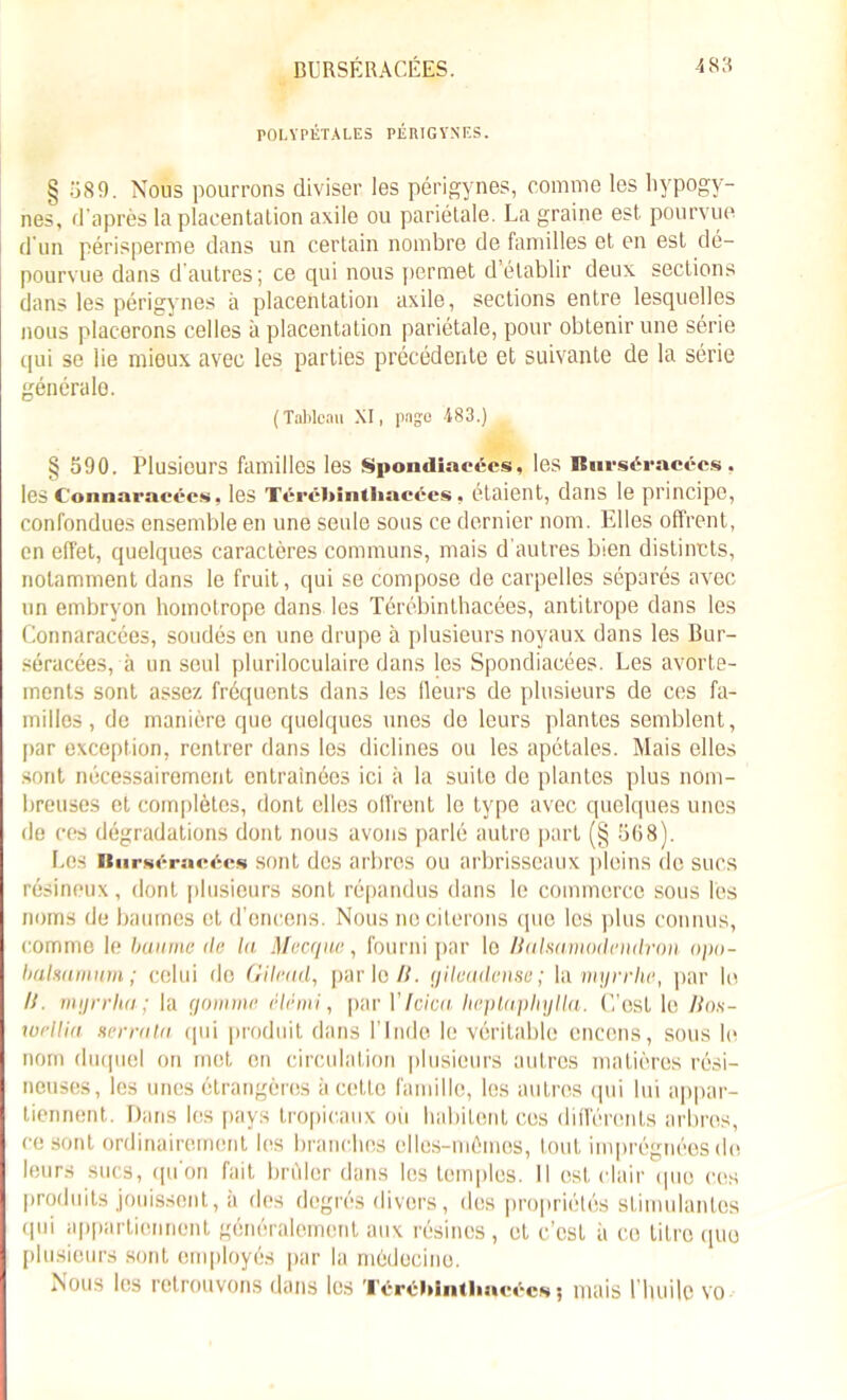 BURSÉRACÉES. 4 83 POLYPÉTALES PÉRIGYNES. § 589. Nous pourrons diviser les périgynes, comme les hypogy- nes, d’après la placentation axile ou pariétale. La graine est pourvue d'un périsperme dans un certain nombre de familles et en est dé- pourvue dans d'autres; ce qui nous permet d’établir deux sections dans les périgynes à placentation axile, sections entre lesquelles nous placerons celles à placentation pariétale, pour obtenir une série qui se lie mieux avec les parties précédente et suivante de la série générale. (Tableau XI, page 483.) § 590. Plusieurs familles les Spondlacées, les Burséracécs. les Connaracces, les Térébintliacées. étaient, dans le principe, confondues ensemble en une seule sous ce dernier nom. Elles offrent, en effet, quelques caractères communs, mais d'autres bien distincts, notamment dans le fruit, qui se compose de carpelles séparés avec un embryon homotrope dans les Térébinthacées, antitrope dans les Connaracées, soudés en une drupe à plusieurs noyaux dans les Bur- séracées, à un seul pluriloculaire dans les Spondiacées. Les avorte- ments sont assez fréquents dans les fleurs de plusieurs de ces fa- milles, de manière que quelques unes de leurs plantes semblent, par exception, rentrer dans les diclines ou les apétales. Mais elles sont nécessairement entraînées ici à la suite de plantes plus nom- breuses et complètes, dont elles offrent le type avec quelques unes de ces dégradations dont nous avons parlé autre part (§ 568). Los. Burséracécs sont des arbres ou arbrisseaux pleins do sucs résineux, dont plusieurs sont répandus dans le commerce sous les noms de baumes et d'encens. Nous ne citerons que les plus connus, comme le baume de la Mecque, fourni par le Balsumudendron opo- balmmum; celui do Gilead, parle//, gileadense; la myrrhe, par le II. myrrha; la gomme rlrmi, par VI ci eu heptaphylla. C'est le lios- wrllia serra ta qui produit dans l’Inde le véritable encens, sous le nom duquel on met en circulation plusieurs autres matières rési- neuses, les unes étrangères à cette famille, les autres qui lui appar- tiennent. Dans les pays tropicaux où habitent ces différents arbres, ce sont ordinairement les branches elles-mêmes, tout imprégnées do leurs sucs, qu'on fait brûler dans les temples. Il est clair que ces produits jouissent, a des degrés divers, des propriétés stimulantes (pii appartiennent généralement aux résines , et c’est à ce litre que plusieurs sont employés par la médecine.