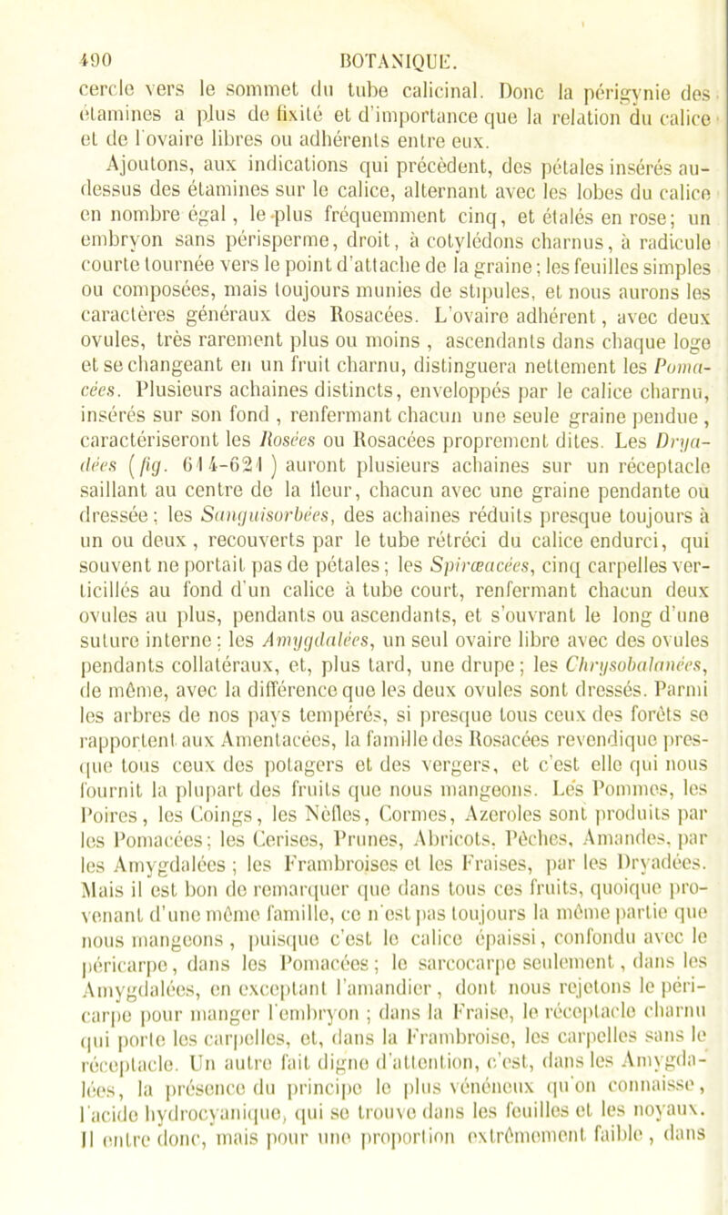 cercle vers le sommet du tube calicinal. Donc la périgynie des étamines a plus de fixité eL d’importance que la relation du calice et de l'ovaire libres ou adhérents entre eux. Ajoutons, aux indications qui précèdent, des pétales insérés au- dessus des étamines sur le calice, alternant avec les lobes du calice en nombre égal, le-plus fréquemment cinq, et étalés en rose; un embryon sans périsperme, droit, à cotylédons charnus, à radicule courte tournée vers le point d’attache de la graine ; les feuilles simples ou composées, mais toujours munies de stipules, et nous aurons les caractères généraux des Rosacées. L’ovaire adhérent, avec deux ovules, très rarement plus ou moins , ascendants dans chaque loge et se changeant en un fruit charnu, distinguera nettement les Poma- cées. Plusieurs achaines distincts, enveloppés par le calice charnu, insérés sur son fond , renfermant chacun une seule graine pendue , caractériseront les Rosées ou Rosacées proprement dites. Les Dnja- ilées (fig. 614-621 ) auront plusieurs achaines sur un réceptacle saillant au centre de la lleur, chacun avec une graine pendante ou dressée ; les Sanguisorbées, des achaines réduits presque toujours à un ou deux , recouverts par le tube rétréci du calice endurci, qui souvent ne portait pas de pétales ; les Spirœacées, cinq carpelles ver- licillés au fond d’un calice à tube court, renfermant chacun deux ovules au plus, pendants ou ascendants, et s’ouvrant le long d’une suture interne ; les Amygdalées, un seul ovaire libre avec des ovules pendants collatéraux, et, plus tard, une drupe ; les Chrysobalanées, de même, avec la différence que les deux ovules sont dressés. Parmi les arbres de nos pays tempérés, si presque tous ceux des forêts se rapportent aux Amentacées, la famille des Rosacées revendique pres- que tous ceux des potagers et des vergers, et c’est elle qui nous fournit la plupart des fruits que nous mangeons. Lés Pommes, les Poires, les Coings, les Nèfles, Cormes, Azeroles sont produits par les Pomacées; les Cerises, Prunes, Abricots, Pêches, Amandes, par les Amygdalées ; les Frambroises et les Fraises, par les Dryadées. Mais il est bon de remarquer que dans tous ces fruits, quoique pro- venant d’une même famille, ce n'est pas toujours la même partie que nous mangeons , puisque c’est le calice épaissi, confondu avec le péricarpe, dans los Pomacées ; le sarcocarpe seulement, dans les Amygdalées, en exceptant l’amandier, dont nous rejetons le péri- carpe pour manger 1 embryon ; dans la Fraise, le réceptacle charnu qui porte les carpelles, et, dans la Frambroise, les carpelles sans le réceptacle. Un autre fait digne d’attention, c’est, dans les Amygda- lées, la présence du principe le plus vénéneux qu'on connaisse, l'acide hydrocyanique, qui se trouve dans les feuilles et les noyaux. Il entre donc, mais pour une proportion extrêmement faible, dans