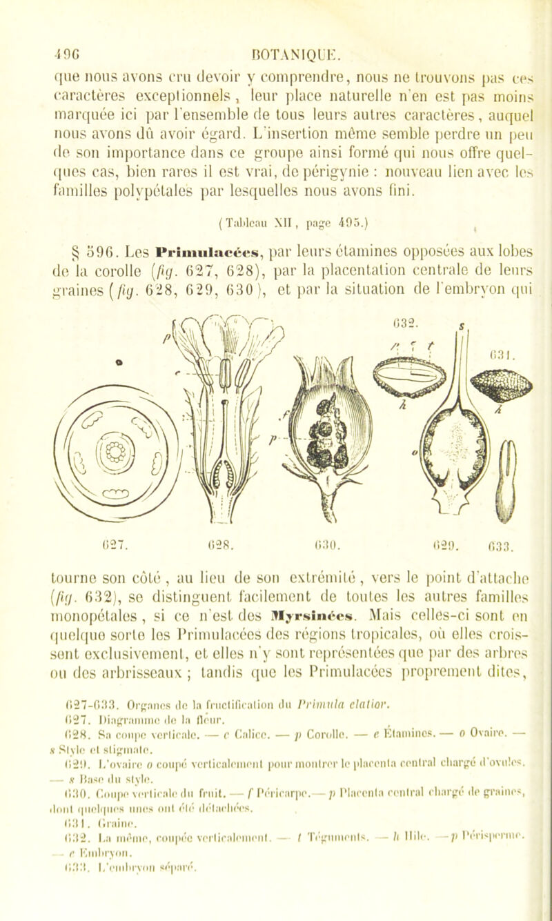 -i DG BOTANIQUE. que nous avons cru devoir y comprendre, nous ne trouvons pas ces caractères exceptionnels, leur place naturelle n'en est pas moins marquée ici par l’ensemble de tous leurs autres caractères, auquel nous avons dû avoir égard. L'insertion même semble perdre un peu de son importance dans ce groupe ainsi formé qui nous offre quel- ques cas, bien rares il est vrai, de périgynie : nouveau lien avec les familles polvpétale's par lesquelles nous avons fini. (Tableau XII, page 495.) § 590. Les Primulrtcées, par leurs étamines opposées aux lobes de la corolle (fig. 627, 628), par la placentation centrale de leurs graines (fig. 628, 629, 630), et par la situation de l'embryon qui tourne son côté , au lieu de son extrémité , vers le point d’attache (/ig. 632), se distinguent facilement de toutes les autres familles monopétales, si ce n’est des Myrsinées. Mais cellds-ci sont en quelque sorte les Primulacées des régions tropicales, où elles crois- sent exclusivement, et elles n'y sont représentées que par dos arbres ou des arbrisseaux ; tandis (pie les Primulacées proprement dites, (127-033. Organes <lc la fruclificalion du Primula elatwr. 027. Diagramme de la fleur. 028. Sa coupe verticale. — c Calice. — p Corolle. — e Étamines.— o Ovaire. — s Si vie el stigmate. 029. L’ovaire o coupé verticalement pour montrer le placenta central chargé d'ovules. — k Hase du style. 030. Coupe verticale du fruit. — f Péricarpe.— p Placenta central chargé de graines, dont quelques unes ont été détachées. 031. Graine. 032. La mémo, coupée verticalement. - I Téguments,—U Hile.—V Perisperme. — r Kmbrynn.