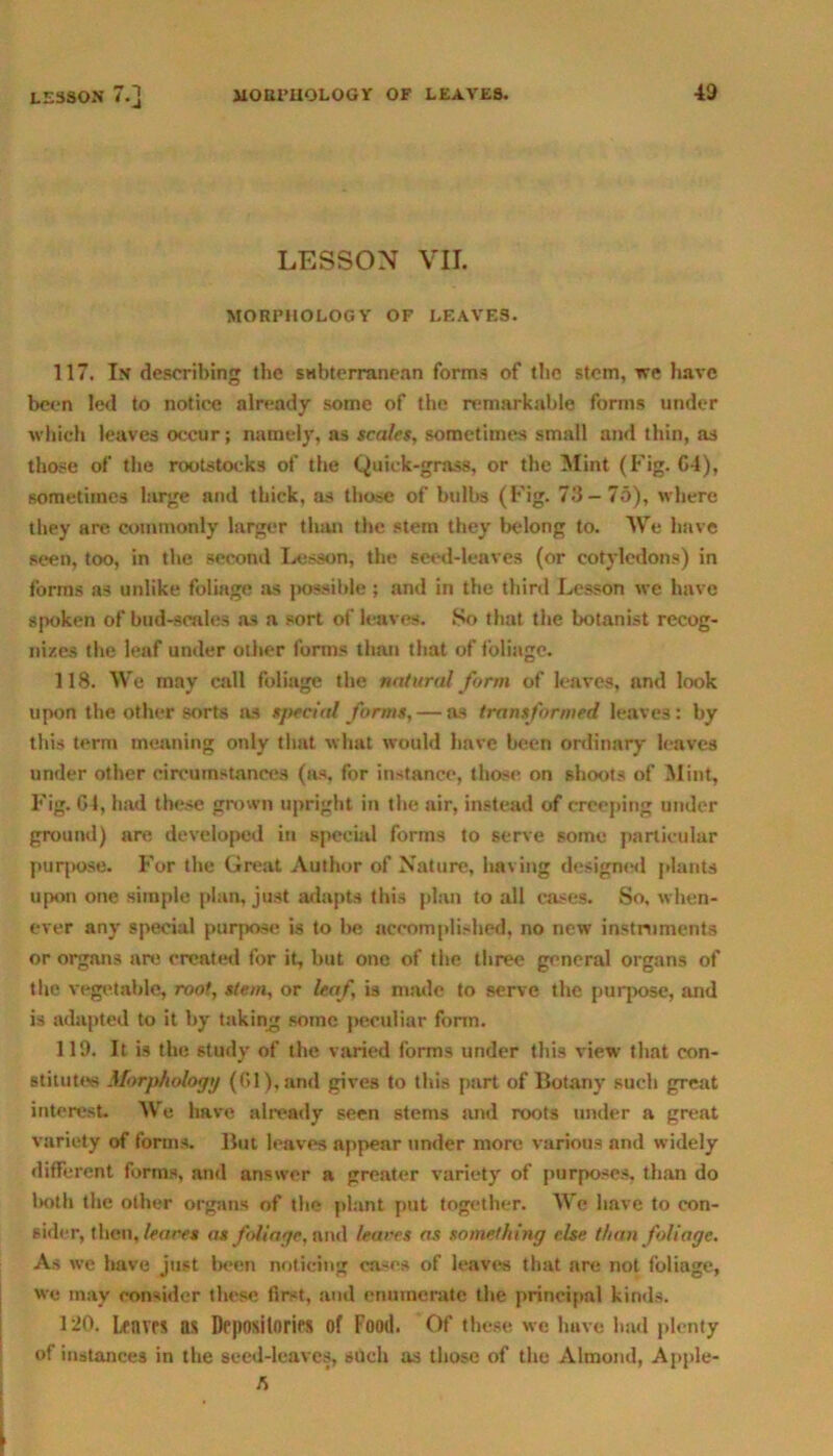 LESSON VII. MORPHOLOGY OF LEAVES. 117. In describing the subterranean forms of the stem, we have been led to notice already some of the remarkable forms under which leaves occur; namely, as scales, sometimes small and thin, as those of the rootstocks of the Quick-grass, or the Mint (Fig. C4), sometimes large and thick, as those of bulbs (Fig. 73-75), where they are commonly larger than the stem they belong to. We have seen, too, in the second Lesson, the seed-leaves (or cotyledons) in forms as unlike foliage as possible; and in the third Lesson we have spoken of bud-scales as a sort of leaves. So that the botanist recog- nizes the leaf under other forms than that of Foliage. 118. We may call foliage the natural form of leaves, and look upon the other sorts as special forms, — as transformed leaves: by this term meaning only that what would have been ordinary leaves under other circumstances (as, for instance, those on shoots of Mint, Fig. G4, had these grown upright in the air, instead of creeping under ground) are developed in special forms to serve some particular purpose. For the Great Author of Nature, having designed plants upon one simple plan, just adapts this plan to all cases. So, when- ever any special purpose is to be accomplished, no new instruments or organs are created for it, but one of the three general organs of the vegetable, root, stem, or leaf is made to serve the purpose, and is adapted to it by taking some peculiar form. 119. It is the study of the varied forms under this view that con- stitute* .Morphology (61), and gives to this part of Botany such great interest We have already seen stems and roots under a great variety of forms. But leaves appear under more various and widely different forms, and answer a greater variety of purposes, than do both the other organs of the plant put together. We have to con- sider, then, leaves as foliage, and /races as something else than foliage. As we have just been noticing eases of leaves that are not foliage, we may consider these first, and enumerate the principal kinds. 120. Lfnvrs ns Depositories of Food. Of these we have lmd plenty of instances in the seed-leaves, such as those of the Almond, Apple- ts