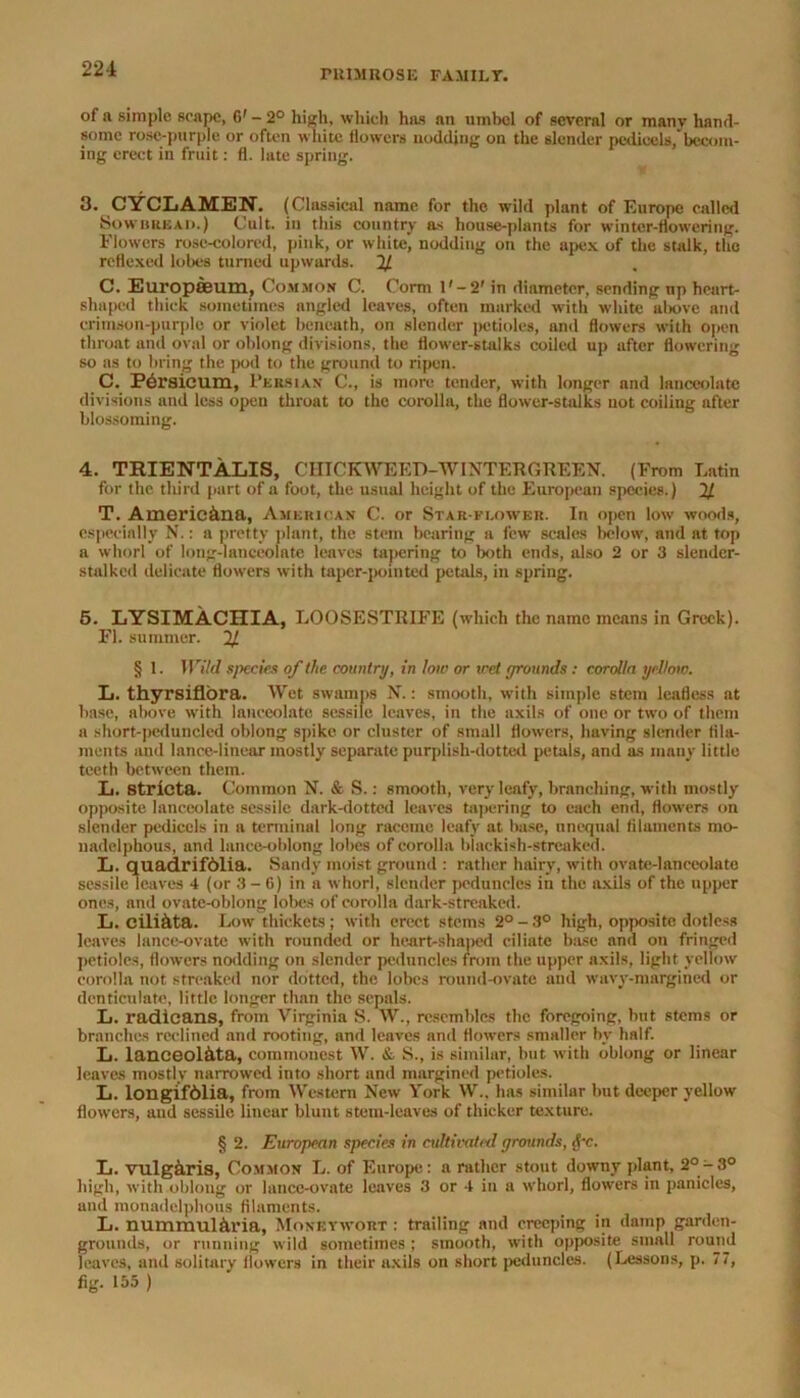 221 of a simple scape, 6' - 2° high, which has an umbel of several or many hand- some rose-purple or often white flowers nodding on the slender pedicels,’ becom- ing erect in fruit: fl. late spring. 3. CYCLAMEN. (Classical name for the wild plant of Europe called Sowhuead.) Cult, in this country as house-plants for winter-flowering. Flowers rose-colored, pink, or white, nodding on the apex of the stalk, the reflexed lobes turned upwards. 2/ C. Europfeum, Common C. Corm l'-2' in diameter, sending up heart- shaped thick sometimes angled leaves, often marked with white above and crimson-purple or violet beneath, on slender petioles, and flowers with open throat and oval or oblong divisions, the flower-stalks coiled up after flowering so as to bring the pod to the ground to ripen. C. Persicum, Persian C., is more tender, with longer and lanceolate divisions and less open throat to the corolla, the flower-stalks not coiling after blossoming. 4. TRIENTALIS, C HICK WE ED-W INTERGREEN. (From Latin for the third part of a foot, the usual height of the European species.) 2/ T. Americ&na, American C. or Star-flower. In open low woods, especially N.: a pretty plant, the stem bearing a few scales below, and at top a whorl of long-lanceolate leaves tapering to both ends, also 2 or 3 slendcr- stalked delicate flowers with taper-pointed petals, in spring. 5. LYSIMACHIA, LOOSESTRIFE (which the name means in Greek). Fl. summer. 2/ § 1. Wild species of the country, in low or wet grounds: corolla yellow. L. thyrsiflora. Wet swamps If.: smooth, with simple stem leafless at base, above with lanceolate sessile leaves, in the axils of one or two of them a short-peduncled oblong spike or cluster of small flowers, having slender fila- ments and lance-linear mostly separate purplish-dotted petals, and as many little teeth between them. L. Stricta. Common N. & S.: smooth, very leafy, branching, with mostly opposite lanceolute sessile dark-dotted leaves tapering to each end, flowers on slender pedicels in a terminal long raceme leafy at base, unequal filaments mo- nadelphous, and lance-oblong lobes of corolla blackish-streaked. L. quadrifblia. Sandy moist ground : rather hairy, with ovate-lanceolate sessile leaves 4 (or 3-6) in a whorl, slender peduncles in the axils of the upper ones, and ovate-oblong lobes of corolla dark-streaked. L. cilikta. Low thickets ; with erect stems 2° - 3° high, opposite dotless leaves lance-ovate with rounded or heart-shaped ciliate base and on fringed petioles, flowers nodding on slender peduncles from the upper axils, light yellow corolla not streaked nor dotted, the lobes round-ovate and wavy-margined or denticulate, little longer than the sepals. L. radieans, from Virginia S. W., resembles the foregoing, but stems or branches reclined and rooting, and leaves and flowers smaller bv half. L. lanceolkta, commonest W. & S., is similar, but with oblong or linear leaves mostly narrowed into short and margined petioles. L. iongifblia, from Western New York W„ has similar but deeper yellow flowers, and sessile linear blunt stem-leaves of thicker texture. § 2. European species in cultivated grounds, fi-c. L. vulg&ris, Common L. of Europe: a rather stout downy plant, 2°-3° high, with oblong or lance-ovate leaves 3 or 4 in a whorl, flowers in panicles, and monadelphous filaments. L. nummulkria, Moneywort : trailing and creeping in damp garden- grounds, or running wild sometimes ; smooth, with opposite small round leaves, and solitary flowers in their axils on short peduncles. (Lessons, p. 77, fig. 155 )