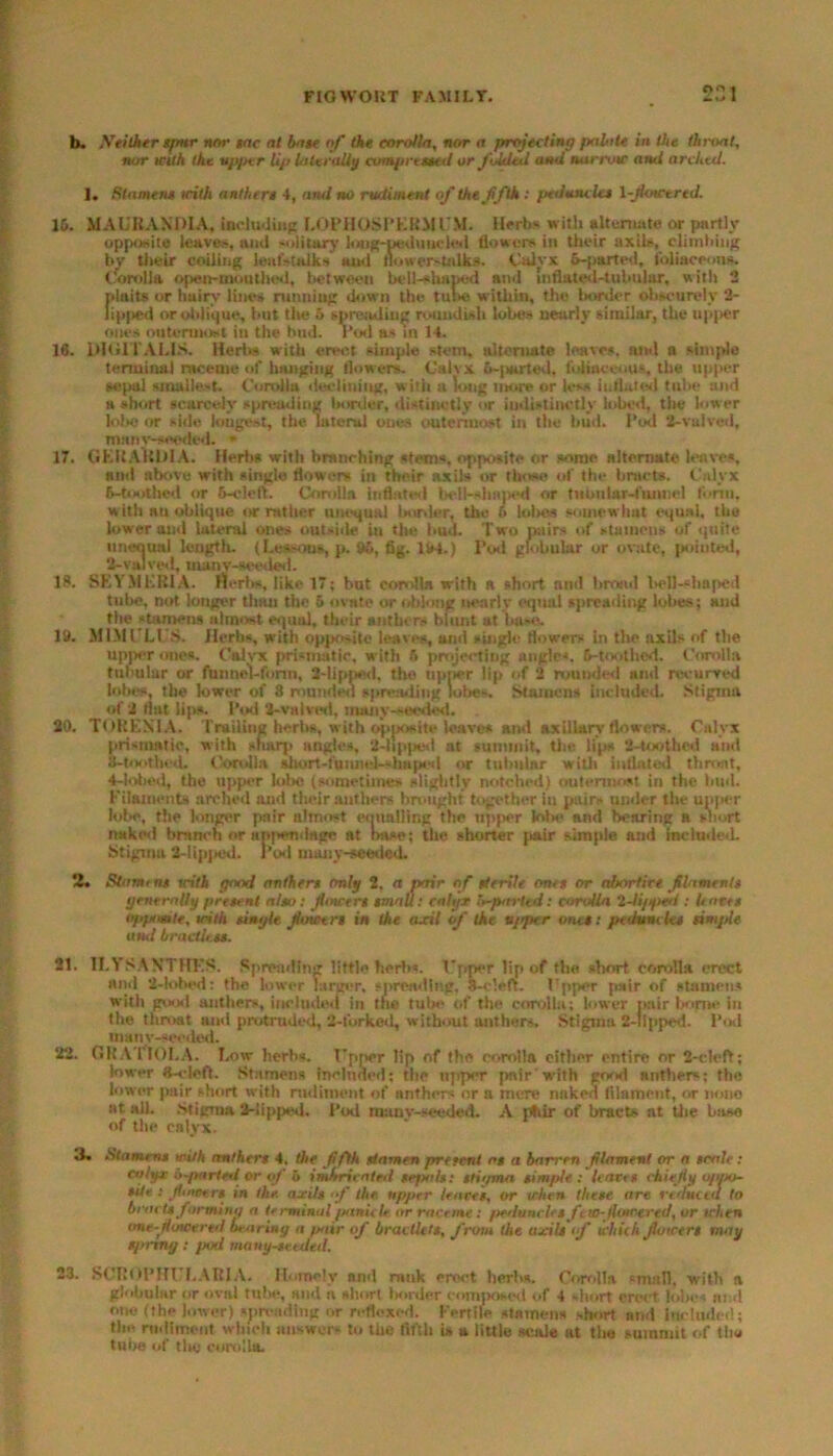 b. Xeilher spur nor sac at base of the corolla, nor a presetting palate in the throat, nor with the upper lip laterally compressed or folded and narrow and arched. 1. Stamens irith anthers 4, and no rudiment of theffth : peduncles \-fowered. lb. MAUKAXDIA, inducing I.OPHOSPERMl'M. Herbs with alternate or partly opposite leaves, ami solitary long-peduncled flowers in their axils, climbing by their coiling leafstalks ami flowers talks. Calyx 6-parted, ioliaceons. Corolla open-mouthed, between bell-shaped and Inflated-tubular, with 2 plaits or hairy lines running down the tube within, the border obscurely 2- lipped or oblique, but the 6 spreading roundish lobes nearly similar, the upper ones outermost in the bud. rod as in 14. 16. DIGITALIS. Herb- with erect simple stem, alternate leaves, and a simple terminal raceme of hanging flowers. (Jalvx 6-parted, foliuceous, the upper sepal smallest. Corolla declining, with a long more or less inflated tube and a short scarcely spreading bonier, distinctly or indistinctly lobed, the lower lobe or side longest, the lateral ones outermost in the bud. Pod 2-vulved, man v-seeded. * 17. GKIIAKDIA. Herbs with branching stems, opposite or some alternate leaves, nml above with single flowers in their axils or those of the bracts. Calyx 6-toothed or 6-cleft. Corolla inflated bell-shaped or tubular-funnel form, with an oblique or rather unequal border, the 6 lobes somewhat equal, the lower and lateral ones outsule in the bud. Two pairs of stamens of quite nneoual length. (Les-uus, p. 96, fig. 194.) Pod globular or ovate, pointed, 2- valved, many-seeded. 18. SEYMERIA. flerba, like 17; but corolla with ft short and brand liell-shaped tube, not longer tlian the 5 ovate or oblong nearly eqtuil spreading lobes; and the stamens almost equal, their anthers blunt at base. 19. M1MULUS. Herbs, with opposite lea ms, and single flowers in the axils of the upper ones. Calvx prismatic, with 6 projecting angles. 6-toothed. Corolla tubular or funnel-form, 2-lipped. Hie tipper lip of 2 rounded anil recurved lobes, the lower of 8 rounded spreading lobes. Stamens included. Stigma of 2 flat lips. Pod 2-valved, many-seeded. 20. TORESIA. Trailing herbs, with opposite leave* and axillary flowers. Calyx prismatic, with sharp angles, 2-lipped at summit, the lips 2-toothed and 3- toothed. Corolla short-funnel—liiqa-d or tubular wiUi inflated throat, 4- lobed, the upper lolie (sometimes slightly notched) outennost in the bud. Filaments arched and their anthers brought together in pair- under the upper lobe, the longer pair almost ecinalling the tipper lobe mid bearing ft sliort naked branch or appendage at base; the shorter pair simple and included. Stigma 2-lipped. Pod many-seeded. 2. Stamm* with good anther* Only 2, a pair of sterile one* or abortive filament* generally present aha: fawer* tmau: calyx b-parted: corolla 2-li/yteil: Imre* opposite, with single Jloweri in the axil of the uitper ones: pedunclet simple and bractless. 21. ILYSANTHKS. Spreading little herbs. Cpper lip of the short cftraTla erect mid 4-lobed: the lower larger, spreading, 3-cleft. I’pper pair of stamens with good anthers, included in the tube of the corolla; lower pair borne in the throat and protruded, 2-forked, without anthers. Stigma 2-llpped. Pod many-seeded. 22. GRATIOI.A. Low herbs. T’pner lip of the corolla cither entire or 2-cleft; lower 8-cleft. Stamens inelnded; the upper pair'with good anthers; the lower pair short with rudiment of anthers nr a mere nuked filament, or nono at all. stigma 2-lipped. Pod munv-seeded. A jrtiir of bracts at the base of the calyx. 3. Stamm* with anthers 4. the fifth stamen present as a barren filament or a scale: calyx bgtartetl or of h indrrieatnl sepals: t/igma simple: leare* chief y opito- *ite : footers in the. axil* of the upper tear**, or when these are reduced to bract* farming a terminal panicle or raceme: peelunclesftUhjlowered, or when tme-fuwered bearing a pair of bractlets, from the axils if which Jlowtrs may tjrnng: pod many-seeded. 23. .SCIIOPHl'LABIA. Homely and rank erect herbs. Corolla small, with a globular or oval tube, and n short lander composed of 4 short greet lobes and one (the lower) spreading or reflexed. Fertile stamens short and included; the rudiment which answers to the fifth is a little scale at the summit of the tube of the corolla.