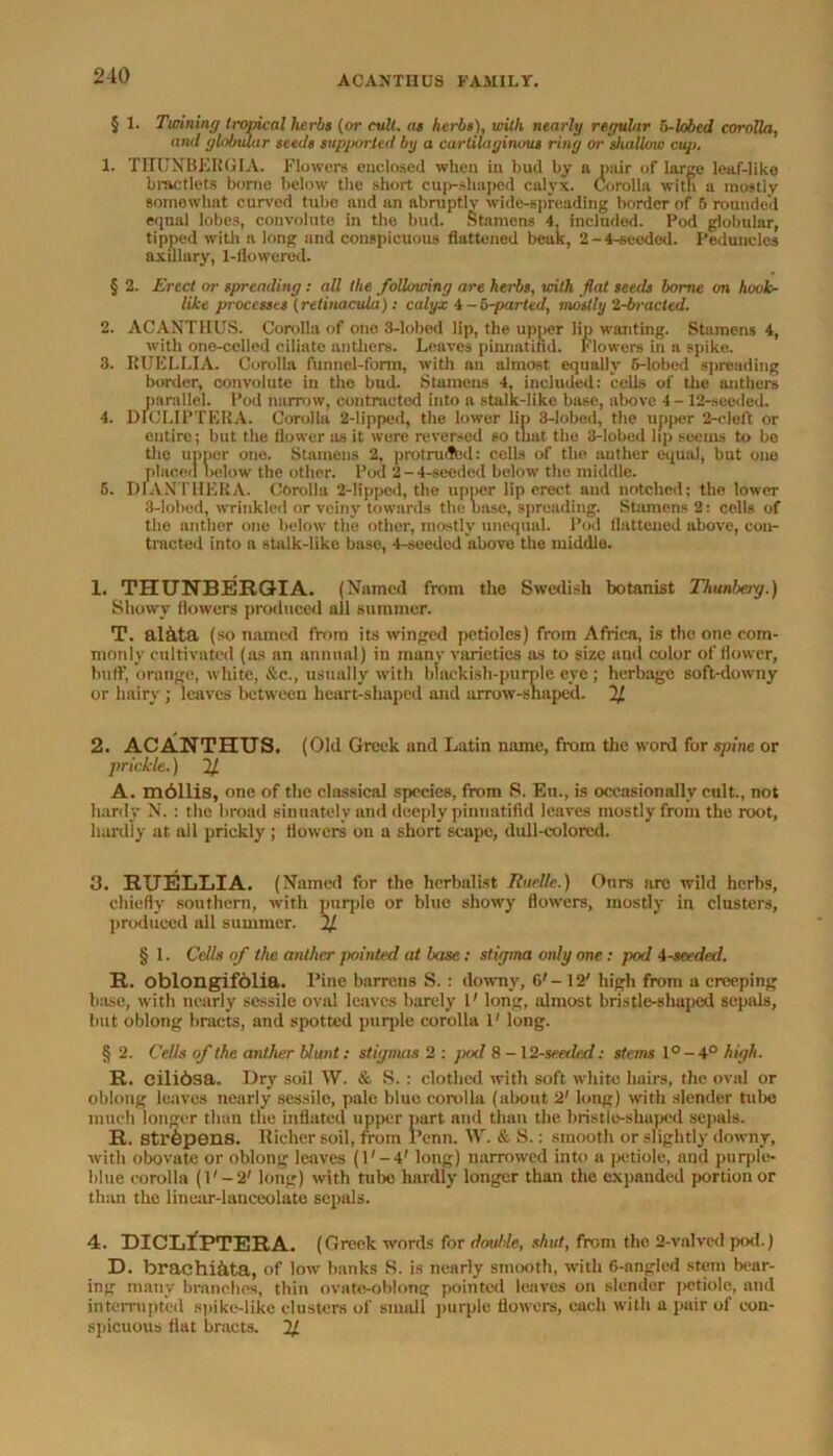 § 1. Twining tropical herbs (or cult, as herbs), with nearly regular b-lobcd corolla, and globular seeds supjxrrled by a cartilaginous ring or shallow cup. 1. THUNBERGIA. Flowers enclosed when in bud by a pair of large leaf-like bractlets borne below the short cup-shaped calyx. Corolla with a mostly somowhat curved tube and an abruptly wide-spreading border of 5 rounded equal lobes, convolute in the bud. Stamens 4, included. Pod globular, tipped with a long and conspicuous flattened beak, 2-4-seeded. Peduncles axillary, 1-flowered. § 2. Erect or spreading: all the following are herbs, with flat seeds borne on hook- like processes (retinacula): calyx 4 - 5-parted, mostly ‘1-bracted. 2. ACANTHUS. Corolla of one 3-lobed lip, the upper lip wanting. Stamens 4, with one-celled ciliate anthers. Leaves pinnatind. Flowers in a spike. 3. RUELLIA. Corolla funnel-form, with an almost equally 5-lobed spreading bonier, convolute in the bud. Stamens 4, included: cells of the anthers parallel. Pod narrow, contracted into a stalk-like base, above 4- 12-secded. 4. DtCLIPTERA. Corolla 2-lipped, the lower lip 3-Iobed, the upper 2-cleft or entire; but the flower :is it wore reversed so that the 3-lobed lip seems to be the upper one. Stamens 2, protruded: cells of the anther equal, but one placed below the other. Pod 2 - 4-seeded below the middle. 5. DLANTHERA. Corolla 2-lipped, the upper lip erect and notched; the lower 3-lobed, wrinkled or veiny towards the base, spreading. Stamens 2: cells of the anther one below the other, mostly unequal. Pod flattened above, con- tracted into a stalk-like base, 4-seeded above the middle. 1. THUNBERGIA. (Named from the Swedish botanist Thunberg.) Showy flowers produced all summer. T. alata (so named from its winged petioles) from Africa, is the one com- monly cultivated (as an annual) in many varieties as to size and color of flower, buff, orange, white, &c., usually with blackish-purple eye ; herbage soft-downy or hairy; leaves between heart-shaped and arrow-shaped. 2J. 2. ACANTHUS. (Old Greek and Latin name, from the word for spine or prickle.) If A. m6IIis, one of the classical species, from S. Eti., is occasionally cult., not hardy N. : the broad sinuately and deeply pinnatifid leaves mostly from the root, hardly at all prickly; flowers on a short scape, dull-colored. 3. RUELLIA. (Named for the herbalist Rncllc.) Ours arc wild herbs, chiefly southern, with purple or blue showy flowers, mostly in clusters, produced all summer. 2/ § 1. Cells of the anther pointed at base: stigma only one: pod 4-seeded. R. oblongifolia. Pine barrens S. : downy, 6'- 12' high from a creeping base, with nearly sessile oval leaves barely 1' long, almost bristle-shaped sepals, but oblong bracts, and spotted purple corolla 1' long. § 2. Cells of the anther blunt: stignms 2 : jiod 8 - 12-seetled: stems l°-4° high. R. eilibsa. Dry soil AY. & S. : clothed with soft white hairs, the oval or oblong leaves nearly sessile, pale blue corolla (about 2' long) with slender tube much longer than the inflated upper part and than the bristle-shaped sepals. R. strbpens. Richer soil, from Penn. AY. & S.: smooth or slightly downy, with obovate or oblong leaves (l'-4' long) narrowed into a petiole, and purple- blue corolla (1' — 2' long) with tube hardly longer than the expanded portion or than the linear-lanceolate sepals. 4. DICLIPTERA. (Greek words for double, shut, from the 2-vnlvcd pod.) D. brachi&ta, of low banks S. is nearly smooth, with 6-angled stem bear- ing many branches, thin ovate-oblong pointed leaves on slender petiole, and interrupted spike-like clusters of small purple flowers, each with a pair of con- spicuous flat bracts. 21