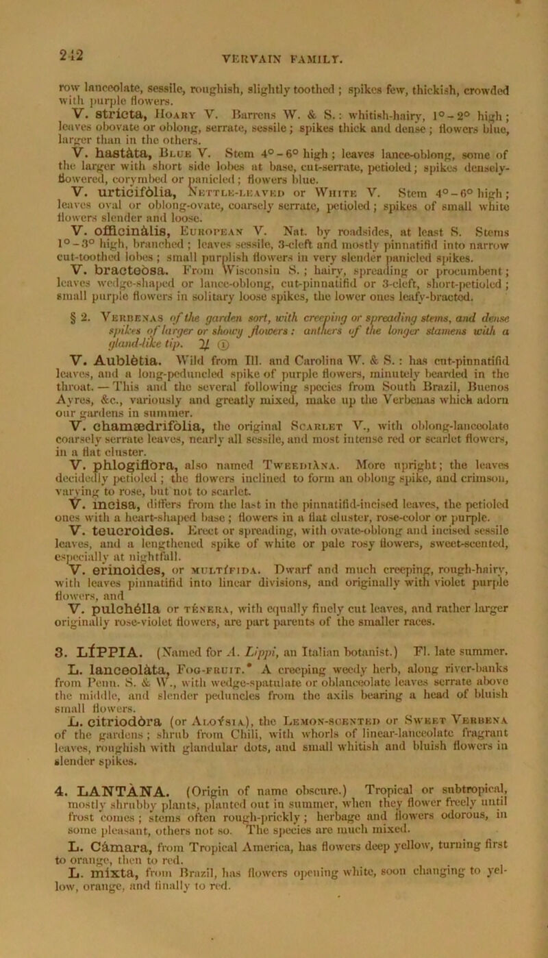 row lanceolate, sessile, roughish, slightly toothed ; spikes few, thickish, crowded with purple flowers. V. StriCta, Hoary V. Barrens W. & S.: whitish-hairy, l°-2° high; leaves obovate or oblong, serrate, sessile ; spikes thick and dense ; flowers blue, larger than in the others. V. hast&ta, Blue V. Stem 4°-6° high; leaves lance-oblong, some of the larger with short side lobes at base, cut-serrate, petioled; spikes densely- flowered, corymbed or panieled; flowers blue. V. urtieifblia, Nettle-leaved or White V. Stem 4°-6° high; leaves oval or oblong-ovate, coarsely serrate, petioled; spikes of small white flowers slender and loose. V. oflicin&lis, European V. Nat. by roadsides, at least S. Stems l°-3° high, branched ; leaves sessile, 3-cleft and mostly pinnatifid into narrow cut-toothed lobes; small purplish flowers in very slender panieled spikes. V. bracteosa. Front Wisconsin S. ; hairy, spreading or procumbent; leaves wedge-shaped or lance-oblong, cut-pinnatifid or 3-cleft, short-petiolcd ; small purple flowers in solitary loose spikes, the lower ones leafv-bractod. § 2. Verdenas of the garden sort, with creeping or spreading stems, and dense Sf likes of larger or showy flowers : anthers of the longer stamens with a gland-like tip. 2/ (J> V. Aublbtia. Wild from 111. and Carolina W. & S.: has ent-pinnatifid leaves, and a long-pcdimcled spike of purple flowers, minutely bearded in the throat. — This and the several following species from South Brazil, Buenos Ayres, &c., variously and greatly mixed, make up the Verbenas which adorn our gardens in summer. V. chamsedrifolia, the original Scarlet V., with oblong-lanceolate coarsely serrate leaves, nearly all sessile, and most intense red or scarlet flowers, in a flat cluster. V. phlogiflora, also named TvceediAxa. More upright; the leaves decidedly petioled ; the flowers inclined to form an oblong spike, and crimson, varying to rose, but not to scarlet. V. incisa, differs from the last in the pinnntifid-ineised leaves, the petioled ones with a heart-shaped base; flowers in a flat cluster, rose-color or purple. V. teucroides. Erect or spreading, with ovate-oblong and incised sessile leaves, and a lengthened spike of white or pale rosy flowers, sweet-seen ted, especially at nightfall. V. erinoides, or multIfida. Dwarf nnd much creeping, rough-hairy, with leaves pinnatifid into linear divisions, and originally with violet purple flowers, and V. pulehblla or TEN'ERA, with equally finely cut leaves, nnd rather larger originally rose-violet flowers, are part parents of the smaller races. 3. LilPPIA. (Named for A. Lippi, an Italian botanist.) FI. late summer. L. laneoolata, Fog-fruit.* A creeping weedy herb, along river-banks from Penn. S. & W., with wedge-spatulate or oblanceolate leaves serrate above the middle, and slender peduncles from the axils bearing a head of bluish small flowers. Xj. citrioddra (or AloYsia), the Demon-scented or Sweet Verbena of the gardens ; shrub from Chili, with whorls of linear-lanceolate fragrant leaves, roughish with glandular dots, and small whitish and bluish flowers in slender spikes. 4. LANTANA. (Origin of name obscure.) Tropical or subtropical, mostly shrubby plants, planted out in summer, when they flower freely until frost comes ; stems often rough-prickly; herbage nnd flowers odorous, in some pleasant, others not so. The species are much mixed. L. Camara, from Tropical America, has flowers deep yellow, turning first to orange, then to red. L. mixta, from Brazil, has (lowers opening white, soon changing to yel- low, orange, and finally to red.