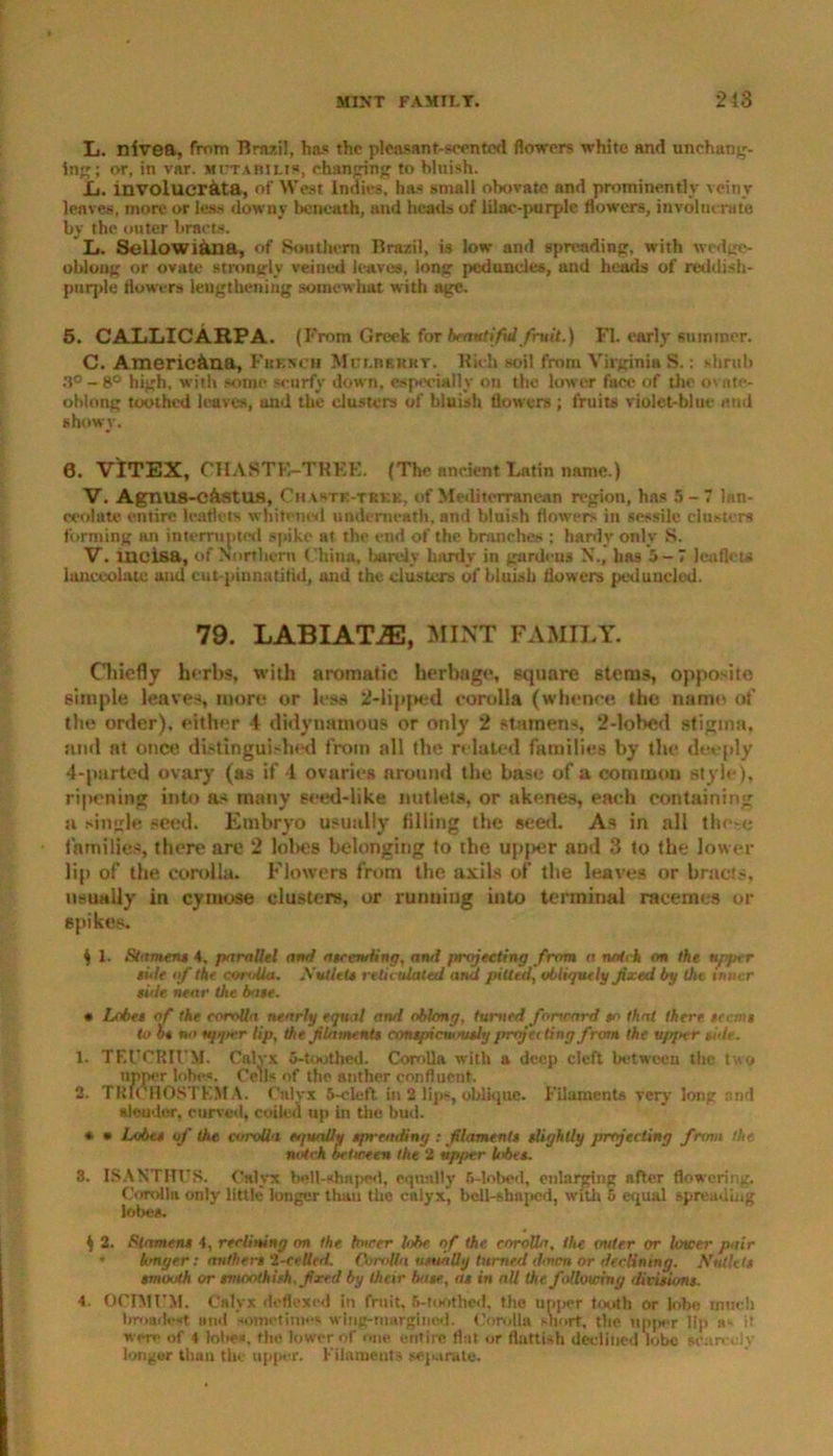 L. nivea, from Brazil, has the pleasant-scented flowers white and unchang- ing; or, in var. mftabilis, changing to bluish. £*. lnvolucrata, of West Indies, has small obovate and prominently veiny leaves, more or less downy beneath, and heads of lilac-purple flowers, involucrate by the outer bracts. L. Sellowi&na, of Sou them Brazil, is low and spreading, with wedge- oblong or ovate strongly veined leaves, long peduncles, and heads of reddish- purple flowers lengthening somewhat with age. 5. CALLICARPA. (From Greek for beautiful fruit.) FI. early summer. C. Americana, Fkkscii Mulbbrht. Rich soil from Virginia S.: shrub 3° -8° high, with some scurfy down, especially on the lower face of the o\ate- oblong toothed leaves, and the clusters of bluish flowers ; fruits violet-blue and showy. 0. VITEX, CHA8TE-TREE. (The ancient Latin name.) V. Agntl8-C&StUS, Chahte-trkk, of Mediterranean region, has 5-7 lan- ceolate entire leaflets whitened underneath, and bluish flowers in sessile clusters forming an interrupted spike at the end of the branches ; hardy only S. V. mcisa, of Northern China, barely hardy in gardens N., has 5-7 leaflets lanceolate and eut-pinnatitid, and the clusters of bluish flowers pcduncled. 79. LABIATiE, MINT FAMILY. Chiefly herbs, with aromatic herbage, square stems, opposite simple leaves, more or less 2-lipped corolla (whence the name of the order), either 4 didynamous or only 2 stamens, 2-lobed stigma, mid at once distinguished from all the related families by the deeply 4-parted ovary (as if 4 ovaries around the base of a common style), ri|>ening into as many seed-like nutlets, or akenes, each containing si single seed. Embryo usually filling the seed. As in all tho-e families, there are 2 lobes belonging to the upper and 3 to the lower lip of the corolla. Flowers from the axils of the leaves or bracts, usually in cymose clusters, or running into terminal racemes or spikes. ) 1. Stamen* 4. parallel ami ateemiing, and projecting from a notch on the up/nr tide of the conAla. Nutlet* reticulated and pitted, obliquely fixed by the inner title near the bate. * Lobe* of the corolla nearly equal and oblong, turned forward to that there tec.mt to b* no upper lip, the filament* eontpicuoutly projecting from the u/qnr tide. 1. TEUCRIl’M. Calyx 5-toothed. Corolla with a deep cleft between the two upper lobes. Cells of the author confluent. 2. TRICHOSTFMA. Cnlvx 5-cleft in 2 lips, oblique. Filaments very long and slender, curved, coiled up in the bud. * * Lobe* of the corolla h/willy spreading : filament* tlightly projecting from the. notch between the 2 upper lobe*. 3. ISANTHFS. Calyx bell-shnped, equally (i-lobcd, enlarging after flowering. Corolla only little longer thau the calyx, bcll-shnpcd, with 5 equal spreading lobes. tj 2. Stament 4, reclining on the tower lobe of the corolla, the outer or lower pair • longer: anther* 2-celled. Corolla usually turned down or declining. Nutlet* tmouth or rmonthish. fired by their bate, at in all (he following divisions. 4. OCIMl'M. Calyx deflexed in fruit, 5-toothed, the upper tooth or lobe much broadest and sometimes wing-margined. Corolla snort, the upper lip a- it wore of 4 lobe«, the lower of one entire flat or fluttish declined lobe scarcely longer than tin upper. Filaments separate.