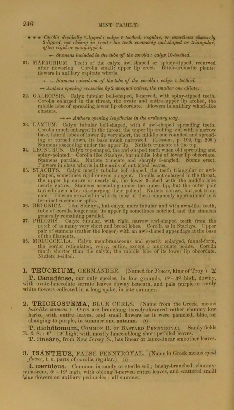* * * Corolla decidedly 2-lipped: calyx 6-toothed, regular, or sometimes obscurely 2-lipped, not closing in fruit: the teeth commonly awl-shaped or triangular, often rigid or spiny-tipped. ■*- Stamens included in the lube of the corolla: calyx 10-toothed. 81. MARRUBIUM. Teeth of the calyx awl-shaped or splney-tipped, recurred after flowering. Corolla small: upper lip erect. Bitter-aromatic plants: flowers in axillary capitate whorls. a- -t- Stamens raised out of the tube of the corolla : calyx b-toothed. +-*• Anthers opening crosswise by 2 unequal voices, the smaller one ciliate. 32. GALEOPSIS. Calyx tubular bell-shaped, 6-nerved, with spiny-tipped teeth. Corolla enlarged in the throat, the ovate and entire upper lip arched, the middle lobe of spreading lower lip obcordate. Flowers in axillary whorl-like clusters. ++ ++ Anthers opening lengthwise in the ordinary way. 33. LAMIl'M. Calyx tubular bell-shaped, with 5 awl-shaped spreading teeth. Corolla much enlarged in the throat, the upper lip arching ana with a narrow base, lateral lobes of lower lip very short, tlie middle one rounded and spread- ing or turned down, its base much narrowed. (Lessons, p. 102, fig. 209.) Stamens ascending under the upper lip. Nutlets truncate at the top. 84. LEONURUS. Calyx top-shaped, the awl-shaped teeth when old spreading and spiny-pointed. Corolla like Stachys, but middle lobe of lower lip obcordate. Stamens parallel. Nutlets truncate and sharply 3-angled. Stems erect. Flowers in close whorls in the axils of cut-lobed leaves. 85. STACHYS. Calyx mostly tubular bell-shaped, the teeth triangular or awl- shaped, sometimes rigid or even pungent. Corolla not enlarged in the throat, the upper lip entire or nearly so, the lower 3-lobed with the middle lobe nearly entire. Stamens ascending under the upper lip, but the outer pair turned down after discharging their pollen! Nutlets obtuse, hut not trun- cate. Flowers crowded in whorls, most of these commonly approximate in a terminal raceme or spike. 36. BETONICA. Like Stachys, but calyx more tubular and with awn-like teeth, tube of corolla longer and its upper lip sometimes notched, and the stamens generally remaining parallel. 37. PHLOMIS. Calyx tubular, with rigid narrow awl-shaped teeth from the notch of as many very short and broad lobes. Corolla as in Stachys. Coper pair of stamens (rather the longer) with an awl-shaped appendage at the base of the filaments. 38. MOLUOOELLA. Calyx membranaceous and greatly enlarged, funnel-form, the border reticulated, veiny, entire, except 5 mucronate points. Corolla much shorter than the calyx; the middle lobe of its lower lip obcordate. Nutlets 3-sided. 1. TEUCRIUM, GERMANDER. (Named for Tcucer, king of Troy.) % T. Canaddnse, our only species, in low grounds, 1° - 3° high, downy, with ovate-lanceolate serrate leaves downy beneath, and pale purple or rarely white flowers collected in a long spike, in lute summer. 2. TRICHOSTEMA, BLUE CURLS. (Name from the Greek, means hair-like slit mens.) Ours are branching loosely-flowered rather clammy low herbs, with entire leaves, and small flowers as it were panicled, blue, or changing to purple, in summer ami autumn. ® T. dichdtomum, Common B. or Bastard Pennyroyal. Sandy fields E. & S.: 6' - 12' high, with mostly lance-oblong short-petioled leaves. T. linefl.ro, from New Jersey S., has linear or lance-linear smoother leaves. 3. ISANTHTTS, FALSE PENNYROYAL. (Name in Greek means equal flower, i. e. parts of corolla regular.) (Y) I. CSerilleu8. Common in sandy or sterile soil; bnshy-branched, clammy- pubescent, 6' - 12' high, with oblong 3-nerved entire leaves, and scattered small blue flowers on axillary peduncles : all summer.