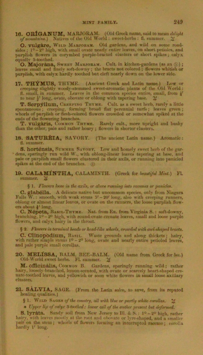 10. ORIGANUM, MARJORAM. (Old Greek name, said to mean delight of mountain*.) Natives of the Old World : sweet-herbs: fl, summer. 2J. O. vulg&re, Wild Marjoram. Old gardens, and wild on some road- sides ; l°-2° high, with small ovate nearly entire leaves, on short petioles, and purplish flowers in corymbed purple-bracted clusters or short spikes; calyx equally 5-toothed. O. Majorana, Sweet Marjoram. Cult, in kitchen-gardens (as an ®); leaves small and finely soft-downy ; the bracts not colored ; flowers whitish or purplish, with calyx hardly toothed but cleft nearly down on tins lower side. 17. THYMUS, THYME. (Ancient Greek and Latin name ) Low or creeping slightly woody-stemmed sweet-aromatic plants of the Old World : fl. small, in summer. Leaves in the common species entire, small, from 4' to near long, ovate, obovate or oblong with tapering base. 21 T. Serpyllum, Creeping Tiitme. Cult, as a sweet herb, rarely a little spontaneous; creeping, forming broad flat perennial turfs; leaves green; whorls of purplish or flesh-colored flowers crowded or somewhat spiked at the ends of the flowering branches. T. VUlg&ris, Common Thyme. Rarely cult., more upright and bushy than the other, pale and rather hoary ; flowers in shorter clusters. 18. SATURfilA, SAVORY. (The ancient Latin name.) Aromatic: 11. summer. S. hortensis, Summer Savort. Low and homely sweet herb of the gar- dens, sparingly run wild W., with oblong-linear leaves lajx-ring at base, and pale or purplish small flowers clustered in their axils, or running into panicled spikes at the end of the branches, (i) 19. CALAMINTHA, CALAMINTH. (Greek for beautiful Mint.) FL summer. 21 § l. Fiouvrs loose in the axils, or above running into racemes or panicles. C. glabella. A delicate native but uncommon species, only from Niagara Falls W.: smooth, with weak stems 5' - 20' long, also with creeping runners, oblong or almost linear loaves, or ovate on the runners, the loose purplish flow- ers about long. C. N6p©ta, Basil-Thyme. Nat. from Ku. from Virginia S.: soft-downy, branching, l°-2° high, with round-ovate eremite leaves, small and loose purple flowers, and calyx hairy in the throat. § 2. Flowers in terminal heads or head-like whorls, minted with avd-shapeil bracts. C. Clinopodium, Basil. Waste grounds and along thickets; hairy, with rnther simple stems 1° - 2° long, ovate and nearly entire pctioled leaves, and pale purple small corollas. 20. MELISSA, BALM, BEE-BALM. (Old name from Greek for bee.) Old-World sweet herbs. FL summer. 21 M. cfficintilts, Common B. Gardens, sparingly running wild ; rather hairy, loosely-branched, lemon-scented, with ovate or scarcely heart-shaped cre- nate toothed leaves, and yellowish or soon white flowers in small loose axillary- clusters. 21. SALVIA, SAGE. (From the Latin saliv, to save, from its reputed liealitig qualities.) § 1. Wild Sages of the country, all icith blue or iwirtly white corollas. 21 * Upper lip of calyx Smoothed: lower cell of the anther present but deformed. S. lyr&ta. Sandy soil from New Jersey to 111. &, S.: 1° - 2° high, rather hairy, with leaves mostly ut the root ami obovate or lyre-shaped, and a smaller pair on the stent; whorls of flowers forming an interrupted raceme; corolla hardly 1' long.