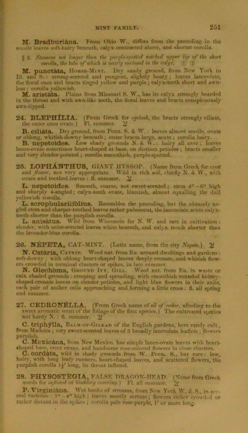M. Bradburi&na. From Ohio W., differs from the preceding in the sessile learn soft-hairy beneath, calyx contracted above, and shorter corolla. § 2. Stamens not lonqer than the jmrple~xpoftrd notched upper Up of the short corolla, the tube of which is near!;/ enrlosed in the calt/i. (?; (§) M. punctata, Horsk-Mimt. Dry sandy ground, from New York to III. anil S. : strong-scented ami pungent, slightly hoary ; leaves lanceolate, the floral ones and bracts tinged yellow and purple ; calyx-teeth short and uwn- less; corolla yellowish. M. aristata. Plains from Missouri S. W., has its calyx strongly bearded in the throat and with awn-like teeth, the lioral leaves and bract* conspicuously awn-tipped. 24. BLEPHiLIA. (From Greek for etptask, the bracts strongly ciliate, the outer ones ovate.) FI. summer. 22 B. ciliata. Dry ground, from Penn. S. &, W.: leaves almost sessile, ovate or oblong, whitish-downy l>encath ; outer bracts large, acute; corolla hairy. B. nepetoldes. Ja»w shady grounds N. &■ W.; hairv all over; leaves lance-ovate sometimes heart-shaped at base, on distinct petioles ; bracts smaller ami very slender-jtointetl; corolla smoothed), purple-spotted. 25. LOPIIANTHUS, GIANT HYSSOP. (Name from Greek for crest and jlower, not very appropriate. Wild in rich soil, chiefly N. & W., with ovate and toothed leaves ; 11. summer. 21 Zi. nepetoides. Smooth, coarse, not sweet-scented ; stem 4° - 6° high and sharply 4-anglcd; calyx-toeth ovale, bluntisb, almost equalling the dull yellowish corolla. L. scropliulariifolius. Resemble* the preceding, but the obtusely an- gled stem and sharper-toothed leaves rather pulicsccnl, the lanceolate acute calyx- teeth shorter than the purplish corolla. L. anisatus. Wild from Wisconsin far N. W. and rare in cultivation : slender, with anise-scented leaves white beneath, and cal) x much shorter than the lavender-blue corolla. 20. NEPETA, CAT-MINT. (Latin name, from the city Nepete.) 22 N. Catttria, Catnip. Weed nat. from Kit. around dwelling.- and gardens: soft-downy ; with oblong heart-sliai>ed leave* deeply crenato, and whitish flow- ers crowded in terminal clusters or spikes, in lute summer. N. Glechoma, Ground Ivr, Gill. Weed nat. from Ett. in waste or cult shaded grounds : creeping and spreading, with smoothish rounded kidnev- shaped crenate leaves on slender petioles, and light blue flowers in their axils, each pair of anther cells approaching and forming a little cross : tl. all spring and summer. 27. CEDRON^LLA. (From Greek name of oil of redar, alluding to the sweet aromatic scent of the foliage of the first species.) The cultivated species not hardy N. : fi. summer. 22 C. triph^lla, Balm-of-Gilead of the English gardens,'here rarely cult., from Madeira ; very sweet-scented leaves of 3 broadly lanceolate leaflets ; ’flowers purplish. C. Mexic&na, from New Mexico, has giniple lance-ovate leaves with heart- shaped base, erect stems, and handsome rose-colored flowers in close clusters. C. cordata, wild in shady grounds from W. Penn. S., but rare: low, hairv, with long leafy runners, lieart-sh*|>ed leaves, and scattered flowers, the purplish corolla 1long, its throat inflated. 28. PHYSOSTEGIA, FALSE DRAGON-HEAD. (Name from Greek words for inflated or trodden/ cow/re/.) El. all summer. 21 P. Virgini&na. Wet banks of streams, from New York W. & S., in sev- eral varieties : 1° -4° high ; leaves mostly serrate; flowers either crowded or rather distant in the spikes ; corolla pale rose-purple, P or more long.