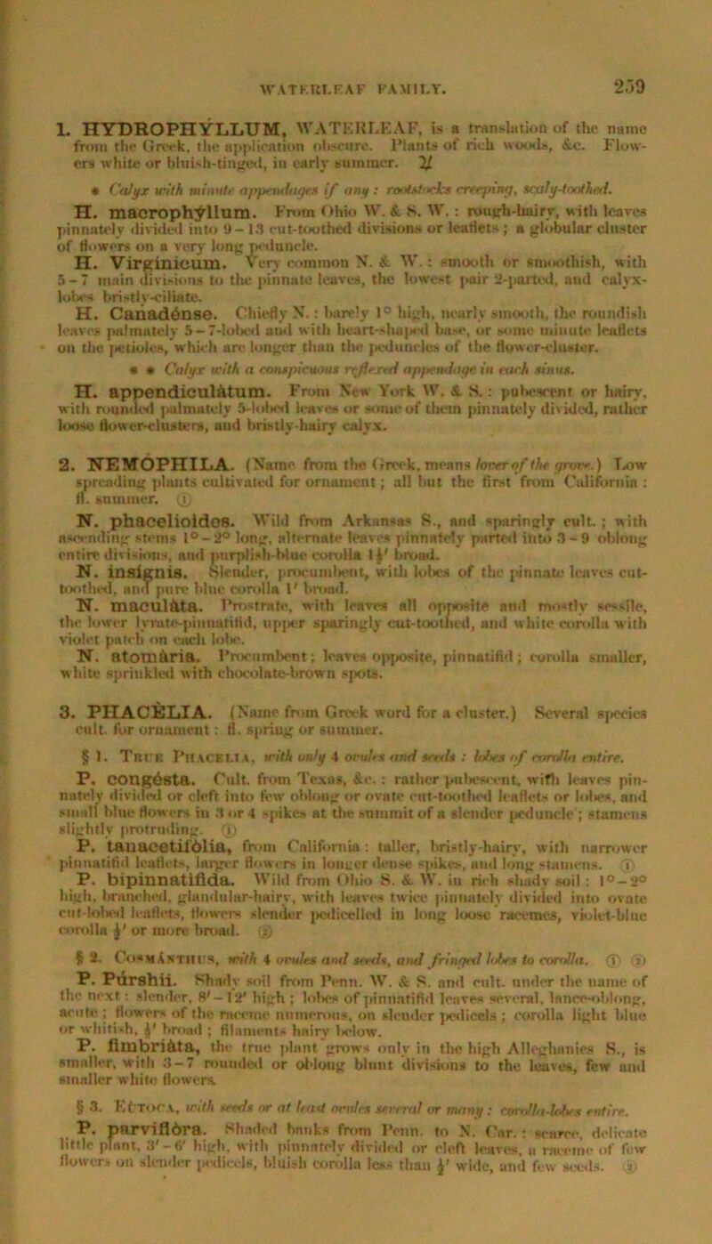 ■WATKltLF.AF FAMIT.Y. 259 L HYDROPHYLLUM, WATERLEAF, is a translation of the name from tlie Greek, the application obscure. Plants of rich woods, &e. Flow- ers white or bluish-tinged, in early summer, 'll * Calyx with minute appendages if any : rootstocks creeping, scaly-toothed. H. macrophYllum. From Ohio W. K. S. W.: rough-bairv, with leaves pinnately divided into 9-13 cut-toothed divisions or leaflets ; a globular elnster of (lowers on a very long peduncle. H. Virginicum. Very common N. & W.: smooth or sinoothish, with 5-7 main divisions to the pinnate leaves, the lowest pair 2-parted, and calyx- lobes bristly-ciliate. H. Caaaddnsc. Chiefly X.: barely 1° high, nearly smooth, the roundish leaves palrnatelv 5 —7-lobetl anil with bout-shaped base, or some minute leaflets on the petioles, which are longer than the peduncles of the flower-cluster. * * Calyx with a conspicuous rrjjextd appendage in each sinus. H. appendiculatum. From New York YY. & S.: pula-scent or lmirv, with rounued palrnatelv 5-lobed leaves or some of them pinnately divided, rather loose flower-clusters, and bristly-hairy calyx. 2. NEMOPHILA. (Name from the Greek, means loverof the grove.) Low spreading plants cultivated for ornament; all hut the first from California : fl. summer. 0 N. phacelioides. Wild from Arkansas S., and sparingly cult ; with ascending stems l°-2° long, alternate leaves pinnately parted into 3-9 oblong entire divisions, and purplish-blue corolla l|( bread. N. insignia. Slender, procumbent, with lobes of the pinnate leaves cut- toothed, and pure bine corolla 1' broad. N. macul&ta. Prostrate, with leaves all opposite and mostly sessile, the lower lyruto-pinnatifid, upper sparingly cot-toothed, and «bile corolla with violet patch on each lobe. N. atomhria. Procumbent; leaves opposite, pinnatifid; corolla smaller, white spriukled with chocolate-brown spots. 3. PIIACELIA. (Name from Greek word for a cluster.) Several species cult, for ornament: fl. spring or summer. § 1. True Phacelia, with only 4 ovules and seeds : lubes of corolla entire. P. COngdsta. Cult, from Texas, &e.: rather pubescent, wifh leaves pin- nately divided or cleft into few oblong or ovate cut-toothed leaflets or IoIk-s, and small blue flowers in 3 or 4 spikes at the summit of a slender peduncle ; stamens slightly- protruding. T) P. tauaectilolia, from California: taller, bristly-hairy, with narrower phmatifid leaflets, larger flowers it) longer dense spikes, and long stamens, i P. bipinnatiflda. YV'ild front Ohio S. & \V. in rich shady soil : l°-20 high, branched, glandular-hairy, with leaves twice pinnately divided into ovate ctrt-lolied leaflets, flowers slender pedicclied in long loose racemes, violet-blue corolla or more broad, (s) §2. Cos m A NTH Its, with 4 modes and seeds, and fringed lobes to corolla. (T> V) P. Ptirshii. Shad y soil from Penn. W. & S. and cult, under the name of the next: slender, 8'-12' high ; lohes of pinnatifid leaves several, lance-oblong, acute ; flowers of the raceme nttmerons, on slender pedicels ; corolla light blue or whitish, J1 broad ; filaments hairy la-low. P. fimbi'ihta, the true plant grows only in the high Alleghanies S., is smaller, with 3-7 rounded or oblong blunt divisions to the leaves, few nnd smaller white flowers. § 3. EfJTOr.v, with seeds or at least ovules several or many : coroHa-lohes entire. P. parviflbra. Shaded banks from IVnn. to N. Car.: scarce, delicate little plant, 3'-6' high, with pinnately divided or cleft leaves, a raceme of few (lowers on slender pedicels, bluish corolla less than wide, and few seeds, ip