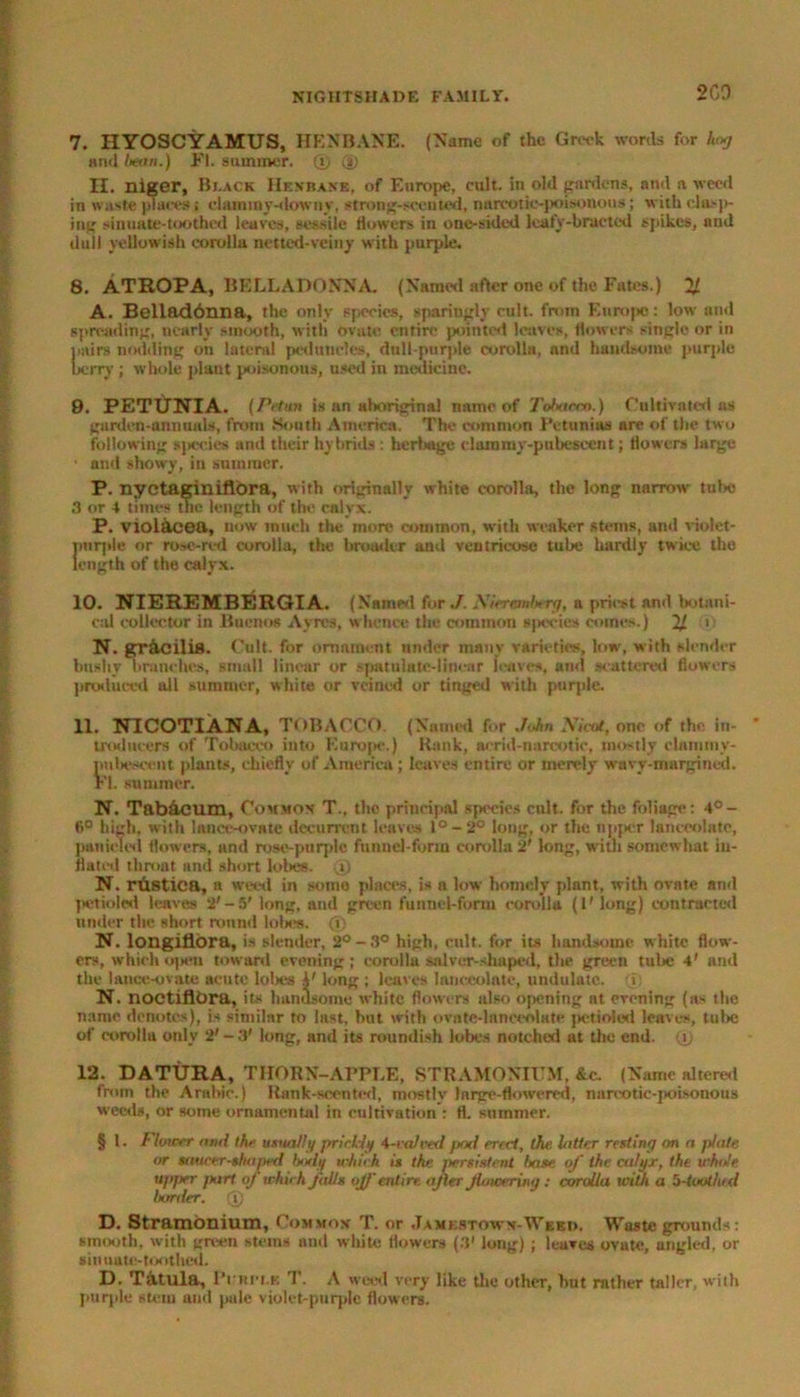 2G0 7. HYOSCYAMUS, HENBANE. (Name of the Greek words for hog and heart.) FI. summer. Q) (i) II. niger, Black Hen-bake, of Europe, cult, in old gardens, and a weed in waste places; clammy-downy, strong-scented, narcotic-poisonous; with clos]>- ing sinuate-toothed leaves, sessile flowers in one-sided lcaty-hracted spikes, and dull yellowish corolla nettcd-vciny with purple. 8. ATROPA, BELLADONNA. (Named after one of the Fates.) % A. Bellod6nna, the only species, sparingly cult, from Europe: low and spreading, nearly smooth, with ovate entire pointed leaves, flowers single or in pairs nodding on lateral peduncles, dull-purple corolla, and handsome purple berry ; whole plant poisonous, used in medicine. 9. PETUNIA. (Petun is an aboriginal name of Tobaeco.) Cultivated as garden-annuals, from South America. The common Petunias are of the two following species and their hybrids : heritage clammy-pubescent; flowers large • and showy, in summer. P. nyetaginiflbra, with originally white corolht, the long narrow tube 3 or 4 times the length of the calyx. P. violaoeu, now touch the more common, with weaker stems, and violet- pnrple or rose-red corolla, the brouder and vemricose tube hardly twice the length of the calyx. 10. NIEREMBERGIA. (Named for./. Niefrnibtrg, a priest and botani- cal collector in Buenos Ayres, whence the common species comes.) 1/ i: N. gracilis. Cult, for ornament under many varieties, low, with slender bushy lirnnehes, small linear or spatnlate-linear leaves, ami scattered flowers produced all summer, white or veined or tinged with purple. 11. NICOTIANA, TOBACCO. (Named for John Meat, one of the in- troducers of Tobacco into Europe.) Rank, acrid-narcotic, mostly clammy- pubescent plants, chiefly of America; leaves entire or merely wavy-margined. FL summer. N. Tab&curn, Common T., the principal species cult, for the foliage: 4°- ti° high, with lance-ovate dccurrcnt leaves l°-2° long, or the upper lanceolate, panicked flowers, and rose-purple funnel-form corolla 2' king, with somewhat in- flated throat and short lobes, i) N. rustics, a weed in soma places, is a low homely plant, with ovate and petioled leaves 2'-5' long, and green funnel-form corolla (I' long) contracted under the short round lobes, (j) N. longitiora, is slender, 2° -3° high, cult, for its handsome, white flow- ers, which open toward evening; corolla salver-shaped, the green tube 4' and the lance-ovate acute lobes A' long ; leaves lanceolate, undulate, i N. noctiflOra, its handsome white flowers also opening nt evening (as the name denotes), is similar to last, but with ovate-lanceolate petioled leaves, tube of corolla only 2' -3' long, and its roundish lobes notched at the end. (i) 12. DATURA, THORN-APPLE, STRAMONIUM, &e. (Name altered from the Arabic.) Rank-scented, mostlv Inrge-flowered, narcotic-poisonous weeds, or some ornamental in cultivation : fl. summer. § 1. Flower and the usually prirUy 4-valved pod erect, the. latter resting on n plate or saucer-shaped body which is the jiersistent base of the calyx, the whole upjter part of which falls off entire after flowering: corolla with a 5-toothed bonier. 0 D. Stramonium, Common T. or Jamestown-Weep. Waste grounds: smooth, with green stems and white flowers (3* long) ; leaves ovate, angled, or sinuate-toothed. D. T&tula, Pi nrr.K. T. A weed very like the other, hut rather taller, with purple stem and pule violet-purple flowers.