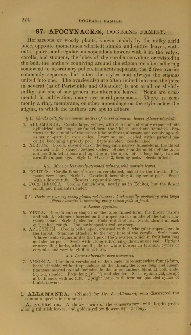87. APOCYNACEiE, DOGBANE FAMILY. Herbaceous or woody plants, known mainly by the milky acrid juice, opposite (sometimes whorled) simple and entire leaves, with- out stipules, and regular monopetalous flowers with d in the calyx, corolla, and stamens, the lobes of the corolla convolute or twisted in the bud, the anthers conniving around the stigma or often adhering somewhat to it, ordinary pollen, filaments separate, the 2 free ovaries commonly separate, but often the styles and always the stigmas united into one. The ovaries also are often united into one, the juice in several (as of Periwinkle and Oleander) is not at all or slightly milky, and one of our genera has alternate leaves. Some are orna- mental in cultivation, many are acrid-poisonous. There is com- monly a ring, membrane, or other appendage on the style below the stigma, to which the anthers are apt to adhere. § 1. Shrubs cull, for ornament, natives of warm climates: leaves oftener whorled. 1. ALL AMANDA. Corolla large, yellow, with short tube abruptly expanded into cylindrical bell-shaped or funnel-form, the 5 lobes broad and rounded. Sta- mens at the summit of the proper tube or throat, alternate and conniving with as many 2-partcd narrow scales. Ovary one and 1-celled, with 2 parietal pla- centae, becoming a prickly pod. Style slender. Seeds nuked. 2. NEL’IL'M. Corolla salvor-form or the long tube narrow funnel-form, the throat crowned with 6 slender-toothed scales. Stamens on the middle of the tube: authors 2-tailed at base and tapering at the apex into a long hairy twisted awn-like appendage. Style 1. Ovaries 2, forming pods. Seeds tufted. § 2. More or less woo<ly-$lemmed twiners, with opposite leaves. 8. ECHITES. Corolla funnel-form or salver-shaped, naked in the throat. Fila- ments very short. Style 1. Ovaries 2, becoming 2 long terete pods. Seeds with a downv tuft. Flowers large and showy, 4. FORSTERON'f A. Corolla funnel-form, nearly as in Echites, hut the flower small, and filaments slender. § 3. Tlerhs or scarcely woody plants, not twiners: bark usually abounding with tough fibres: ovaries 2, becoming many-seeded jxkIs in fruit. * Leaves opposite. 5. VINCA. Corolla saiver-shaped or the tube funnel-form, the throat narrow and naked. Stamens inserted on the upper part or middle of the tube: fila- ments short. Style 1, slender. Pods rather short. Seeds abrupt at each end, naked, rough. The hardy species trail or creep. 6. APOCYNUM. Corolla bell-shaped, crowned with 6 triangular appendages in the throat. Stamens attached to the very base of the corolla. Style none. A large ovate stigma unites the tips of the* 2 ovaries, which in fruit form long and slender pods. Seeds with a long tuft of silky down at one end. Upright or ascending herbs, with small pale or white flowors in terminal cymes or corymbs, and very tough fibrous bark. * * Leaves alternate, very numerous. 7. AMSONIA. Corolla salver-shaped or the slender tuba somowhat funnel-form, bearded inside, without appendages at the throat, the lobes long and linear. Stamens inserted on and included in the tube: anthers blunt at both ends. Stvle 1, slender. Pods long (4'-O') and slender. Seeds cylindrical, abrupt at’both ends, with no tuft. Upright herbs, witli terminal panicled cymes of bluish flowers. 1. ALLAMANDA. (Named for Dr. F. Allamand, who discovered the common species in Guiana.) A. cathartica. A showy shrub of the conservatory, with bright green oblong thinnish leaves, and goklen-ycllow flowers 2V-3' long.
