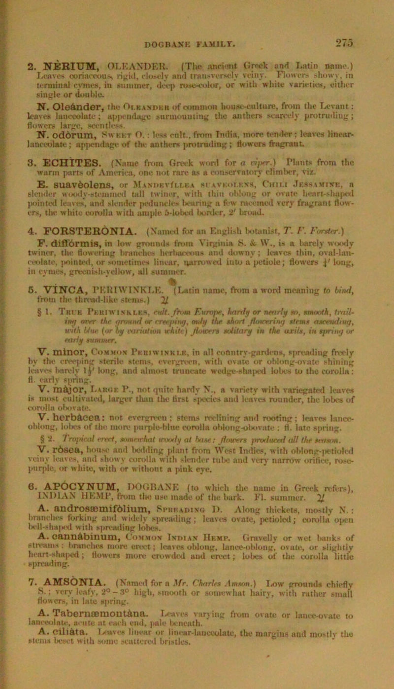 2. NERIUM, OLEANDER. (The anriient Greek and Latin name.) Leaves coriaceous rigid, closely and transversely veiny. Flowers showy, in terminal evnies, in summer, deep ruse-color, or with white varieties, either single or double. N. Oleander, the Oi.kandbr of common house-culture, from the Levant: leaves lanceolate; appendage surmounting the anthers scarcely protrudiug; flowers large, scentless. N. odorum. Sweet O.: less cult., from India, more tender ; leaves linear- lanceolate ; apjtendnpe of the anthers protruding ; flowers fragrant. 3. ECHITES. (Name from Greek word for a rijter.) Plants from the warm parts of America, one not rare as a conservatory climber, viz. E. suav6olens, or M\in»KvfM.EA si avk.oi.kvs, ('him Jessimive, a slender woody-stemmed tall twiner, with thin oblong or ovate heart-shaped pointed leaves, and slender peduncles bearing a few recoined very fragrant flow- ers, the white corolla with ample 6-iobed bonier, i' broad. 4. FORSTERONIA. (Named for an English botanist, T. F. Forster.) F. diffbrmia, in low grounds from Virginia S. & \V., is a barely woody twiner, the flowering branches herbaceous and downy ; leaves thin, oval-lan- ceolate, ] stinted, or sometimes linear, narrowed into a petiole; flowers long, in cymes, greenish-yellow, all summer. 5. VINCA, PERIWINKLE. (Latin name, from a word meaning to bind, from the thread-like stems.) 21 § 1. Truk Periwinkles, cult, from Europe, harrly or nearly so, smooth, trail- ing over the mound or creeping, only it* short flowering stems ascending, until blue {or by variation white) Jiowers solitary in the axils, in sirring or early summer. V. minor, Common Periwinkle, in all conn try-gardens, spreading freely by the creeping sterile stems, evergreen, with ovate or oblong-ovate shining leaves barely 1 J' long, and almost truncate wedge-shaped lobes to the corolla: fl. early spring. V. m&jor, Laboe 1’., not quite hardy N., a variety with variegated leaves is most cultivated, larger titan the first species and leaves rounder, the lobes of corolla obovate. V. herb&cen: not evergreen; stems reclining and rooting; leaves lance- oblong, lobes of the more purple-blue corolla ohlong-o borate : fl. late spring. § ‘2. 7 Topical erect, somewhat inxsly at base: Jiowers producer! all the season. V. rbsea, house and bedding plant from West Indies, with oblong-petioled veiny leaves, and showy corolla with slender tulte and very narrow orifice, rose- jtiirple, or white, with or without a pink eye. 6. APOCYNUM, DOGBANE (to which the name in Greek refers), INDIAN HEMP, from the use made of the bark. Fl. summer. % A. androsaemifblium, Spreading D. Along thickets, mostly N.: branches forking and widely spreading; leaves ovate, petkded; corolla open bell-shaped with spreading lobes. A. cann&binum, Common Indian Hemp. Gravelly or wet banks of streams : branches more erect; leaves oblong, lanee-ohlong, ovate, or slightly heart-shaped ; flowers more crowded and erect; lobes of the corolla little spreading'. 7. AMSONIA. (Named for a Mr. Charles Amson.) Low grounds ehieflv S.; very leafy, 2°-3° high, smooth or somewhat hairy, with rather small flowers, in late spring. A. TaberncemontAna. Leaves varying from ovate or lance-ovate to lanceolate, acute at each end, pale beneath. A. oiliata. Leaves linear or lincar-huiceolate, the margins and inostlv the stems I>cset with some scattered bristles.