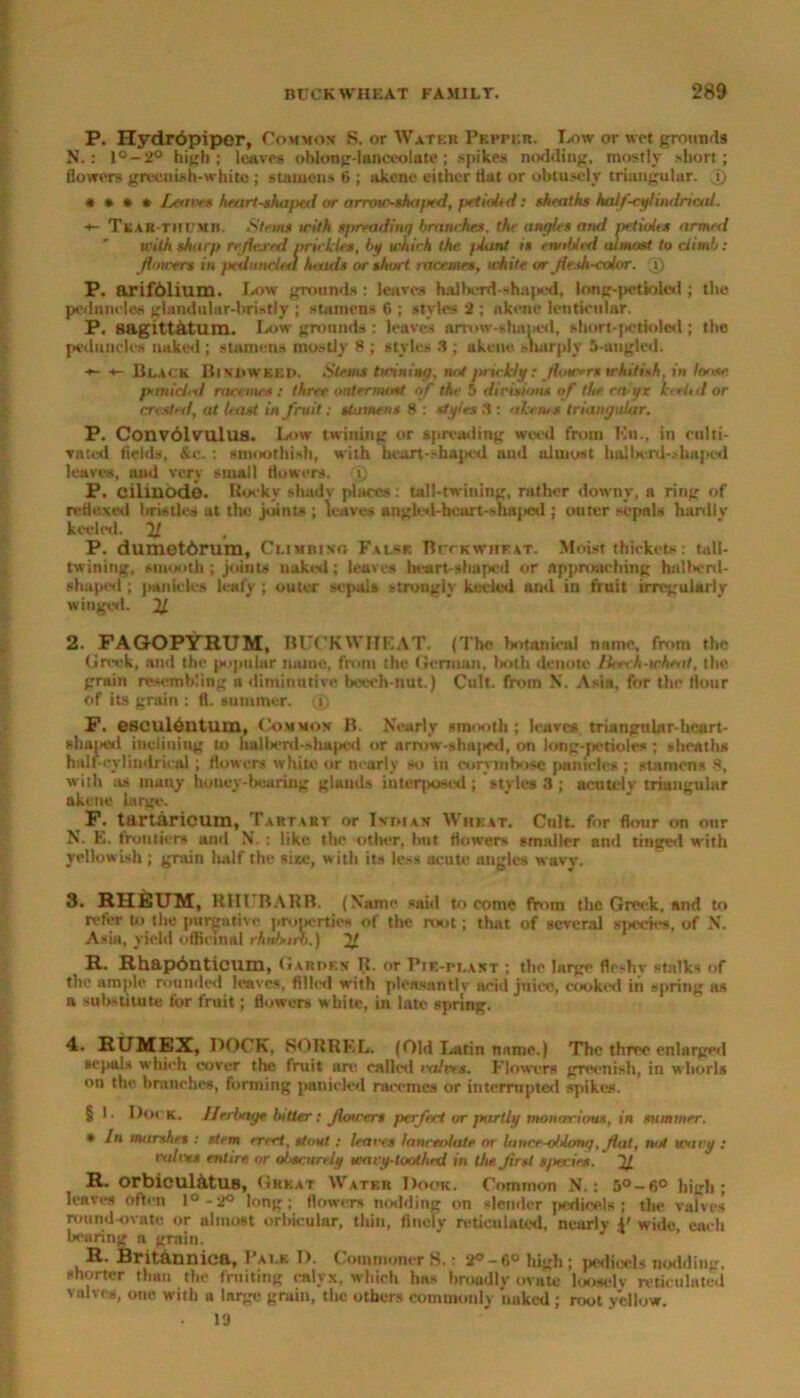 P. HycLr6piper, Common S. or Water Pepper. Low or wet ground* N.: l°-2° high; leave* oblong-lanceolate; spikes nodding, mostly short; flowers greenish-white ; stamens 6 ; akene either flat or obtusely triangular. JJ * • » * Leaves heart-shaped or arrov\shaped, petioled: sheaths half-cylindrical. TeaB-TIIUMB. Stem* with s/rreading hranrhes, the angles and petioles armed ' with sharp re flexed prickles, by which the /Lint is enabled almost, to climb: flower* in ptdundea heads or short racemes, white or flesh-color, j) P. arifolium. Low grounds : leaves haiberd-shaped, long-petioled; the peduncles glandular-bristly ; stamens 0 ; styles 2 ; akene lenticular. P. sagittAtum. Low grounds : leaves arrow-shaped, short-jietioled; the peduncle* naked ; stamens mostly 8 ; styles 3 ; akene sharply 5-angled. ■*- Black Bindweed. Stems tinning, not prickly: flours whitish, in loose, pimicted racemes : three outermost of the 5 divisions of the. calyx keeUd or crested, at least in fruit: stamens 8 : styles 3 : akene* triangular. P. Convolvulus. Low twilling or spreading weed from Kn., in culti- vated fields, &c.: snioothish, with heart--haped and almost halberd-shaped leaves, and very small flowers. >; P. cilmodo. Rocky shadv places: tail-twining, rather downy, a ring of reflexed bristles at the joints ; leaves angled-heart-shaped ; outer sepals hardly keeled. 11 , P. dumetdrum, Climbing False Buckwheat. Moist thickets: toll- twining, smooth ; joints naked ; leaves heart-shaped or approaching halberd- shaped ; panicles leafy ; outer sepals strongly keeled and in fruit irregularly winged. JJ. 2. FAGOPYRUM, BUCKWHEAT. (The botanical name, from the Greek, and the popular name, from the German, both denote lleech-wheat, the grain resembling a diminutive beech-nut.) Cult, from X. Asia, for the flour of its grain : ft. summer, (i) F. esoulentum, Common B. Nearly smooth; leaves triangular-heart- shaped inclining to hallard-shupcd or arrow-sh«|»ed, on long-petioles ; sheaths half-cylindrical; flowers white or nearly so in corymbose panicles ; stamens 8, with as inuny honey-bearing glands interposed; styles 3 ; acutely triangular akene large1. F. tariaricum, Tartart or Indian Wheat. Cnlt. for flour on our N. E. frontiers and N. : like the other, but flowers smaller and tinged with yellowish ; grain half the site, with its less acute angles wavy. 3* RHEUM, RHl BARB. (Name said to come from the Greek, and to refer to the purgative properties of the root; that of several sjiecies. of N. Asia, yield officinal rhubarb.) 11 R. Rhapdnticum, Garden R. or T’je-plant ; the large fleshv stalks of the ample rounded leaves, filled with pleasantly acid juice, cooked in spring as a substitute for fruit; flowers white, in late spring. 4. RUMEX, DOCK, SORREL. (Old Latin name.) The three enlarged sepals which cover the fruit are called rains. Flower* greenish, in whorl* on the branches, forming panicled racemes or interrupted spikes. § I. Dock. Herbage bitter: fiouers perfect or partly monarious, in summer. * In marshes : stem erect, stout : leaves lanceolate or lance-oblong, flat, not wavy : valves entire or obscurely wavy-toothed in the first sjiecies. 1J. R. orbieuldtUB, Great Water Dook. Common N.: 5°-6° high; leaves often 1° - 2° long; flowers nodding on slender pedicels; the valves round-ovate or almost orbicular, thin, finely reticulated, nearly $' wide, each bearing a grain. H- Brit&nniea, I’ai.k I). Commoner 8.; 2°-6° high; pedicels nodding, shorter than the frniting calyx, which has broudly ovate loosely reticulated valves, one with a large grain, the others commonly naked ; root yellow. . 19