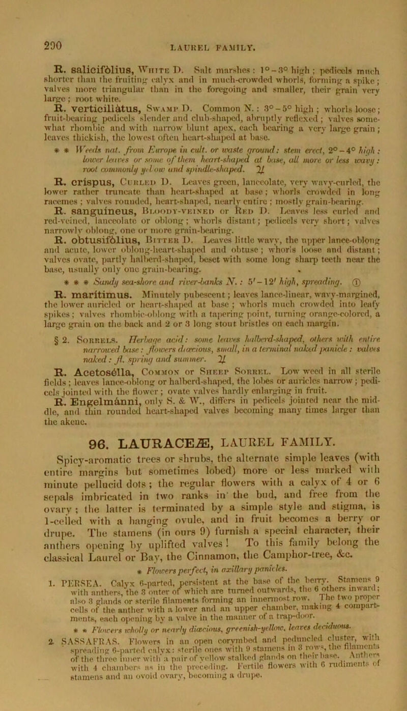 R. salieif61ius, White I). Suit marshes: l°-8° hijrh ; pedicels mnch shorter than the fruiting ealvx and in much-crowded whorls, forming a spike; valves more triangular than in the foregoing and smaller, their grain very large; root white. R. verticil! &tus, Swamp D. Common N.: 3° -5° high; whorls loose; fruit-bearing pedicels slender and club-shaped, abruptly reflexed ; valves some- what rhombic and with narrow blunt apex, each bearing a very large grnin ; leaves thickish, the lowest often heart-shaped at base. * * Weed* nat. from Europe in cull, or miste ground: stem erect, 2°-4° high: lower leaves or snute of them heart-shaped at base, all more or less wavy: root commonly yd out and spindle-shaped. 2/ R. crispus, Curled D. Leaves green, lanceolate, very wavy-curled, the lower rather truncate, than heart-shaped at base; whorls crowded in long racemes ; valves rounded, heart-shaped, nearly entire ; mostly grain-bearing. R. sanguineus, Bloody-veined or Red D. Leaves less curled and red-veined, lanceolate or oblong; whorls distant; pedicels very short; valves narrowly oblong, one or more grain-bearing. R. obtusif61ius, Bitter 1). Leaves little wavy, the upper lance-oblong and acute, lower oblong-heart-shaped and obtuse; whorls loose and distant; valves ovate, partly halite rd-shaped, beset with some long sharp teeth near the base, usually only one grain-bearing. * * * Sandy seashore and river-banks N.: 5'-12' high, spreading. ® R. maritimus. Minutely pubescent; leaves lance-linear, wavy-mnrgined, the lower auriclcd or heart-shaped at base ; whorls much crowded into leafy spikes ; valves rhombic-oblong with a tapering point, turning orange-colored, a large grain on the back and 2 or 3 long stout bristles on each margin. § 2. Sorrels. Fferbage acid: some leaves htdberd-shapcd, others with entire narrowed base: flowers dioecious, small, in a terminal naked jxmide: minis naked: Jl. spring and summer. If R. Acetosdilla, Common or Sheep Sorrel. Low weed in all sterile fields ; leaves lance-oblong or halberd-shaped, the lobes or auricles narrow; pedi- cels jointed with the flower ; ovate valves hardly enlarging in fruit. R. Engelmanni, only S. & W., differs in pedicels jointed near the mid- dle, and thin rounded heart-shaped valves becoming many times larger than the akeuc. 96. LAURACEiE, LAUREL FAMILY. Spicy-aromatic trees or shrubs, the alternafe simple leaves (with entire margins but sometimes lobed) more or less marked with minute pellucid dots ; the regular flowers with a calyx of 4 or (5 sepals imbricated in two ranks in' the bud, and free from the ovary ; the latter is terminated by a simple style and stigma, is 1-ceiled with a banging ovule, and in fruit becomes a berry or drupe. The stamens (in ours 9) furnish a special character, their anthers opening by uplifted valves ! To this family belong the classical Laurel or Bav, the Cinnamon, the Camphor-tree, &c. * Flowers perfect, in axillary panicles. 1. PERSE A. Calyx 6-parted, persistent at the base of the berry- Stamens 9 with anthers, the 8 outer of which are turned outwards, the 6 others inward; also 3 glands or sterile filaments forming an innermost row. I he two proper cells of the anther with a lower and an upper chamber, making 4 compart- ments, each opening by a valve in the manner of a trap-door. * * Flowers wholly or nearly dioecious, greenish-yellow, leaves deciduous. 2. SASSAFRAS. Flowers in an open corvmbed and poduncled cluster, with spreading 6-parted ealvx: sterile ones with 9 stamens m 3 rows, the filaments of the tiiree inner with’a pnirof yellow stalked glands on their base. Anthers with 1 chambers as in the preceding. Fertile flowers with 6 rudiments o stamens and an ovoid ovary, becoming a drupe.