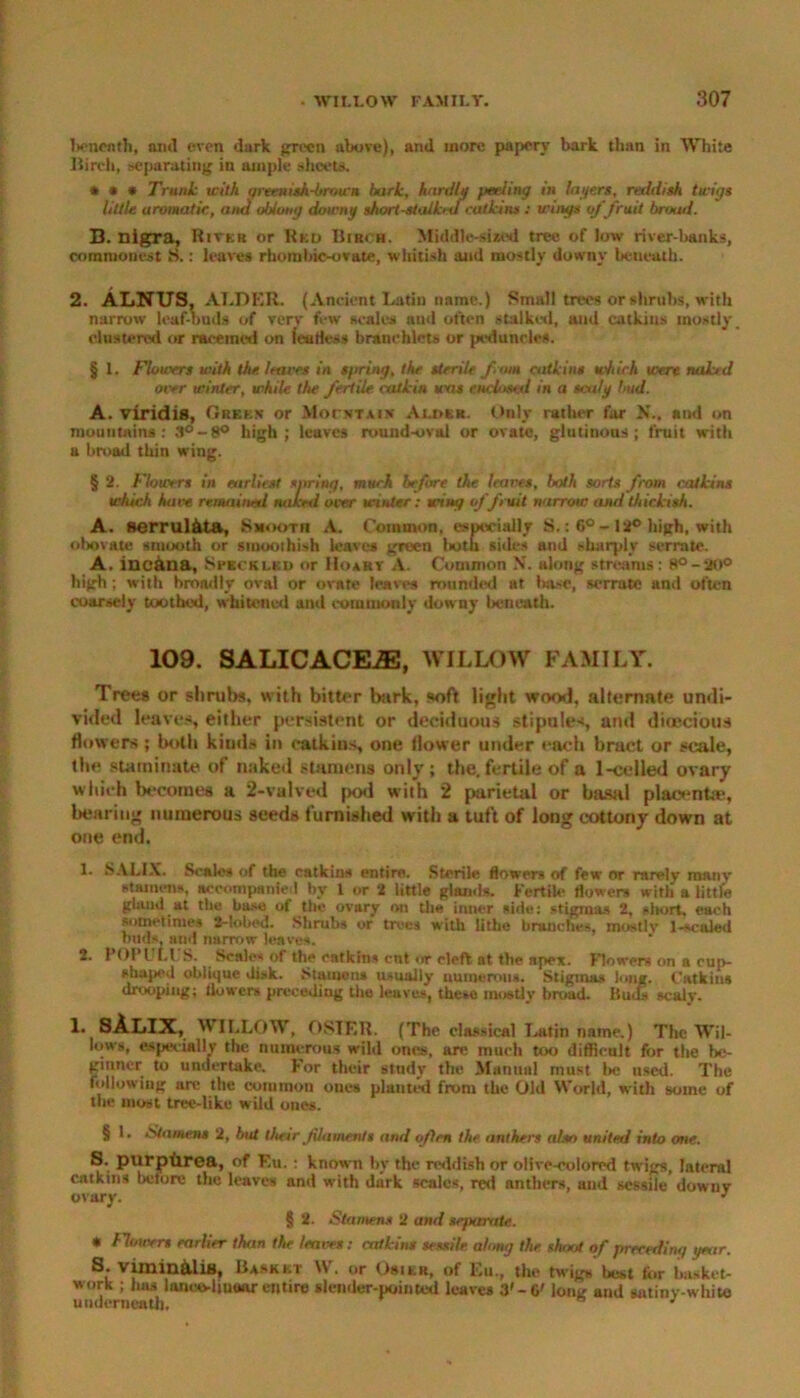 beneath, and even dark preen above), and more papery bark than in White Birch, separating in ample sheets. * » * Trunk with qreenish-brown bark, hardly peeking in layers, reddish twigs little aromatic, and oblong downy short-stalkulcalkins : wings of fruit broad. B. nigra, River or Red Birch. Middle-sized tree of low river-banks, commonest S.: leaves rhombic-ovate, whitish and mostly downy beneath. 2. ALNUS. ALDER. (Ancient Latin name.) Small trees or shrubs, with narrow leaf-buds of very few scales and often stalked, and catkins mostly. clustered or raceinotl on feu Hess branehlets or peduncles. § 1. Flowers with the leaves in spring, the sterile f ans catkins which were naktd over winter, while the fertile, catkin tins enclosed in a scaly bud. A. viridis, Greks or Motetaiv Alder. Only rather far N., and on mountains: 3°-8° high; leaves round-oval or ovate, glutinous; fruit with a broad thin wing. § 2. Flowers in earliest spring, much before the leaves, both sorts from catkins which have remained naked over winter: wing of fruit narrow and thickish. A. serrul&ta, Smooth A. Common, especially S.: 6° - 12° high, with obovate smooth or stnoothish leaves green both sides and sharply serrate. A. ineana, Speckled or Ho let A. Common N. along streams: 8°-ao° high; with broadly oval or ovate leaves rounded at base, serrate and often coarsely toothed, whitened and commonly downy beneath. 109. SALICACE2E, WILLOW FAMILY. Tree* or shrubs, with bitter bark, soft light wood, alternate undi- vided leaves, either persistent or deciduous stipules, and diiKcious flowers ; both kiuds in catkins, one flower under each bract or scale, the starninate of naked stamens only; the. fertile of a 1-celled ovary which becomes a 2-valved pod with 2 parietal or basal placenta?, bearing numerous seeds furnished with a tuft of long cottony down at one end. 1. SALIX. Seales of the catkins entire. Sterile flowers of few or rarely many stamens, accompanied by 1 or 2 little glands. Fertile flowers with a little gland at the base of the ovary on the inner side: stigmas 2, short, each sometimes 2-lobed. Shrubs or trees with lithe branches, mostly 1-scaled buds, and narrow leaves. 2. I’Oll 1.1 S. Scales of the catkins cut <,r cleft at the apex. Flowers on a cup- shaped oblique disk. Stamens usually numerous. Stigmas long. Catkins drooping; flowers preceding the leaves, these mostly broad. Runs scaly. 1. SALIX, B ILLOW, OSIER. (The classical Latin name.) The Wil- lows, especially the numerous wild ones, are much too difficult for the be- ginner to undertake. For their study the Mumnil must be used. The following arc the common ones planted from the Old World, with some of the most tree-like wild ones. § 1. Stamens 2, but their filaments and often the anthers also united into one. S. purpbrea, of Eu. : known by the reddish or olive-colored twigs, lateral catkins before the leave* and with diirk scales, red anthers, and sessile downv ovary. 1 * * * S. § 2. Stamens 2 and separate. * flowers earlier than the leaves: catkins sessile along the shoot of preceding year. S. Vimin&liH, Basket \Y\ or Osier, of Eu., the twigs best tor basket- work ; bus lanco-liuuar entire slender-pointed leaves 3'-6' long and sntinv-white underneath, n j