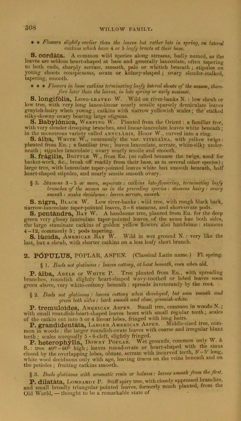 * * Flowers slightly earlier than the leaves hut rather late in spring, on lateral catkins which have 4 or 5 leafy bracts at their base. S. cord&ta. A common wild species along streams, badly named, as the leaves are seldom heart-shaped at base and generally lanceolate, often tapering to both ends, sharply serrate, smooth, pale or whitish beneath ; stipules on young shoots conspicuous, ovate or kidney-shaped ; ovary slender-stalked, tapering, smooth. * * * Flowers in loose catkins terminating leafy latiral shoots of the season, there- fore later than the leaves, in lute spring or early summer. S. longifdlia, Long-leaved W. Wild on river-banks N.: low shrub or low tree, with very long lance-linear nearly sessile sparsely denticulate leaves grayish-lmiry when young; catkins with narrow yellowish scales; tlie'stalked silky-downy ovary bearing large stigmas. S. Babyldnica, Weeping W. Planted from the Orient: a familiar tree, with very slender drooping branches, and linear-lanceolate leaves white beneath ; in the monstrous variety called annulXuis, Hoop W., curved into a ring. S. alba, White W., commonly the var. vitellIna, with yellow twigs: planted from Eu.; a familiar tree; leaves lanceolate, serrate, white-silky under- neath ; stipules lanceolate ; ovary nearly sessile and smooth. S. fragilis, Brittle W., from Eu. (so called because the twigg, used for basket-work, &c., break off' readily from their base, as in several other species); large tree, with lanceolate taper-pointed leaves white but smooth beneath, half heart-shaped stipules, and nearly sessile smooth ovary. §3. Stamens 3-5 or more, separate: catkins late-fowcring, terminating leafy branches of the season as in the preceding sjiecies: stamens hairy: ovary smooth : scales deciduous: leaves serrate, smooth. S. nigra. Black W. Low river-banks : wild tree, with rough black bark, narrow-lanceolate taper-pointed leaves, 3-6 stamens, and short-ovate pods. S. pentandra, Bay W. A handsome tree, planted from Eu. for the deep green very glossy lanceolate taper-pointed leaves, of the same hue both sides, the large staminate catkins of goluen yellow flowers also handsome: stamens 4-12, commonly 5 ; pods tapering. S. lucida, American Bay W. Wild in wet ground N.: very like the last, but a shrub, with shorter catkins on a less leafy short branch. 2. PbPULUS, POPLAR, ASPEN. (Classical Latin name.) FI. spring. § 1. Buds not glutinous : leaves cottony, at least beneath, even when old. P. &lba, Abele or White P. Tree planted from Eu., with spreading branches, roundish slightly heart-shaped wavy-toothed or lobed leaves soon green above, very white-cottony beneath : spreads inveterately by the root. § 2. Buds not glutinous : leaves cottony when developed, but soon smooth and green both sides: bark smooth and close, greenish-white. P. tremuloides, American Aspen. Small tree, common in woods N.; with small roundish-heart-snaped leaves beset with small regular teeth; scales of the catkin cut into 3 or 4 linear lobes, fringed with long hairs. P. grandidentkta, Larger American Aspen. Middle-sized tree, com- mon in woods : the larger roundish-ovate leaves with coarse and irregular blunt teeth ; scales unequally 5 - 6-cleft, slightly fringed. P. heteroph^lla, Downy Poplar. Wet grounds, common only W. Ac S. : tree 40° - 60° high; leaves round-ovate or heart-shaped with the, sinus closed by the overlapping lobes, obtuse, serrate with incurved teeth, 3'-5 long, white wool deciduous only with age, leaving traces on the veins beneath and on the petioles ; fruiting catkins smooth. § 3. Burls glutinous with aromatic resin or ludsam: leaves smooth from the fist. P. dilathta, Lomhardy P. Stiff spiry tree, with closely nppressed branches, and small broadly triangular pointed leaves, formerly much planted, from the Old World, — thought to be a remarkable state of