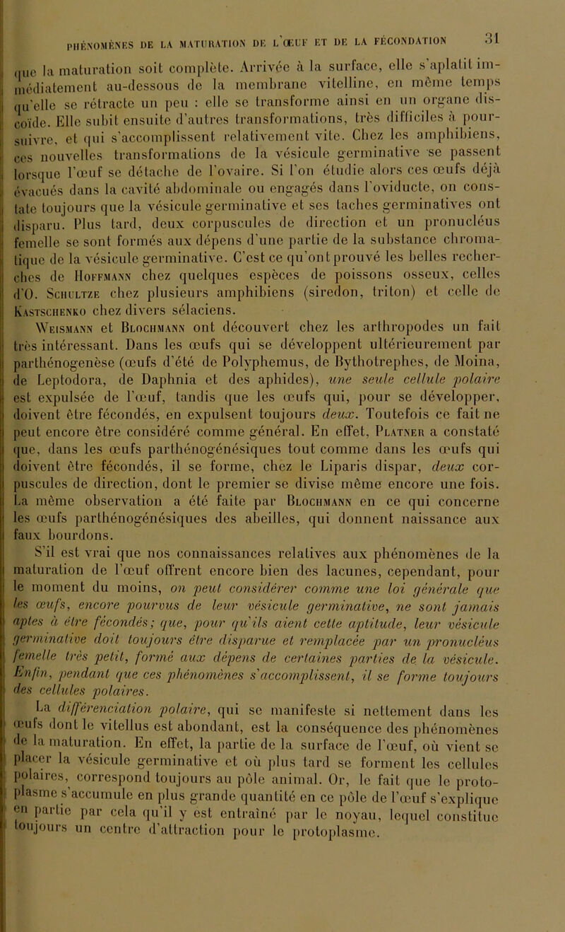 qUe la maturation soit complete. Arrivee ä la surface, eile s’aplatitim- mediatement au-dessous de la membranc vitclline, cn mürne temps qu'elle se retracte un peu : eile se Iransforme ainsi en un Organe dis- coTde. Elle subit ensuite d’autres Iransformalions, tres diIHeiles ä pour- suivre, et qui s’accomplissent relativement vite. Cbez les amphibiens, ces nouveles transformalions de la vesicule germinative se passen! lorsque l’oeuf se detache de l'ovaire. Si l’on etudie alors ces ceuis deja evacues dans la cavite abdominale ou engages dans l'oviducte, on cons- late toujours que la vesicule germinative et ses taches germinatives ont disparu. Plus tard, deux corpuscules de direction et un pronucleus femelle se sont formes aux depens d’une partie de la substancc ebroma- lique de la vesicule germinative. C’est ce qu’ontprouve les bclles recher- clies de Hoffmann chez quelques especes de poissons osseux, celles d'O. Schultze chez plusieurs amphibiens (siredon, triton) et celle de Kastschenko chez divers selaciens. Weismann et Blociimann ont decouvert chez les arthropodes un fait tres interessant. Dans les ocufs qui se developpent ulterieurement par parthenogenese (mufs d’ete de Polyphemus, de Bythotrephes, de Moina, de Leptodora, de Daphnia et des aphides), une seule cellule poladre est expulsee de l’eeuf, tandis que les oeufs qui, pour se developper, doivent elre fecondes, en expulsent toujours deux. Toutefois ce fait ne peut encore etre considere comme general. En effet. Platneh a constate que, dans les oeufs parthenogenesiques tout comme dans les opufs qui doivent ötre fecondes, il se forme, chez le Liparis dispar, deux cor- puscules de direction, dont le premier se divise möme encore une fois. La möme observation a ete faite par Blociimann en ce qui concerne les mufs parthenogenesiques des abeillcs, qui donnent naissance aux faux bourdons. S’il est vrai que nos connaissances relatives aux phenomenes de la maturation de Focuf oflrent encore bien des lacunes, cependant, pour le moment du moins, on peict considerer comme une loi generale que les ceufs, encore pourvus de leur vesicule germinative, ne sont jamais aptes ä elre fecondes; que, pour quils aient cette aptitude, leur vesicule germinative doit toujours elre disparue et remplacee par un pronucleus femelle tres petit, forme aux depens de certain.es parties de, la vesicule. En/ln, pendant que ces phenomenes s'accomplissenl, il se forme toujours des cellules polaires. La di/ferenda tion polaire, qui se manifeste si nettement dans les omls dont le vitellus est abondant, est la consequence des phenomenes de la maturation. En effet, la partie de la surface de l’oeuf, oü vient se placer la vesicule germinative et oü plus tard se forment les cellules polaires,^ correspond toujours au pole animal. Gr, le fait que le prolo- plasme s accumule en plus grande quantite en ce pole de l’oeuf s’explique en partie par cela qu’il y est entraine par le noyau, lequel constituc toujours un ccntrc d’altraction pour le protoplasme.