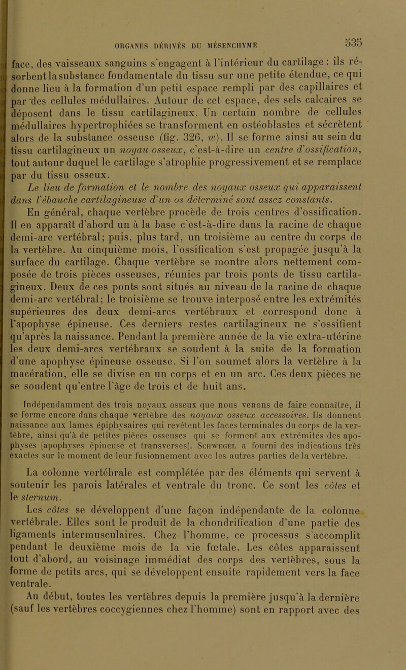 face, des vaisseaux sanguins s’cngagent ä l’interieur da cartilage : ils re- sorbentlasubstance fondamentale du tissn sur une pelite etendue, ce qui donne licu ä la formation d un pctit espace rempli par des capillaires et par'des cellulcs medullaires. Autour de cet espace, des sels calcaires se deposent dans le tissu cartilagineux. Un certain nombre de cellules medullaires hypertrophiees se transforment en osteoblastes et secretent alors de la substance osscuse (fig. 326, w). 11 se forme ainsi au sein du tissu cartilagineux un noxjau osseux, c’est-ä-dire un centre d'ossification, tout autour duquel le cartilage s’atrophie progressivement et se remplace par du tissu osseux. Le lieu de formation et le nombre des noyaux osseux qui apparaissent dans V ebaucbe cartilagineuse d'un os determine sont assez constants. En general, chaque vertebre procede de trois centres d’ossification. II en apparait d’abord un a la base c’est-ä-dire dans la racine de chaque demi-arc vertebral; puis, plus tard, un troisieme au centre du corps de la vertebre. Au cinquieme mois, l’ossification s’est propagee jusqu’ä la surface du cartilage. Chaque vertebre se montre alors nettement com- posee de trois pieces osseuscs, reunies par trois ponts de tissu cartila- gineux. Deux de ces ponts sont situes au niveau de la racine de chaque demi-arc vertebral; le troisieme se trouve interpose entre les extremites superieures des deux demi-arcs vertebraux et correspond donc ä l’apophyse epineuse. Ces derniers restes cartilagineux ne s’ossifient qu’apres la naissance. Pendant la premiere annee de la vie extra-uterine les deux demi-arcs vertebraux se soudent ä la suite de la formation d’une apophyse epineuse osseuse. Si l’on soumet alors la vertebre ä la maceration, eile se divise en un corps et en un arc. Ces deux pieces ne se soudent qu’entre l'äge de trois et de huit ans. Independamment des trois noyaux osseux que nous venons de faire connaitre, il se forme encore dans chaque vertebre des noyaux osseux aceessoires. Ils donnent naissance aux James epiphysaires qui revölent les faces terminales du corps de la ver- tebre, ainsi qu’ä de petites piöces osseuses qui se forment aux extremites des apo- physes (apophyses epineuse et transverses). Schwegel a fourni des indications trds exactes sur le moment de leur fusionnement avec les autres parties de la vertebre. La colonne vertebrale est completee par des elements qui servent ä soutenir les parois laterales et ventrale du frone. Ce sont les cötes et le slernum. Les edles se developpcnt d’une fagon independante de la colonne vertebrale. Elles sont le produit de la chondrification d’une parlie des ligaments intermusculaires. Chez Phomme, ce processus s'accomplit pendant le deuxieme mois de la vie foetale. Les cötes apparaissent tout d’abord, au voisinage immediat des corps des verlöbres, sous la forme de petils arcs, qui se developpent cnsuite rapidement vers la face ventrale. Au debut, toutes les vertebres depuis la premiere jusqu'ä la derniere (sauf les vertebres coccygiennes chez l’homme) sont en rapport avec des