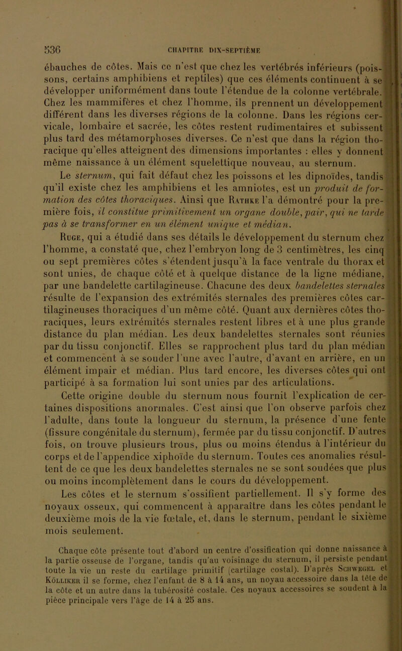 ebauches de cötes. Mais cc n’est que chez les vertebres införieurs (pois- sons, certains amphibiens et reptiles) que ces elöments continuent ä sef developper uniformement dans toutc l’etendue de la colonne vertebrale. 1 Chez les mammiferes et chez l’homme, ils prennent un developpement different dans les diverses rögions de la colonne. Dans les regions cer-1 vicale, lombaire et sacree, les cötes restent rudimentaires et subissent plus tard des metamorphoses diverses. Ce n’est que dans la rögion tho-1 racique qu'elles atteignent des dimensions importantes : elles y donnent möme naissance ä un element squelettique nouveau, au sternum. Le sternum, qui fait defaut chez les poissons et les dipnoides, tandis qu’il existe chez les amphibiens et les amniotes, esl un produit de för-\ mation des cötes thoraciques. Ainsi que Rathke la demontre pour la pre- ) miere fois, il constitue primitivement un organe double, pair, qui ne tarde j pas ä se transformier en un element unique et median. Rüge, qui a etudie dans ses details le developpement du sternum chez l’homme, a constate que, chez l’embryon long de 3 centimetres, les cinq ou sept premieres cötes s’etendent jusqu'ä la face ventrale du thoraxet sont unies, de chaque cöte et a quelque distance de la ligne mediane, par une bandelette cartilagineuse. Chacune des deux bandelettes sternales \ resulte de l’expansion des extremites sternales des premieres cötes car- tilagineuses thoraciques d’un meine cöte. Quant aux dernieres cötes tho- raciques, leurs extremites sternales restent libres et ä une plus grande distance du plan median. Les deux bandelettes sternales sont reunies par du tissu conjonctif. Elles se rapprochent plus tard du plan median et commencent ä se souder l’une avec l’autre, d’avant en arriere, en un element impair et median. Plus tard encore, les diverses cötes qui ont participe ä sa formation 1 ui sont unies par des arliculations. Cette origine double du sternum nous fournit l’explication de cer- taines dispositions anormales. C’est ainsi que Ton observe parfois chez 1’adulte, dans toute la longueur du sternum, la presence d'une fente (fissure congenitale du sternum), fermee par du tissu conjonctif. D autres fois, on trouve plusieurs trous, plus ou moins etendus ä l’interieur du corps et de l’appendice xiphoule du sternum. Toutes ces anomalies resul- tent de ce que les deux bandelettes sternales ne se sont soudees que plus ou moins incompletement dans le cours du developpement. Les cötes et le sternum s'ossifient partiellement. II s y forme des noyaux osseux, qui commencent ä apparaitre dans les cötes pendant le deuxieme mois de la vie fcetale, et, dans le sternum, pendant le sixieme mois seulement. Chaque cöte presente tout d’abord un centre d’ossification qui donne naissance & la partie osseuse de l’organe, tandis qu'au voisinage du sternum, il persisle pendant toute la vie un reste du cartilage primitif (cartilage coslal). D aprös Schwegel et Kölliker il se forme, cliez l’enfant de 8 ä 14 ans, un noyau accessoire dans la löte de la cöte et un autre dans la luberosite costale. Ces noyaux accessoires se soudenl ä la piece principale vers l’öge de 14 & 25 ans.