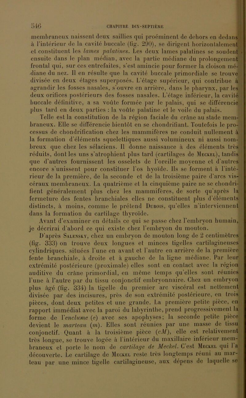 membrancux naissenl deux saillies qui proeminenl de dehors cn dedans ä l’interieur de la cavile buccale (fig. 290), se dirigent horizonlalemenl et constituent les lames palatines. Les dcux lames palatines se soudent < ensuite dans le plan median, avec la partie mediane du prolongement frontal qui, sur ces entrefaites, s’est amincic pour former la cloison me- diane du nez. II en resulte que la cavite buccale primordiale se trouve divisee en deux etages superposes. L’elage supörieur, qui contribue ä agrandir les fosses nasales, s’ouvre cn arriere, dans le pharvnx, par les deux orifices posterieurs des fosses nasales. L’etage inferieur, la cavile ltuccale definitive, a sa voüte formee par le palais, qui se differencie plus tard en deux parties : la voüte palatine et le voile du palais. Telle est la Constitution de la region faciale du eräne au stade mem- braneux. Elle se differencie bientot en se chondrifiant. Toutefois le pro- cessus de chondrification chez les mammiföres ne conduit nullement ä la formation d’elements squelettiques aussi volumineux ni aussi nom- breux que chez les selaciens. II donne naissance ä des elements tres reduils, dontles uns s’atrophient plus tard (carlilages de Mf.ckel), tandis que d’autres fournissent les osselets de l’oreillc moyenne et d’aulres encore s’unissent pour constituer Tos hyo'ide. Ils sc forment ä l'inle- rieur de la premiere, de la seconde et de la troisieme paire d’arcs vis- ceraux membraneux. La quatrieme et la cinquieme paire ne se chondri- tient generalement plus chez les mammiferes, de sorte qu apres la fermeture des fentes hranchiales eiles ne constituent plus d’elements distincts, a moins, comme le pretend Dubois, qu’elles n’interviennent dans la formation du cartilage thyro'ide. Avant d’examiner en details ce qui se passe chez l’emhryon humain, je decrirai d’abord ce qui existe chez l’emhryon du mouton. D’apres Salensky, chez un embryon de mouton long de 2 centimelres (fig. 333) on trouve deux longues et minces ligelles cartilagineuses cylindriques. situees Tune en avant et l’autre en arriere de la premiere fente branchiale, a droite et ä gauche de la ligne mediane. Par leur extremite posterieure (proximale) clles sont en conlact avec la region auditive du eräne primordial, en meine temps qu’elles sont reunies l’une ä l’autre par du lissu conjonctif embryonnaire. Chez un embryon plus äge (fig. 334) la tigelle du premier arc visceral est nettement divisee par des incisures, pres de son extremite posterieure, en trois pieces, dont deux petites et une grande. La premiere petite piece, eil rapport immediat avec la paroi du labyrinthe, prend progressivemenl la forme de Venclume (e) avec ses apophyses; la seconde petite piece devient le marteau (in). Elles sont reunies par une massc de lissu conjonctif. Quant ä la troisieme piece (cM), eile est relalivement tres longue, se trouve logee ä 1 interieur du maxillaire inferieur mem- braneux et porte le nom de cartilage de Meckel. C est Meckel qui 1 a decouverte. Le cartilage de Meckel reste tres longtemps reuni au mar- teau par une mince tigelle cartilagineuse, aux depens de laquelle se