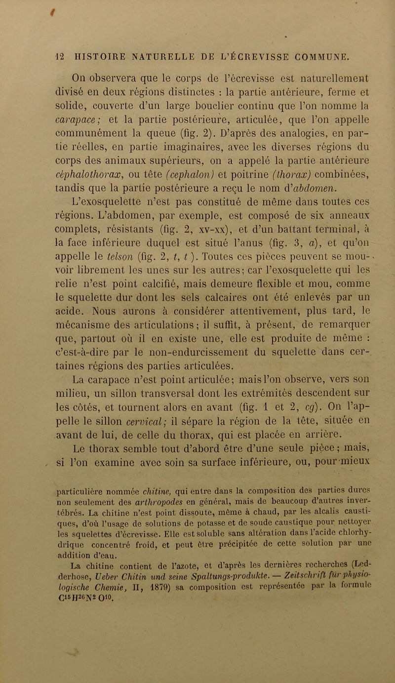 On observera que le corps tie l’ecrevisse est naturellemcnt divise en deux regions distinctes : la parlie anterieure, ferine et solide, couverte d’un large bouclier continu que l’on nomme la carapace; et la partie posterieure, articulee, que l’on appelle communement la queue (fig. 2). D’apres des analogies, en par- lie reelles, en partie imaginaires, avec les diverses regions du corps des animaux superieurs, on a appele la partie anterieure cephalothorax, ou tete (cephalon) et poitrine (thorax) combinees, tandis que la partie posterieure a regu le nom d’abdomen. L’exosquelette n’est pas constitue de meme dans toutes ces regions. L’abdomen, par exemple, est compose de six anneaux complets, resistants (fig. 2, xv-xx), et d’un battant terminal, a la face inferieure duquel est situe l’anus (fig. 3, a), et qu’on appelle le telson (fig. 2, t, t). Toutes ces pieces peuvent se mou- voir librement les lines sur les autres; car l’exosquelette qui les relie n’est point calcifie, mais demeure flexible et mou, comme le squelette dur dont les sels calcaires ont ete enleves par un acide. Nous aurons a considerer attentivement, plus tard, le mGcanisme des articulations; il sulfit, a present, de remarquer que, partout oil il en existe une, elle est produite de meme : c’est-a-dire par le non-endurcissement du squelette dans cer- taines regions des parties articulees. La carapace n’est point articulee; mais l’on observe, vers son milieu, un sillon transversal dont les extremites descendent sur les cotes, et tournent alors en avant (fig. 1 et 2, eg). On l’ap- pelle le sillon cervical; il separe la region de la tete, situee en avant de lui, de celle du thorax, qui est placee en arriere. Le thorax semble tout d’abord etre d’une seule pibce; mais, , si l’on examine avec soin sa surface inferieure, ou, pour-mieux particuliere nominee chitine, qui entre dans la composition des parties dures non seulement des artliropodes en general, mais de beaucoup d’autres inver- tebres. La chitine n’est point dissoute, m6me a chaud, par les alcalis causti- ques, d’oh l’usage de solutions de potasse et de soude caustique pour nettoyer les squelettes d’dcrevisse. Elle est soluble sans alteration dans 1 acide chlorhy- drique concentre froid, et peut Gtre precipitee de cette solution par une addition d’eau. La chitine contient de l’azote, et d’apr^s les dernieres rccherchcs (Led- derhose, Ucber Chitin und seine Spaltungs-produlcte. — Zeitschrift fiirphysio- logische Chemie, II, 1879) sa composition est reprdsentce par la formule C1BH26N2 Oi°.